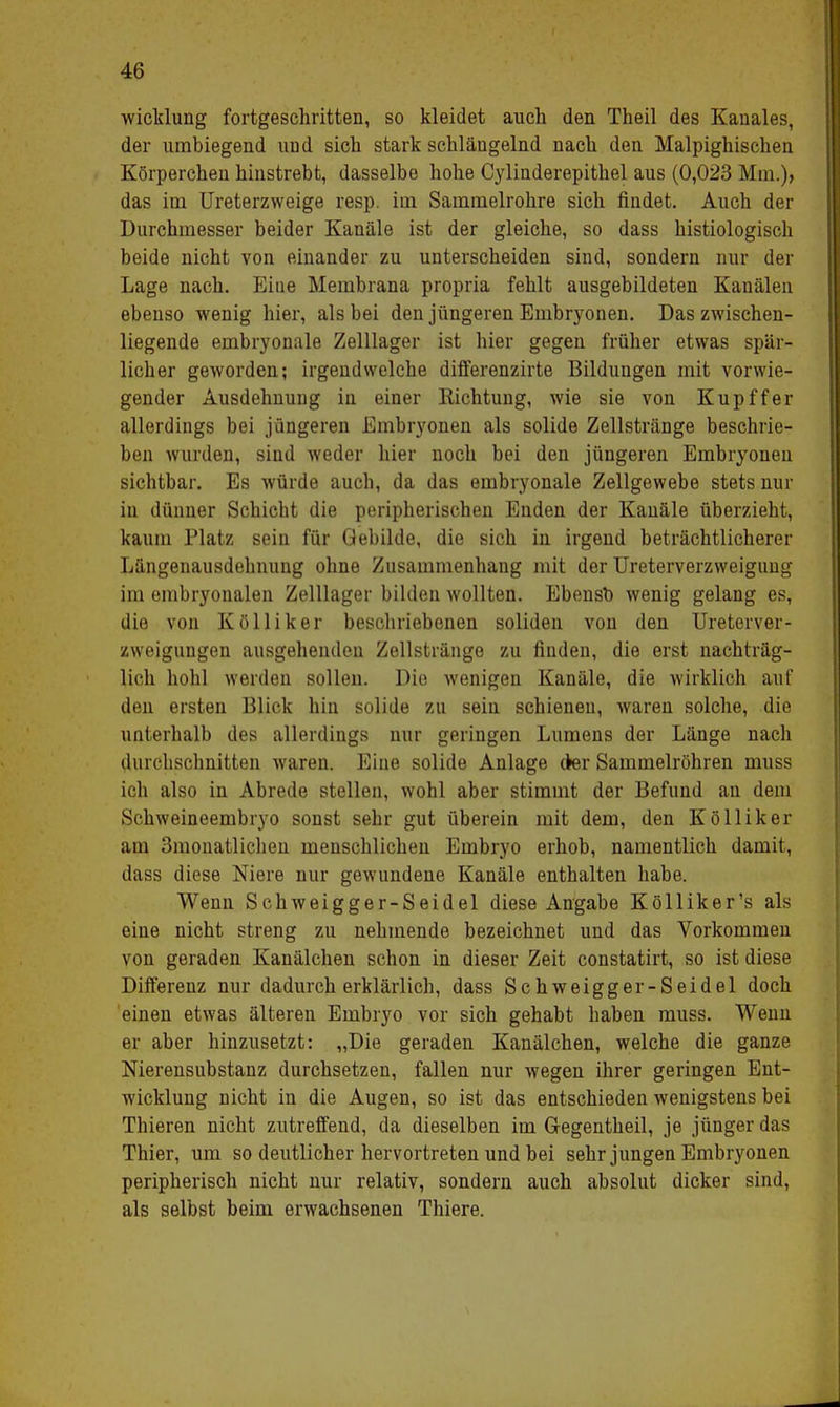 wicklung fortgeschritten, so kleidet auch den Theil des Kanales, der umbiegend und sich stark schlängelnd nach den Malpighischen Körperchen hinstrebt, dasselbe hohe Cylinderepithel aus (0,023 Mm.), das im Ureterzweige resp. im Sammelrohre sich findet. Auch der Durchmesser beider Kanäle ist der gleiche, so dass histiologisch beide nicht von einander zu unterscheiden sind, sondern nur der Lage nach. Eine Membrana propria fehlt ausgebildeten Kanälen ebenso wenig hier, als bei den jüngeren Embryonen. Das zwischen- liegende embryonale Zelllager ist hier gegen früher etwas spär- licher geworden; irgendwelche differenzirte Bildungen mit vorwie- gender Ausdehnung in einer Richtung, wie sie von Kupffer allerdings bei jüngeren Embryonen als solide Zellstränge beschrie- ben wurden, sind weder hier noch bei den jüngeren Embryoneu sichtbar. Es würde auch, da das embryonale Zellgewebe stets nur in dünner Schicht die peripherischen Enden der Kanäle überzieht, kaum Platz sein für Gebilde, die sich in irgend beträchtlicherer Längenausdehnung ohne Zusammenhang mit der Ureterverzweigung im embryonalen Zelllager bilden wollten. Ebenst) wenig gelang es, die von Kölliker beschriebenen soliden von den Ureterver- zweigungen ausgehenden Zellstränge zu finden, die erst nachträg- lich hohl werden sollen. Die. wenigen Kanäle, die wirklich auf den ersten Blick hin solide zu sein schienen, waren solche, die unterhalb des allerdings nur geringen Lumens der Länge nach durchschnitten waren. Eine solide Anlage der Sammelröhren muss ich also in Abrede stellen, wohl aber stimmt der Befund an dem Schweineembryo sonst sehr gut überein mit dem, den Kölliker am 3monatlichen menschlichen Embryo erhob, namentlich damit, dass diese Niere nur gewundene Kanäle enthalten habe. Wenn Schweigger-Seidel diese Angabe Kölliker's als eine nicht streng zu nehmende bezeichnet und das Vorkommen von geraden Kanälchen schon in dieser Zeit constatirt, so ist diese Differenz nur dadurch erklärlich, dass Schweigger-Seidel doch einen etwas älteren Embryo vor sich gehabt haben muss. Wenn er aber hinzusetzt: „Die geraden Kanälchen, welche die ganze Nierensubstanz durchsetzen, fallen nur wegen ihrer geringen Ent- wicklung nicht in die Augen, so ist das entschieden wenigstens bei Thieren nicht zutreffend, da dieselben im Gegentheil, je jünger das Thier, um so deutlicher hervortreten und bei sehr jungen Embryonen peripherisch nicht nur relativ, sondern auch absolut dicker sind, als selbst beim erwachsenen Thiere.