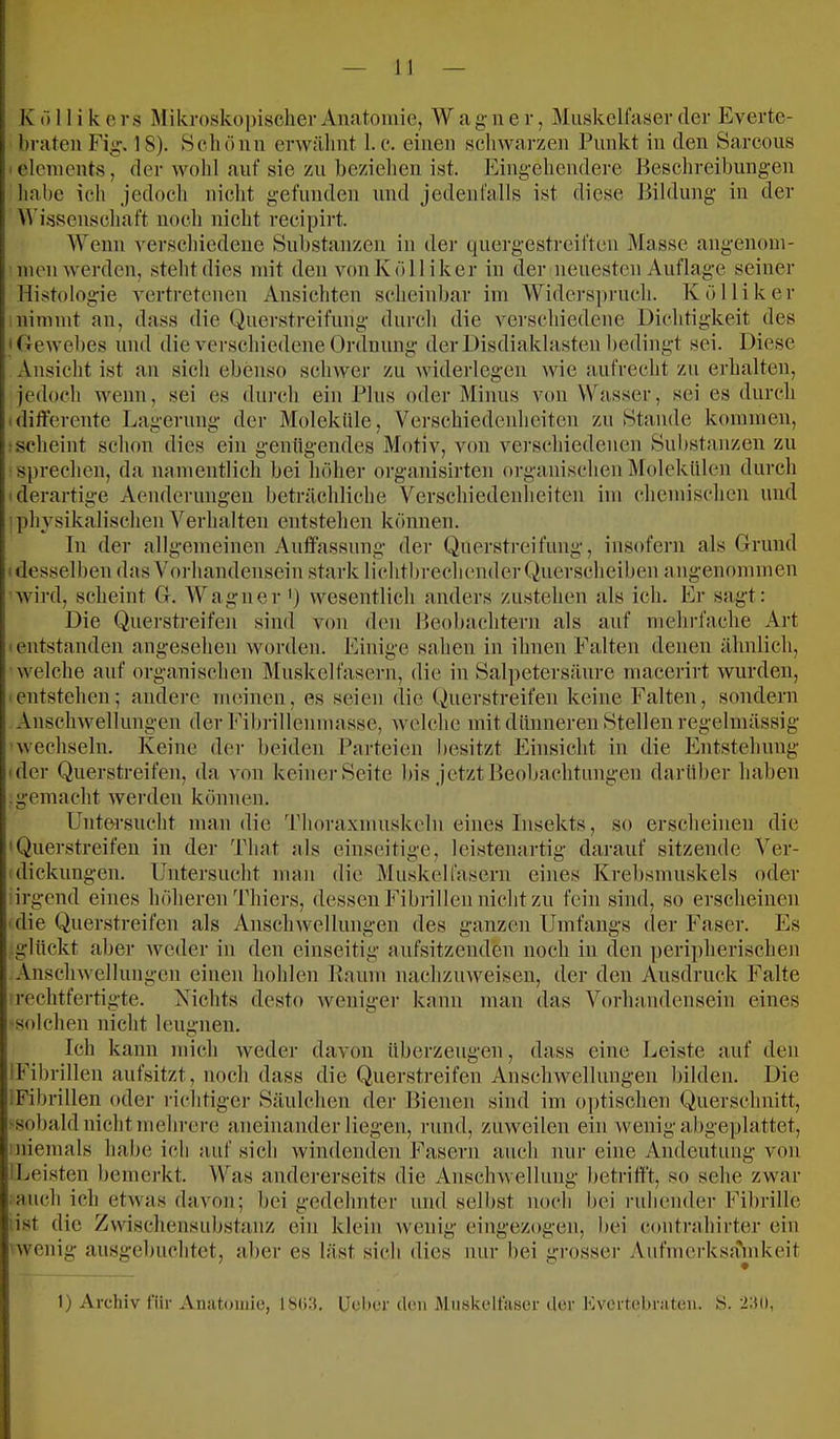 hrateuFig. 18). Scliöun erwähnt 1. e. einen scliwarzen Punkt in den Sarcous olcnients, der wohl auf sie zu beziehen ist. Eingehendere Beschreibungen habe ich jedoch nicht gefunden und jedenfalls ist diese Bildung in der M issenschaft noch nicht recipirt. Wenn verschiedene Substanzen in dei- quergestreiften Masse angenom- men werden, steht dies mit den von K öl liker in der neuesten Auflage seiner Histologie vertretenen Ansichten scheinbar im Widers])ruch. K öl liker nimmt an, dass die Querstreifung durch die verschiedene Dichtigkeit des 'Dewebes und die verschiedene Ordnung der Disdiaklasten bedingt sei. Diese Ansicht ist an sich ebenso schwer zu widerlegen wie aufrecht zu erhalten, jedoch wenn, sei es durch ein Plus oder Minus von Wasser, sei es durch idifterente Lagerung der Moleküle, Verschiedenheiten zu Stande kommen, scheint schon dies ein genügendes Motiv, von verschiedenen Substanzen zu sprechen, da namentlich bei höher organisirten organischen Molekülen durch derartige Aenderimgen beträchliche Verschiedenheiten im chemischen und physikalischen ^'^erhalten entstehen können. ln der allgemeinen Auffassung der Qnerstreifung, insofern als Grund desselben das Vorhandensein stark lichtbrechender Qnerscheiben angenommen Avird, scheint G. AVagner ') wesentlich anders zustehen als ich. Er sagt: Die Querstreifen sind von den Beobachtern als auf mehrfache Art entstanden angesehen worden. Einige sahen in ihnen Falten denen ähnlich, welche auf organischen Muskelfaseni, die in Salpetersäure macerirt wurden, entstehen; andere meinen, es seien die Qnerstreifen keine Falten, sondern Anschwellungen der Fibrillenmasse, Avelche mit dünneren Stellen regelmässig wechseln. Keine der beiden Parteien besitzt Einsicht in die Entstehung der Querstreifen, da A’on keiner Seite bis jetzt Beobachtungen darüber haben gemacht Averden können. Untersucht man die Tlioraxmuskeln eines Insekts, so erscheinen die 'Querstreifen in der Tliat als einseitige, leistenartig darauf sitzende A^er- Untersucht man die Muskelfasern eines Krebsmuskels oder irgend eines höheren Thiers, dessen Fibrillen nicht zu fein sind, so erscheinen die Querstreifen als AnschAvellungen des ganzen Umfangs der Faser. Es glückt aber Aveder in den einseitig aufsitzenden noch in den peri])herischeji AnschAvellungen einen hohlen Baum nachzuAveisen, der den Ausdruck Falte rechtfertigte. Nichts desto Aveniger kann man das A^orlnuidensein eines solchen nicht leugnen. Ich kann mich Aveder davon überzeugen, dass eine Leiste auf den IFibrillen aufsitzt, noch dass die Querstreifen AnschAvellungen bilden. Die IFibrillen oder richtiger Säulchen der Bienen sind im o])tischen Querschnitt, sobald nicht mehrere aneinander liegen, rnnd, zuAveilen ein Avenig abgeplattet, iniemals habe icli auf sich Avindenden Fasern auch nur eine Andeutung von Leisten bemerkt. AVas andererseits die AnschAvellung betrifft, so sehe zwar und selbst noch bei ruliender Fibrille eingezogen, bei contrahirter ein auch ich etAvas daA'on; bei gedehnter :ist die Zwiscliensubstanz Avenig ausgebuchtet, aber es ein klein äst sich dies Av eilig nur bei ii:rosser Aufmerksa'Ankcit 1) Archiv für Anatomie, Uel)er den lAliiskelfaser der Kvertebraten. S. 2:U),