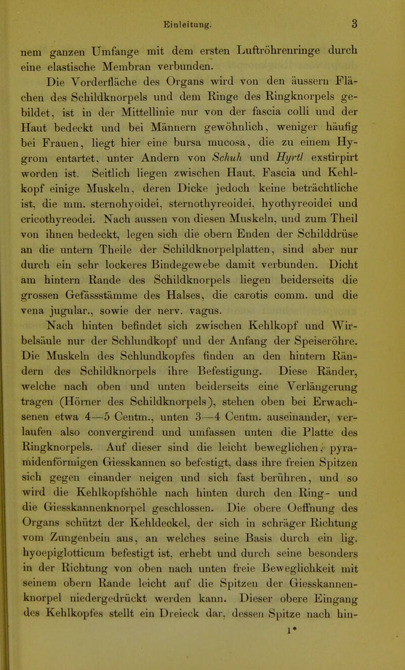 nem ganzen Umfange mit dem ersten Luftröhrenringe durch eine elastische Membran verbunden. Die Vorderflache des Organs wird von den äussern Flä- chen des Schildknorpels und dem Ringe des Ringknorpels ge- bildet, ist in der Mittellinie nur von der fascia colli und der Haut bedeckt und bei Männern gewöhnlich, weniger häufig bei Frauen, liegt hier eine bursa mucosa, die zu einem Hy- grom entartet, unter Andern von Schuh und Hyrtl exstirpirt worden ist. Seitlich liegen zwischen Haut, Fascia und Kehl- kopf einige Muskeln, deren Dicke jedoch keine beträchthche ist, die mm. sternohyoidei, sternothyreoidei, hyothyreoidei und cricothyreodei. Nach aussen von diesen Muskeln, und zum Theil von ihnen bedeckt, legen sich die obern Enden der Schilddrüse an die untern Theile der Schildkuorpelplatten, sind aber nur durch ein sehr lockeres Bindegewebe damit verbunden. Dicht am hintern Rande des Schildknorpels liegen beiderseits die grossen Gefässstämme des Halses, die carotis oomm. und die Vena jugular., sowie der nerv, vagus. Nach hinten befindet sich zwischen Kehlkopf und Wir- belsäule nur der Schlundkopf und der Anfang der Speiseröhre. Die Muskeln des Schlundkopfes finden an den hintern Rän- dern des Schildknorpels ihre Befestigung. Diese Ränder, welche nach oben und unten beiderseits eine Verlängerung tragen (Horner des Schildknorpels), stehen oben bei Erwach- senen etwa 4—5 Centm., unten 3—4 Centm. auseinander, ver- laufen also convergirend und umfassen unten die Platte des Ringknorpels. Auf dieser sind die leicht beweglichen,' pyra- midenförmigen Giesskannen so befestigt, dass ihre freien Spitzen sich gegen einander neigen und sich fast berühren, und so wird die Kehlkopfshöhle nach hinten durch den Ring- und die Giesskannenknorpel geschlossen. Die obere Oeffnung des Organs schützt der Kehldeckel, der sich in schräger Richtung vom Zungenbein aus, an welches seine Basis durch ein lig, hyoepiglotticum befestigt ist, erhebt und durch seine besonders in der Richtung von oben nach unten freie Beweglichkeit mit seinem obern Rande leicht auf die Spitzen der Giesskannen- knorpel niedergedrückt werden kann. Dieser obere Eingang des Kehlkopfes stellt ein Dreieck dar, dessen Spitze nach hin- 1*