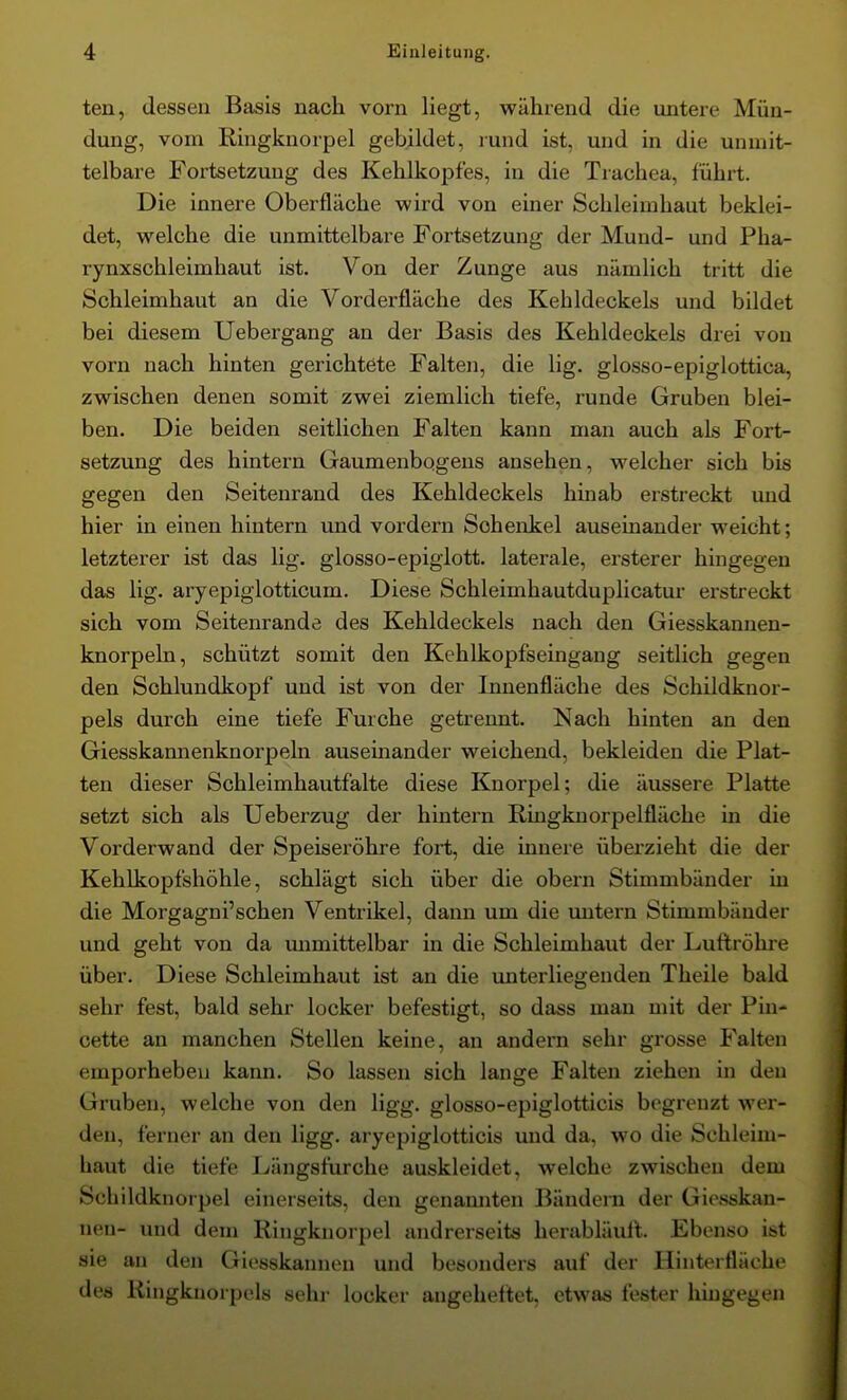 ten, dessen Basis nach vorn liegt, während die untere Mün- dung, vom Ringknorpel gebildet, lund ist, und in die unmit- telbare Fortsetzung des Kehlkopfes, in die Trachea, führt. Die innere Oberfläche wird von einer Schleimhaut beklei- det, welche die unmittelbare Fortsetzung der Mund- und Pha- rynxschleimhaut ist. Von der Zunge aus nämlich tritt die Schleimhaut an die Vorderfläche des Kehldeckels und bildet bei diesem Uebergang an der Basis des Kehldeckels drei von vorn nach hinten gerichtete Falten, die lig. glosso-epiglottica, zwischen denen somit zwei ziemlich tiefe, runde Gruben blei- ben. Die beiden seitlichen Falten kann man auch als Fort- setzung des hintern Gaumenbogens ansehen, welcher sich bis gegen den Seitenrand des Kehldeckels hinab erstreckt und hier in einen hintern und vordem Schenkel auseuiander weicht; letzterer ist das lig. glosso-epiglott. laterale, ersterer hingegen das lig. aryepiglotticum. Diese Schleimhautduplicatur erstreckt sich vom Seitenrande des Kehldeckels nach den Giesskanuen- knorpeln, schützt somit den Kehlkopfseingang seitlich gegen den Schlundkopf und ist von der Innenfläche des Schildknor- pels durch eine tiefe Furche getrennt. Nach hinten an den Giesskannenknorpeln auseinander weichend, bekleiden die Plat- ten dieser Schleimhautfalte diese Knorpel; die äussere Platte setzt sich als Ueberzug der hintern Ringknorpelfläche in die Vorderwand der Speiseröhre fort, die innere überzieht die der Kehlkopfshöhle, schlägt sich über die obern Stimmbänder in die Morgagni'schen Ventrikel, dann um die untern Stimmbänder und geht von da mimittelbar in die Schleimhaut der Luftrölire über. Diese Schleimhaut ist an die unterliegenden Theile bald sehr fest, bald sehr locker befestigt, so dass man mit der Pin- cette an manchen Stellen keine, an andern sehr grosse Falten emporheben kann. So lassen sich lange Falten ziehen in den Gruben, welche von den ligg. glosso-epiglotticis begrenzt wer- den, ferner an den ligg. aryepiglotticis und da, wo die Schleim- haut die tiefe Längsturche auskleidet, welche zwischen dem Schildknorpel einerseits, den genannten Bändern der Giesskan- nen- und dem Ringknorpel andrerseits herabläull. Ebenso ist sie au den Giesskannen und besonders auf der Hinterfläche des Ringknorpels sehi- locker angeheftet, etwas fester hingegen