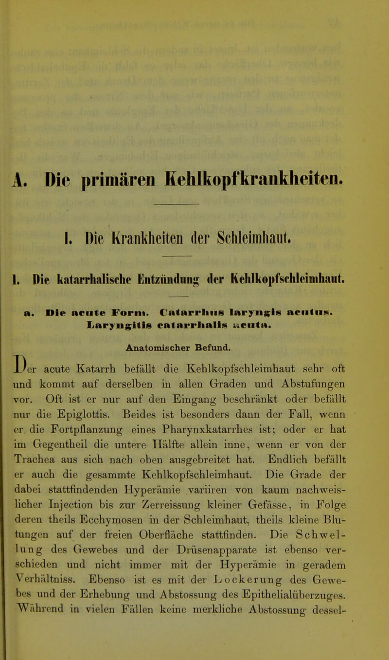 A. Die primären Hehlkopfliranliheiten. I. Die Krankheiten der Schleimhaut 1. Die katarrhalische Enüiiiidiiiig der Kehlkopfschleiiiihaiit. R. nie acute Form. Catarrliiis laryiisis acutus, liaryiig^itls calarrlialis ueuta. Anatomischer Befund. 13er acute Katarrh befällt die Kehlkopfschleimhaut sehr oft und kommt auf derselben in allen Graden und Abstufungen vor. Oft ist er nur auf den Eingang beschränkt oder befällt nur die Epiglottis. Beides ist besonders dann der Fall, wenn er die Fortpflanzung eines Pharynxkatarrhes ist; oder er hat im Gegentheil die untere Hälfte allein inne, wenn er von der Trachea aus sich nach oben ausgebreitet hat. Endlich befällt er auch die gesammte Kehlkopfschleimhaut. Die Grade der dabei stattfindenden Hyperämie variiren von kaum nachweis- licher Injection bis zur Zerreissung kleiner Gefässe, in Folge deren theils Ecchymosen in der Schleimhaut, theils kleine Blu- tungen auf der freien Oberfläche stattfinden. Die Schwel- lung des Gewebes und der Drüsenapparate ist ebenso ver- schieden und nicht immer mit der Hyperämie in geradem Verhältniss. Ebenso ist es mit der Lockerung des Gewe- bes und der Erhebung und Abstossung des Epithelialüberzuges. Während in vielen Fällen keine merkliche Abstossung dessel-