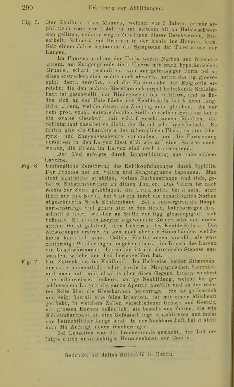 Fi^. 5. Der Kehlkopf eines Mannes, welcher vor 3 Jahren primär sy- philitisch war; vor 2 Jahren und seitdem oft an Halsbeschwer- den gelitten, sodann wegen Zunehmen dieser Beschwerden, Hei- serkeit, Schmerz und Brennen in der Kehle ins Hospital kam. Seit einem Jahre bestanden die Symptome der Tuberculose der Lungen. Im Pharynx und an der Uvula waren Narben und frischere Ulcera, am Zungengrnnde tiefe Ulcera mit stark hyperämischen Grunde, scharf geschnitten, von unregelmässiger Form bei a; diese erstrecken sich rechts nach abwärts, hatten das lig. glosso- epigl. dextr. zerstört, nnd die Vorderfläche der Epiglottis er- reicht; die den rechten Giesskannenknorpel bedeckende Schleim- haut ist geschwellt, das Bindegewelie fest infiltrirt, und es fin- den sich an der Unterfläche des Kehldeckels bei b zwei läng- liche Ulcera, welche denen am Znngengrunde gleichen. An der dem proc. vocal. entsprechenden Stelle derselben Seite ist bei c ein ovales Geschwür mit scharf geschnittenen Rändern, die Schleimhaut daselbst verdickt, der Grund sehr hyperämisch. Es fehlen also die Charaktere des tuberculösen Ulcus, es sind Pha- rynx- und Zungengeschwüre vorhanden, und die Fortsetzung derselben in den Larynx lässt sich wie auf einer Strasse nach- weisen, die Ulcera im Larynx sind noch unbedeutend. Der Tod erfolgte durch Lungenblutung aus tuberculöser Caverne. Fig. 6. Umfängliche Zerstörung des Kehlkopfeinganges durch Syphilis. Der Process hat am Velum und Zungengrunde begonnen. Man sieht zahlreiche strahlige, weisse Narbenstränge und tiefe, ge- heilte Substanzverluste an diesen Tlieilen. Das Velum ist nach rechts zur Seite geschlagen, die Uvula sollte bei a sein, statt ihrer nur eine Narbe, bei b ist ein durch die benachbarten Narben abgeschnürtes Stück Schleimhaut. Bei e convergiren die Haupt- narbenstränge und gehen hier in den tiefen, kahnförmigen Aus- schnitt d über, welcher an Stelle der ligg. glossoepiglott. sich befindet. Seine dem Larynx zugewendete Grenze wird von einem steifen Wulst gebildet, dem Ueberrest des Kehldeckels e. Die Zerstörungen erstrecken sich noch über die Stimmbänder, welche kaum kenntlich sind. Gallöse Verdickungen sowohl, als war- zenförmige Wucherungen umgeben überall im Innern des Larynx die Geschvvürsnarbe. Durch sie ist die chronische Stenose ent- standen, welche den Tod herbeigeführt hat. Fig. 7. Ein Zottenkrebs im Kehlkopf. Im Umkreise beider Stimmbän- derpaare, namentlich rechts, sowie im Morgagnischen Ventrikel, und nach auf- und abwärts über diese Gegend hinaus wuchert eine milchweisse, lockere, zottige Neubildung, welche bei ge- schlossenem Larynx die ganze Apertur ausfüllt und an der rech- ten Seite über die Giesskannen hervorragt. Sie ist gefässreich und zeigt überall eine feine Injection, ist mit einem Milchsaft getränkt, in welchem Zellen verschiedener Grösse und Gestalt, 1 * ■ mit grossen Kernen befindlich; sie besteht aus Zotten, die wie Schleimhautpapillen eine Gefässschlinge einschliessen und meist von beträchtlicher Länge sind. In der Nachbarschaft bei a sieht man die Anfänge neuer Wucherungen. Bei Lebzeiten war die Tracheotoniie gemacht, der Tod er- folgte durch unvorsichtiges Herausnehmen der Canüle. Gedruckt bei Julius Sittenfeld in Berlin. f