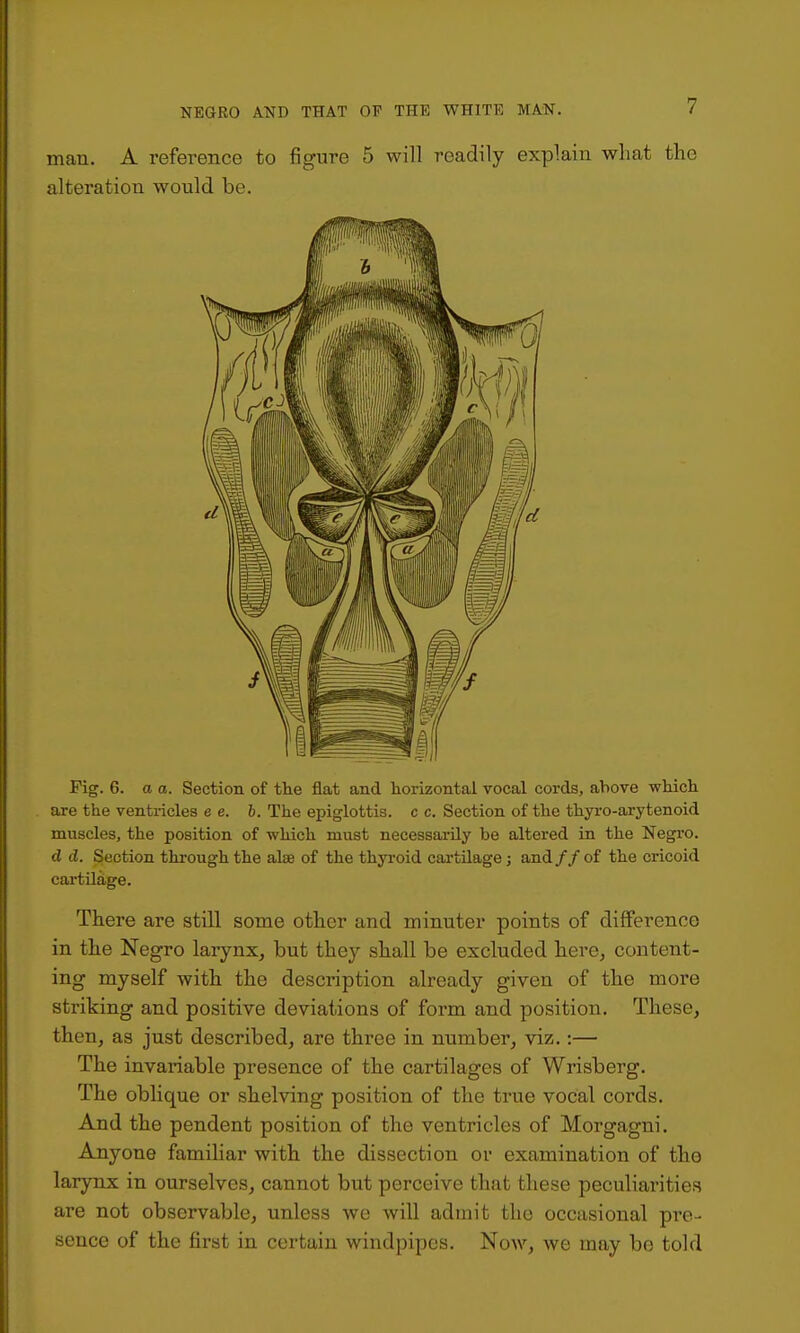 man. A reference to figure 5 will readily explain what the alteration would be. Pig. 6. a a. Section of the flat and horizontal vocal cords, above which are the ventricles e e. b. The epiglottis, c c. Section of the thyi-o-arytenoid muscles, the position of which must necessai-Uy be altered in the Negro. d d. Section through the ala of the thyi-oid cartilage; and// of the cricoid cartilage. There are still some other and minuter points of differenoo in the Negro larynx, but they shall be excluded here, content- ing myself with the description already given of the more striking and positive deviations of form and position. These, then, as just described, are three in number, viz,:— The invariable presence of the cartilages of Wrisberg. The oblique or shelving position of the true vocal cords. And the pendent position of the ventricles of Morgagni. Anyone famiUar with the dissection or examination of the larynx in ourselves, cannot but perceive that these peculiarities are not observable, unless wo will admit the occasional pre- sence of the first in certain windpipes. Now, we may bo told