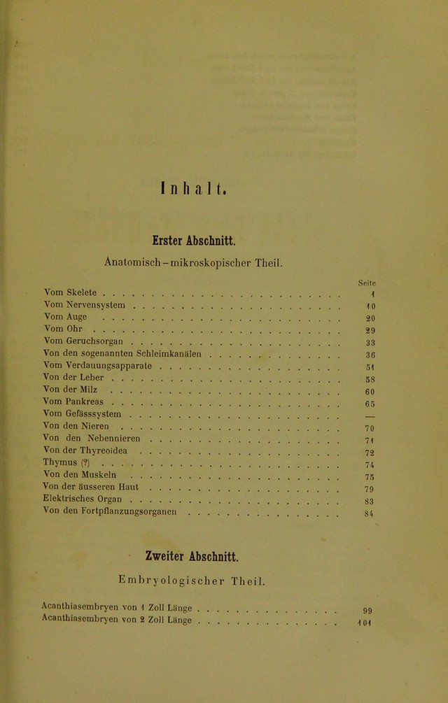 digitised image 3