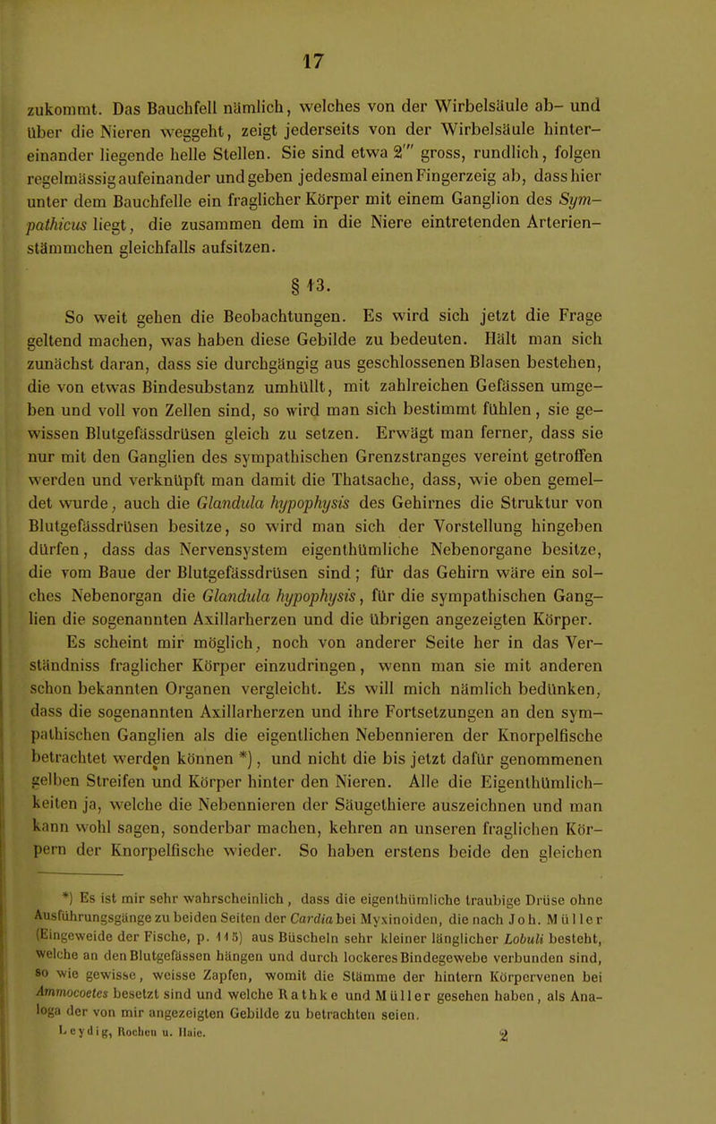 zukommt. Das Bauchfell nämlich, welches von der Wirbelsäule ab- und Uber die Nieren weggeht, zeigt jederseits von der Wirbelsäule hinter- einander liegende helle Stellen. Sie sind etwa 2' gross, rundlich, folgen regelmässig aufeinander und geben jedesmal einen Fingerzeig ab, dasshier unter dem Bauchfelle ein fraglicher Körper mit einem Ganglion des Sym- pathicus liegt, die zusammen dem in die Niere eintretenden Arterien- stämmchen gleichfalls aufsitzen. §13. So weit gehen die Beobachtungen. Es wird sich jetzt die Frage geltend machen, was haben diese Gebilde zu bedeuten. Hält man sich zunächst daran, dass sie durchgängig aus geschlossenen Blasen bestehen, die von etwas Bindesubstanz umhüllt, mit zahlreichen Gefässen umge- ben und voll von Zellen sind, so wird man sich bestimmt fahlen, sie ge- wissen Blutgefässdrilsen gleich zu setzen. Erwägt man ferner, dass sie nur mit den Ganglien des sympathischen Grenzstranges vereint getroffen werden und verknüpft man damit die Thatsache, dass, wie oben gemel- det wurde, auch die Glandula hypophysis des Gehirnes die Struktur von Blutgefässdrüsen besitze, so wird man sich der Vorstellung hingeben dürfen, dass das Nervensystem eigenthümliche Nebenorgane besitze, die vom Baue der Blutgefässdrüsen sind; für das Gehirn wäre ein sol- ches Nebenorgan die Glandula hypophysis, für die sympathischen Gang- lien die sogenannten Axillarherzen und die übrigen angezeigten Körper. Es scheint mir möglich, noch von anderer Seite her in das Ver- ständniss fraglicher Körper einzudringen, wenn man sie mit anderen schon bekannten Organen vergleicht. Es will mich nämlich bedünken, dass die sogenannten Axillarherzen und ihre Fortsetzungen an den sym- pathischen Ganglien als die eigentlichen Nebennieren der Knorpelfische betrachtet werden können *), und nicht die bis jetzt dafür genommenen gelben Streifen und Körper hinter den Nieren. Alle die Eigenthümlich- keiten ja, welche die Nebennieren der Säugelhiere auszeichnen und man kann wohl sagen, sonderbar machen, kehren an unseren fraglichen Kör- pern der Knorpelfische wieder. So haben erstens beide den gleichen *) Es ist mir sehr wahrscheinlich , dass die eigenthümliche Iraubige Drüse ohne Ausführungsgange zu beiden Seiten der Cardia bei Myxinoiden, die nach J o h. M ü 11 e r (Eingeweide der Fische, p. H5] aus Büscheln sehr kleiner länglicher Lobuli besteht, welche an den Blutgefässen hängen und durch lockeres Bindegewebe verbunden sind, so wie gewisse, weisse Zapfen, womit die Stämme der hintern Körpcrvenen bei Ammocoetes besetzt sind und welche Rathke und Müller gesehen haben, als Ana- loga der von mir angezeigten Gebilde zu betrachten seien. Lcydig, Rochen u. Ilaic. g