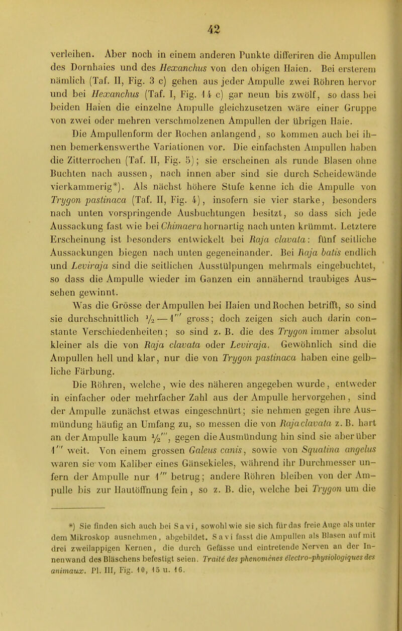 verleihen. Aber noch in einem anderen Punkte difl'eriren die Ampullen des Dornhaies und des Ilexanchus von den obigen Haien. Bei ersterem nämlich (Taf. II, Fig. 3 c) gehen aus jeder Ampulle zwei Röhren hervor und bei Ilexanchus (Taf. I, Fig. 14 c) gar neun bis zwölf, so dass bei beiden Haien die einzelne Ampulle gleichzusetzen wäre einer Gruppe von zwei oder mehren verschmolzenen Ampullen der übrigen Haie. Die Ampullenform der Rochen anlangend, so kommen auch bei ih- nen bemerkenswerte Variationen vor. Die einfachsten Ampullen haben die Zitterrochen (Taf. II, Fig. 5); sie erscheinen als runde Blasen olme Buchten nach aussen , nach innen aber sind sie durch Scheidewände vierkammerig*). Als nächst höhere Stufe kenne ich die Ampulle von Trygon pastinaca (Taf. II, Fig. 4), insofern sie vier starke, besonders nach unten vorspringende Ausbuchtungen besitzt, so dass sich jede Aussackung fast wie bei Chimaera hornartig nach unten krUmmt. Letztere Erscheinung ist besonders entwickelt bei Raja clavata: fünf seitliche Aussackungen biegen nach unten gegeneinander. Bei Raja batis endlich und Leviraja sind die seitlichen Ausstülpungen mehrmals eingebuchtet, so dass die Ampulle wieder im Ganzen ein annähernd traubiges Aus- sehen gewinnt. Was die Grösse der Ampullen bei Haien und Rochen betrifft, so sind sie durchschnittlich J/2 — V gross; doch zeigen sich auch darin con- stante Verschiedenheilen ; so sind z. B. die des Trygon immer absolut kleiner als die von Raja clavata oder Leviraja. Gewöhnlich sind die Ampullen hell und klar, nur die von Trygon pastinaca haben eine gelb- liche Färbung. Die Röhren, welche, wie des näheren angegeben wurde, entweder in einfacher oder mehrfacher Zahl aus der Ampulle hervorgehen , sind der Ampulle zunächst etwas eingeschnürt; sie nehmen gegen ihre Aus- mündung häußg an Umfang zu, so messen die von Rajaclavata z. B. hart an der Ampulle kaum y2', gegen die Ausmündung hin sind sie aber Uber 1' weit. Von einem grossen Galeus canis, sowie von Squalina angelus waren sie vom Kaliber eines Gänsekieles, während ihr Durchmesser un- fern der Ampulle nur 1' betrug; andere Röhren bleiben von der Am- pulle bis zur Hautöflhung fein , so z. B. die, welche bei Trygon um die *) Sie finden sich auch hei Sa vi, sowohl wie sie sich für dos freie Auge als unter dem Mikroskop ausnehmen, abgebildet. Sa vi fasst die Ampullen als Blasen auf mit drei zweilappigcn Kernen, die durch Gcfässc und eintretende Nerven an der In- nenwand des Bläschens befestigt seien. Tratte des phenomenes ölectro-physiologiquesdes unimaux. Tl. III, Fig. 10, 15 u. 16.