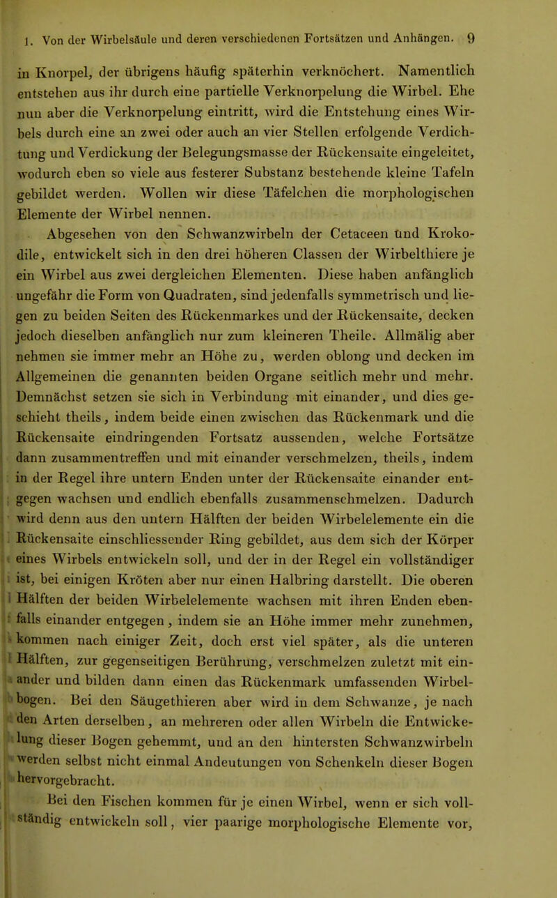 in Knorpel, der übrigens häufig späterhin verknöchert. Namentlich entstehen aus ihr durch eine partielle Verknorpelung die Wirbel. Ehe nun aber die Verknorpelung eintritt, wird die Entstehung eines Wir- bels durch eine an zwei oder auch an vier Stellen erfolgende Verdich- tung und Verdickung der Belegungsmasse der Rückensaite eingeleitet, wodurch eben so viele aus festerer Substanz bestehende kleine Tafeln gebildet werden. Wollen wir diese Täfelchen die morphologischen Elemente der Wirbel nennen. Abgesehen von den Schwanzwirbeln der Cetaceen ünd Kroko- dile, entwickelt sich in den drei höheren Classen der Wirbelthiere je ein Wirbel aus zwei dergleichen Elementen. Diese haben anfänglich ungefähr die Form von Quadraten, sind jedenfalls symmetrisch und lie- gen zu beiden Seiten des Rückenmarkes und der Rückensaite, decken jedoch dieselben anfänglich nur zum kleineren Theile. Allmälig aber nehmen sie immer mehr an Höhe zu, werden oblong und decken im Allgemeinen die genannten beiden Organe seitlich mehr und mehr. Demnächst setzen sie sich in Verbindung mit einander, und dies ge- schieht theils, indem beide einen zwischen das Rückenmark und die Rückensaite eindringenden Fortsatz aussenden, welche Fortsätze dann zusammentreffen und mit einander verschmelzen, theils, indem in der Regel ihre untern Enden unter der Rückensaite einander ent- i; gegen wachsen und endlich ebenfalls zusammenschmelzen. Dadurch j ■ wird denn aus den untern Hälften der beiden Wirbelelemente ein die I j ßückensaite einschliessender Ring gebildet, aus dem sich der Körper U eines Wirbels entwickeln soll, und der in der Regel ein vollständiger ji ist, bei einigen Kröten aber nur einen Halbring darstellt. Die oberen Hälften der beiden Wirbelelemente wachsen mit ihren Enden eben- falls einander entgegen, indem sie an Höhe immer mehr zunehmen, • kommen nach einiger Zeit, doch erst viel später, als die unteren ' Hälften, zur gegenseitigen Berührung, verschmelzen zuletzt mit ein- ander und bilden dann einen das Rückenmark umfassenden Wirbel- bogen. Bei den Säugethieren aber wird in dem Schwänze, je nach den Arten derselben, an mehreren oder allen Wirbeln die Entwicke- lung dieser Bogen gehemmt, und an den hintersten Schwanzwirbeln werden selbst nicht einmal Andeutungen von Schenkeln dieser Bogen hervorgebracht. Bei den Fischen kommen für je einen Wirbel, wenn er sich voll- ständig entwickeln soll, vier paarige morphologische Elemente vor.