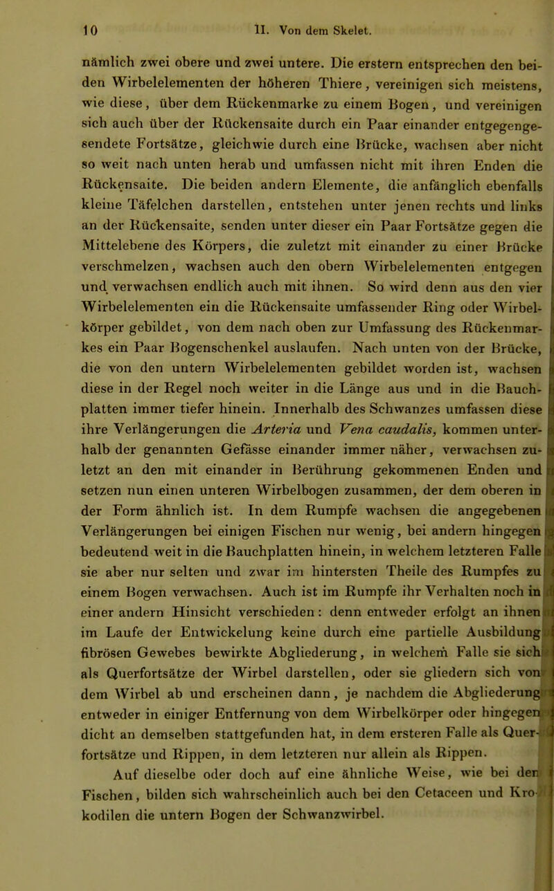 nämlich zwei obere und zwei untere. Die erstem entsprechen den bei- den Wirbelelementen der höheren Thiere, vereinigen sich meistens, wie diese, über dem Rückenmarke zu einem Bogen, und vereinigen sich auch über der Rückensaite durch ein Paar einander entgegenge- sendete Fortsätze, gleichwie durch eine Brücke, wachsen aber nicht so weit nach unten herab und umfassen nicht mit ihren Enden die Rückensaite. Die beiden andern Elemente, die anfänglich ebenfalls kleine Täfelchen darstellen, entstehen unter jenen rechts und links an der Rückensaite, senden unter dieser ein Paar Fortsätze gegen die Mittelebene des Körpers, die zuletzt mit einander zu einer Brücke verschmelzen, wachsen auch den obern Wirbelelementen entgegen und verwachsen endlich auch mit ihnen. So wird denn aus den vier Wirbelelementen ein die Rückensaite umfassender Ring oder Wirbel- körper gebildet, von dem nach oben zur Umfassung des Rückenmar- kes ein Paar Bogenschenkel auslaufen. Nach unten von der Brücke, die von den untern Wirbelelementen gebildet worden ist, wachsen diese in der Regel noch weiter in die Länge aus und in die Bauch- platten immer tiefer hinein. Innerhalb des Schwanzes umfassen diese ihre Verlängerungen die Arteria und Vena caudalis, kommen unter- halb der genannten Gefässe einander immer näher, verwachsen zu- letzt an den mit einander in Berührung gekommenen Enden und setzen nun einen unteren Wirbelbogen zusammen, der dem oberen in der Form ähnlich ist. In dem Rumpfe wachsen die angegebenen Verlängerungen bei einigen Fischen nur wenig, bei andern hingegen bedeutend weit in die Bauchplatten hinein, in welchem letzteren Falle sie aber nur selten und zwar im hintersten Theile des Rumpfes zu einem Bogen verwachsen. Auch ist im Rumpfe ihr Verhalten noch iil einer andern Hinsicht verschieden: denn entweder erfolgt an ihnen im Laufe der Entwickelung keine durch eine partielle Ausbildung fibrösen Gewebes bewirkte Abgliederung, in welchem Falle sie sie als Querfortsätze der Wirbel darstellen, oder sie gliedern sich vo dem Wirbel ab und erscheinen dann, je nachdem die Abgliederun entweder in einiger Entfernung von dem Wirbelkörper oder hingege dicht an demselben stattgefunden hat, in dem ersteren Falle als Quer fortsätze und Rippen, in dem letzteren nur allein als Rippen. Auf dieselbe oder doch auf eine ähnliche Weise, wie bei de Fischen, bilden sich wahrscheinlich auch bei den Cetaceen und Kr kodilen die untern Bogen der Schwanzwirbel.