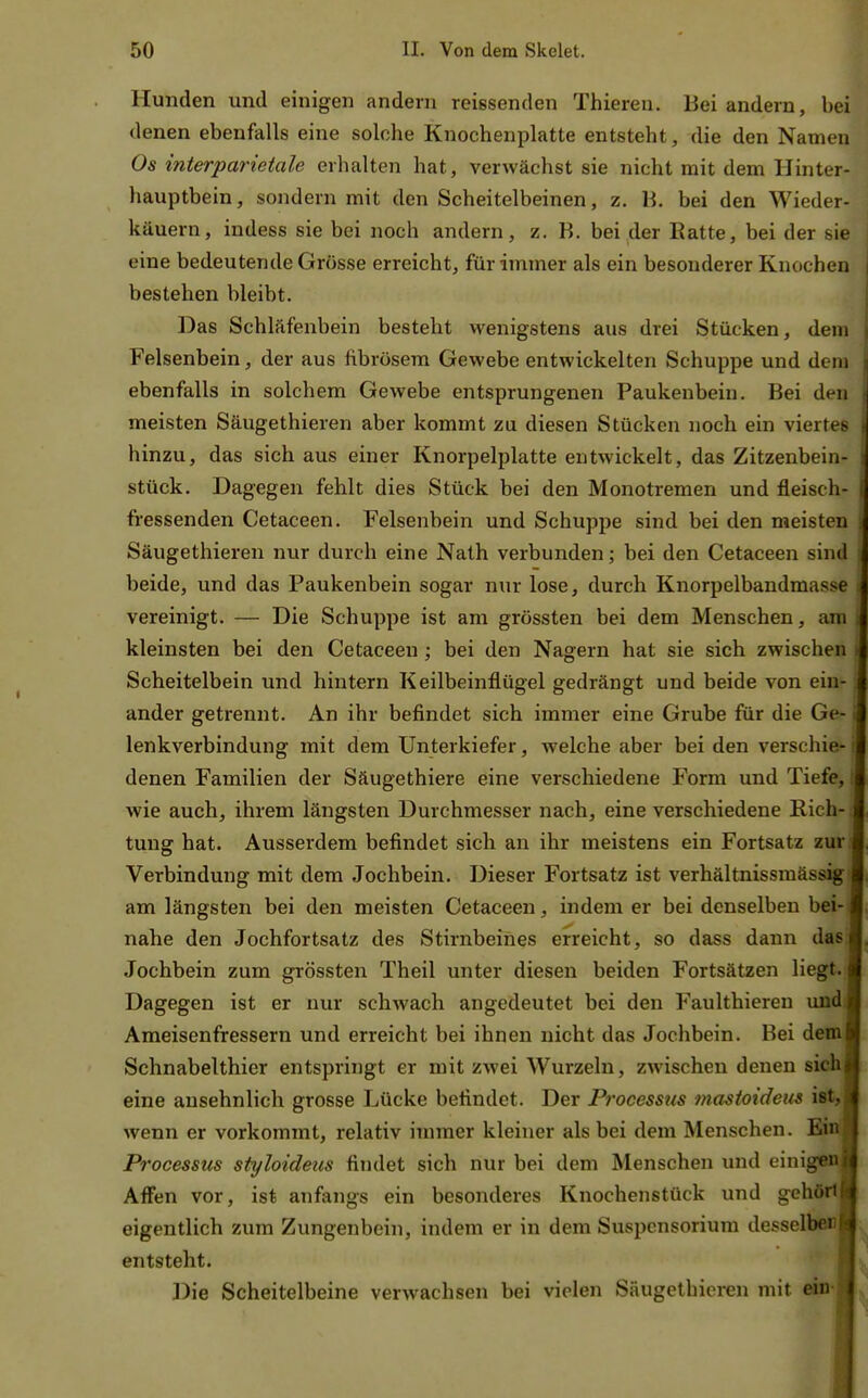 Hunden und einigen andern reissenden Thiereu. Bei andern, bei denen ebenfalls eine solche Knochenplatte entsteht, die den Namen Os ifiterparieiale erhalten hat, verwächst sie nicht mit dem Hinter- hauptbein, sondern mit den Scheitelbeinen, z. 11 bei den Wieder- käuern, indess sie bei noch andern, z. B. bei der Katte, bei der sie eine bedeutende Grösse erreicht, für immer als ein besonderer Knochen bestehen bleibt. Das Schläfenbein besteht wenigstens aus drei Stücken, dem Felsenbein, der aus fibrösem Gewebe entwickelten Schuppe und dem ebenfalls in solchem Gewebe entsprungenen Paukenbein. Bei den meisten Säugethieren aber kommt zu diesen Stücken noch ein viertes hinzu, das sich aus einer Knorpelplatte entwickelt, das Zitzenbein- stück. Dagegen fehlt dies Stück bei den Monotremen und fleisch- fressenden Cetaceen. Felsenbein und Schuppe sind bei den meisten Säugethieren nur durch eine Nath verbunden; bei den Cetaceen sind beide, und das Paukenbein sogar nur lose, durch Knorpelbandmasse vereinigt. — Die Schuppe ist am grössten bei dem Menschen, am kleinsten bei den Cetaceen ; bei den Nagern hat sie sich zwischen Scheitelbein und hintern Keilbeinflügel gedrängt und beide von ein- ander getrennt. An ihr befindet sich immer eine Grube für die Ge- lenkverbindung mit dem Unterkiefer, welche aber bei den verschie- denen Familien der Säugethiere eine verschiedene Form und Tiefe, wie auch, ihrem längsten Durchmesser nach, eine verschiedene Rich- tung hat. Ausserdem befindet sich an ihr meistens ein Fortsatz zur ; Verbindung mit dem Jochbein. Dieser Fortsatz ist verhältnissmässig am längsten bei den meisten Cetaceen, indem er bei denselben bei- nahe den Jochfortsatz des Stirnbeines erreicht, so dass dann das Jochbein zum grössten Theil unter diesen beiden Fortsätzen liegt. Dagegen ist er nur schwach angedeutet bei den Faulthieren und! Ameisenfressern und erreicht bei ihnen nicht das Jochbein. Bei deml Schnabelthier entspringt er mit zAvei Wurzeln, zwischen denen sich! eine ansehnlich grosse Lücke befindet. Der Processus mastoiden^ ist,! wenn er vorkommt, relativ immer kleiner als bei dem Menschen. Etnl Processus styloideus findet sich nur bei dem Menschen und einigW« Affen vor, ist anfangs ein besonderes Knochenstück und gehdrti eigentlich zum Zungenbein, indem er in dem Suspensorium desselben! entsteht. I Die Scheitelbeine verwachsen bei vielen Säugethieren mit efai!