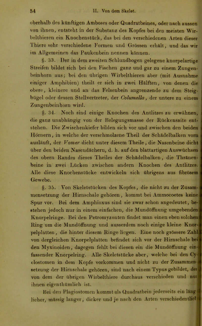 oberhalb des künftigen Amboses oder Quadratbeines, oder nach aussen von ihnen, entsteht in der Substanz des Kopfes bei den meisten Wir- belthieren ein Knochenstück, das bei den verschiedenen Arten dieser Thiere sehr verschiedene Formen und Grössen erhält, und das wir im Allgemeinen das Paukenbein nennen können. §. 33. Der in dem zweiten Schlundbogen gelegene knorpelartige Streifen bildet sich bei den Fischen ganz und gar zu einem Zungen- beinhorn aus; bei den übrigen Wirbelthieren aber (mit Ausnahme einiger Amphibien) theilt er sich in zwei Hälften, von denen die obere, kleinere und an das Felsenbein angrenzende zu dem Steig- bügel oder dessen Stellvertreter, der Columella, der untere zu einem Zungenbeinhorn wird. §. 34. Noch sind einige Knochen des Antlitzes zu erwähnen, die ganz unabhängig von der Belegungsmasse der Rückensaite ent- stehen. Die Zwischenkiefer bilden sich vor und zwischen den beiden Hörnern, in welche der verschmolzene Theil der Schädelbalken vom ausläuft, der Vomer dicht unter diesem Theile, die Nasenbeine dicht über den beiden Nasendächern, d. h. auf den blattartigen Auswüchsen des obern Kandes dieses Theiles der Schädelbalken, die Thränen- beine in zwei Lücken zwischen andern Knochen des Antlitzes. Alle diese Knochenstücke entwickeln sich übrigens aus fibrösem Gewebe. §. 35. Von Skeletstücken des Kopfes, die nicht zu der Zusam- mensetzung der Hirnschale gehören, kommt bei Ammocoetes keine Spur vor. Bei dem Amphioxus sind sie zwar schon angedeutet, be- stehen jedoch nur in einem einfachen, die Mundöffnung umgebenden' Knorpelringe. Bei den Petromyzonten findet man einen eben solchen! Ring um die Mundöffnung und ausserdem noch einige kleine Knor- pelplatten, die hinter diesem Ringe liegen. Eine noch grössere Zahl von dergleichen Knorpelplatten befindet sich vor der Hirnschale bei den Myxinoiden, dagegen fehlt bei diesen ein die Mundöffnung ein fassender Knorpelring. Alle Skeletstücke aber, welche bei den Cy clostomen in dem Kopfe vorkommen und nicht zu der Zusammen- setzung der Hirnschale gehören, sind nach einem Typus gebildet, dei von dem der übrigen Wirbelthiere durchaus verschieden und nm ihnen eigen thümlich ist. Bei den Plagiostomcn kommt als Quadratbein jederseits ein läng lieber, mässig langer, dicker und je nach den Arten verschiedentlicf