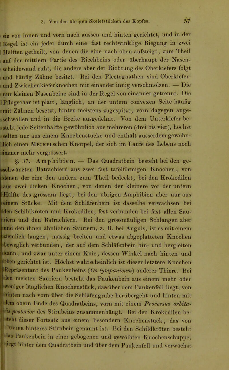 sie von innen und vorn nach aussen und hinten gerichtet, und in der 1 Regel ist ein jeder durch eine fast rechtwinklige Biegung in zwei i Hälften getheilt, von denen die eine nach oben aufsteigt, zum Theil i auf der mittlem Partie des Riechbeins oder überhaupt der Nasen- j Scheidewand ruht, die andere aber der Richtung des Oberkiefers folgt i und häufig Zähne besitzt. Kei den Plectognathen sind Oberkiefer- lund Zwischenkieferknochen mit einander innig verschmolzen. — Die i nur kleinen Nasenbeine sind in der Regel von einander getrennt. Die I Pflugschar ist platt, länglich, an der untern convexen Seite häufig rrait Zähnen besetzt, hinten meistens zugespitzt, vorn dagegen ange- > schwollen und in die Breite ausgedehnt. Von dem Unterkiefer be- isteht jede Seitenhälfte gewöhnlich aus mehreren (drei bis vier), höchst -selten nur aus einem Knochenstücke und enthält ausserdem gewöhn- lilich einen MECKELSchen Knorpel, der sich im Laufe des Lebens noch nimmer mehr vergrössert. §. 37. Amphibien. — Das Quadratbein besteht bei den ge- sischwänzten Batrachierii aus zwei fast tafelförmigen Knochen, von lidenen der eine den andern zum Theil bedeckt, bei den Krokodilen aus zwei dicken Knochen, von denen der kleinere vor der untern (Hälfte des grossem liegt, bei den übrigen Amphibien aber nur aus einem Stücke. Mit dem Schläfenbein ist dasselbe verwachsen bei Iden Schildkröten und Krokodilen, fest verbunden bei fast allen Sau- iriern und den Batrachiern. Bei den grossmäuligen Schlangen aber mnd den ihnen ähnlichen Sauriern, z. B. bei Anguis, ist es mit einem iziemlich langen, mässig breiten und etwas abgeplatteten Knochen «beweglich verbunden, der auf dem Schläfenbein hin- und hergleiten ukann, und zwar unter einem Knie, dessen Winkel nach hinten und oben gerichtet ist. Höchst wahrscheinlich ist dieser letztere Knochen {Repräsentant des Paukenbeins (Os tympanicum) anderer Thiere. Bei 'len meisten Sauriern besteht das Paukenbein aus einem mehr oder «veniger länglichen Knochenstück, darüber dem Paukenfell liegt, von ' linten nach vorn über die Schläfengrube herübergeht und hinten mit ' 'lern obern Ende des Quadratbeins, vorn mit einem Processus orhita- 'is posterior des Stirnbeins zusammenhängt. Bei den Krokodilen be- isteht dieser Fortsatz aus einem besondern Knochenstück, das von ' ^uviER hinteres Stirnbein genannt ist. Bei den Schildkröten besteht ■ las Paukenbein in einer gebogenen und gewölbten Knochenschuppe, f iegt hinter dem Quadratbein und über dem Paukenfell und verwächst r