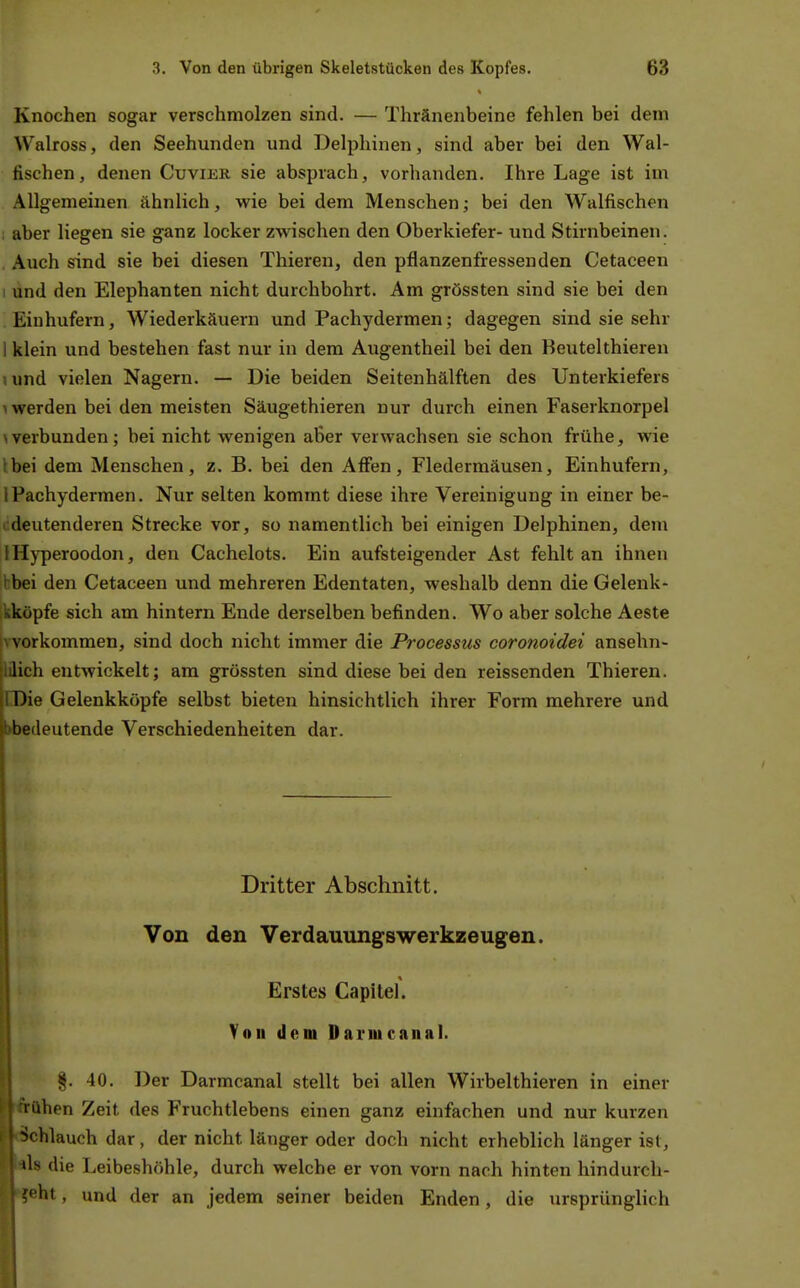 Knochen sogar verschmolzen sind. — Thränenbeine fehlen bei dem Walross, den Seehunden und Delphinen, sind aber bei den Wal- fischen, denen Cuvier sie absprach, vorhanden. Ihre Lage ist im Allgemeinen ähnlich, wie bei dem Menschen; bei den Walfischen ; aber liegen sie ganz locker zwischen den Oberkiefer- und Stirnbeinen. , Auch sind sie bei diesen Thiereu, den pflanzenfressenden Cetaceen I und den Elephanten nicht durchbohrt. Am grössten sind sie bei den Einhufern, Wiederkäuern und Pachydermen; dagegen sind sie sehr I klein und bestehen fast nur in dem Augentheil bei den Beutelthieren i und vielen Nagern. — Die beiden Seitenhälften des Unterkiefers 1 werden bei den meisten Säugethieren nur durch einen Faserknorpel >verbunden; bei nicht wenigen aber verwachsen sie schon frühe, wie t bei dem Menschen, z. B. bei den Aflen, Fledermäusen, Einhufern, I Pachydermen. Nur selten kommt diese ihre Vereinigung in einer be- iideutenderen Strecke vor, so namentlich bei einigen Delphinen, dem iHyperoodon, den Cachelots. Ein aufsteigender Ast fehlt an ihnen bbei den Cetaceen und mehreren Edentaten, weshalb denn die Gelenk- kköpfe sich am hintern Ende derselben befinden. Wo aber solche Aeste ivvorkommen, sind doch nicht immer die Processus coronoidei ansehn- lüich entwickelt; am grössten sind diese bei den reissenden Thieren. EDie Gelenkköpfe selbst bieten hinsichtlich ihrer Form mehrere und »bedeutende Verschiedenheiten dar. Dritter Abschnitt. Von den Verdauungswerkzeugen. Erstes Capitel. Yoii dem Daruicanal. §. 40. Der Darmcanal stellt bei allen Wirbelthieren in einer 'frühen Zeit des Fruchtlebens einen ganz einfachen und nur kurzen «Schlauch dar, der nicht länger oder doch nicht erheblich länger ist, als die Leibeshöhle, durch welche er von vorn nach hinten hindurch- Mfeht, und der an jedem seiner beiden Enden, die ursprünglich