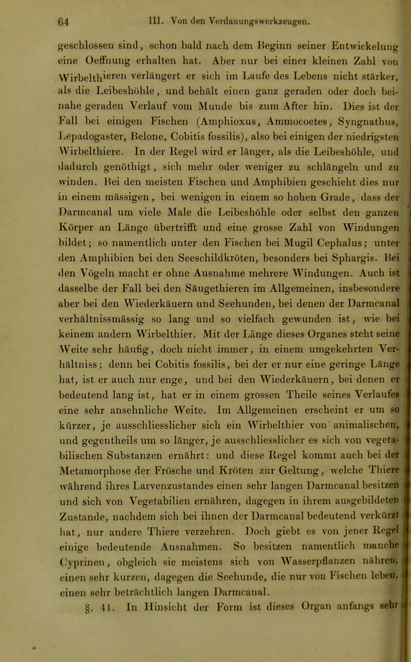 geschlossen sind, schon bald nach dem Beginn seiner Entwickeluiig eine OefFnung erhalten hat. Aber nur bei einer kleinen Zahl von Wirbelth^ß'^^ verlängert er sich im Laufe des Lebens nicht stärker, als die Leibeshöhle, und behält einen ganz geraden oder doch bei- nahe geraden Verlauf vom Munde bis zum After hin. Dies ist der Fall bei einigen Fischen (Amphioxus, Ammocoetes, Syngnathus, Lepadogaster, Belone, Cobitis fossilis), also bei einigen der niedrigsten Wirbelthiere. In der Regel wird er länger, als die Leibeshöhle, und dadurch genöthigt, sich mehr oder weniger zu schlängeln und zu winden. Hei den meisten Fischen und Amphibien geschieht dies nur in einem mässigen, bei wenigen in einem so hohen Grade, dass der Darmcanal um viele Male die Leibeshöhle oder selbst den ganzen Körper an Länge übertrifft und eine grosse Zahl von Windungen bildet; so namentlich unter den Fischen bei Mugil Cephalus; unter den Amphibien bei den Seeschildkröten, besonders bei Sphargis. Bei den Vögeln macht er ohne Ausnahme mehrere Windungen. Auch ist dasselbe der Fall bei den Säugethieren im Allgemeinen, insbesondere aber bei den Wiederkäuern und Seehunden, bei denen der Darmcanal verhältnissmässig so lang und so vielfach gewunden ist, wie bei keinem andern Wirbelthier. Mit der Länge dieses Organes steht seine Weite sehr häufig, doch nicht immer, in einem umgekehrten Ver- hältniss; denn bei Cobitis fossilis, bei der er nur eine geringe Länge hat, ist er auch nur enge, und bei den Wiederkäuern, bei denen er bedeutend lang ist, hat er in einem grossen Theile seines Verlaufes eine sehr ansehnliche Weite. Im Allgemeinen erscheint er um so kürzer, je ausschliesslicher sich ein Wirbelthier von animalischen, und gegentheils um so länger, je ausschliesslicher es sich von vegeta- bilischen Substanzen ernährt: und diese Regel kommt auch bei der Metamorphose der Frösche und Kröten zur Geltung, welche Tliiere während ihres Larvenzustandes einen sehr langen Darmcanal besitzen und sich von Vegetabilien ernähren, dagegen in ihrem ausgebildeten Zustande, nachdem sich bei ihnen der Darmcanal bedeutend verkürzt hat, nur andere Thiere verzehren. Doch giebt es von jener Regel einige bedeutende Ausnahmen. So besitzen namentlich manche Cyprinen , obgleich sie meistens sich von Wasserpflanzen nähren, einen sehr kurzen, dagegen die Seehunde, die nur von Fischen leben, einen sehr beträchtlich langen Darmcanal. §.41. In Hinsicht der Form ist dieses Organ anfangs sehr