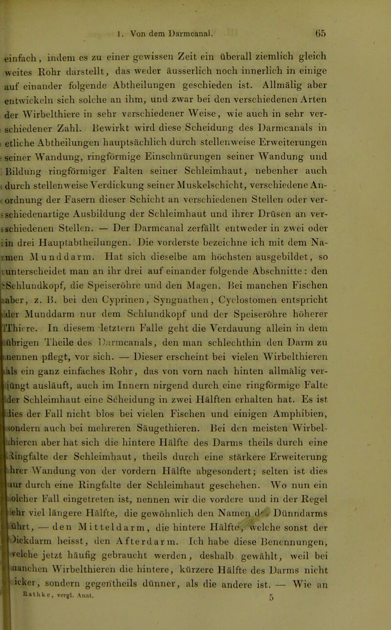 einfach, indem es zu einer gewissen Zeit ein überall ziemlich gleich weites Rohr darstellt, das weder äusserlich noch innerlich in einige auf einander folgende Abtheilungen geschieden ist. Allmälig aber entwickeln sich solche an ihm, und zwar bei den verschiedenen Arten der Wirbelthiere in sehr verschiedener Weise, wie auch in sehr ver- I schiedener Zahl. Bewirkt wird diese Scheidung des Darmcanals in I etliche Abtheilungen hauptsächlich durch stellenweise Erweiterungen • seiner Wandung, ringförmige Einschnürungen seiner Wandung und ; Bildung ringförmiger Falten seiner Schleimhaut, nebenher auch t durch stellenweise Verdickung seiner Muskelschicht, verschiedene An- t Ordnung der Fasern dieser Schicht an verschiedenen Stellen oder ver- • schiedenartige Ausbildung der Schleimhaut und ihrer Drüsen an ver- ischiedenen Stellen. — Der Darmcanal zerfällt entweder in zwei oder iin drei Häuplabtheilungen. Die vorderste bezeichne ich mit dem Na- rmen iluuddarm. Hat sich dieselbe am höchsten ausgebildet, so tunterscheidet mau an ihr drei auf einander folgende Abschnitte : den jSchlundkopf, die Speiseröhre und den Magen. Bei manchen Fischen aaber, z. 1^. bei den Cyprinen, Syngnathen, Cyclostomen entspricht dder Munddarm nur dem Schlundkopf und der Speiseröhre höherer IThif re. In diesem letztern Falle geht die Verdauung allein in dem iiübrigen Theile des Darmcanals, den man schlechthin den Darm zu iinennen pflegt, vor sich. — Dieser erscheint bei vielen Wirbelthiercn kkls ein ganz einfaches Rohr, das von vorn nach hinten allmälig ver- t^üngt ausläuft, auch im Innern nirgend durch eine ringförmige Falte Ider Schleimhaut eine Scheidung in zwei Hälften erhalten hat. Es ist Idies der Fall nicht blos bei vielen Fischen und einigen Amphibien, lojondern auch bei mehreren Säugethieren. Bei den meisten Wirbel- llihiercn aber hat sich die hintere Hälfte des Darms theils durch eine Btlingfalte der Schleimhaut, theils durch eine stärkere Erweiterung ■ihrer Wandung von der vordem Hälfte abgesondert; selten ist dies ■aur durch eine Ringfalte der Schleimhaut geschehen. Wo nun ein ■Molcher Fall eingetreten ist, nennen Avir die vordere und in der Regel Wehr viel längere Hälfte, die gewöhnlich den Namen,Dünndarms ■ftlhrt, — den Mitteldarm, die hintere Hälftey'^'elche sonst der ■Dickdarm heisst, den Afterdarm. Ich habe diese Benennungen, ■welche jetzt häufig gebraucht werden, deshalb gewählt, weil bei ■wanchen Wirbelthiercn die hintere, kürzere Hälfte des Darms nicht ■ficker, sondern gegen theils dünner, als die andere ist. — Wie an V Kathkc, vergl. Anat. r.