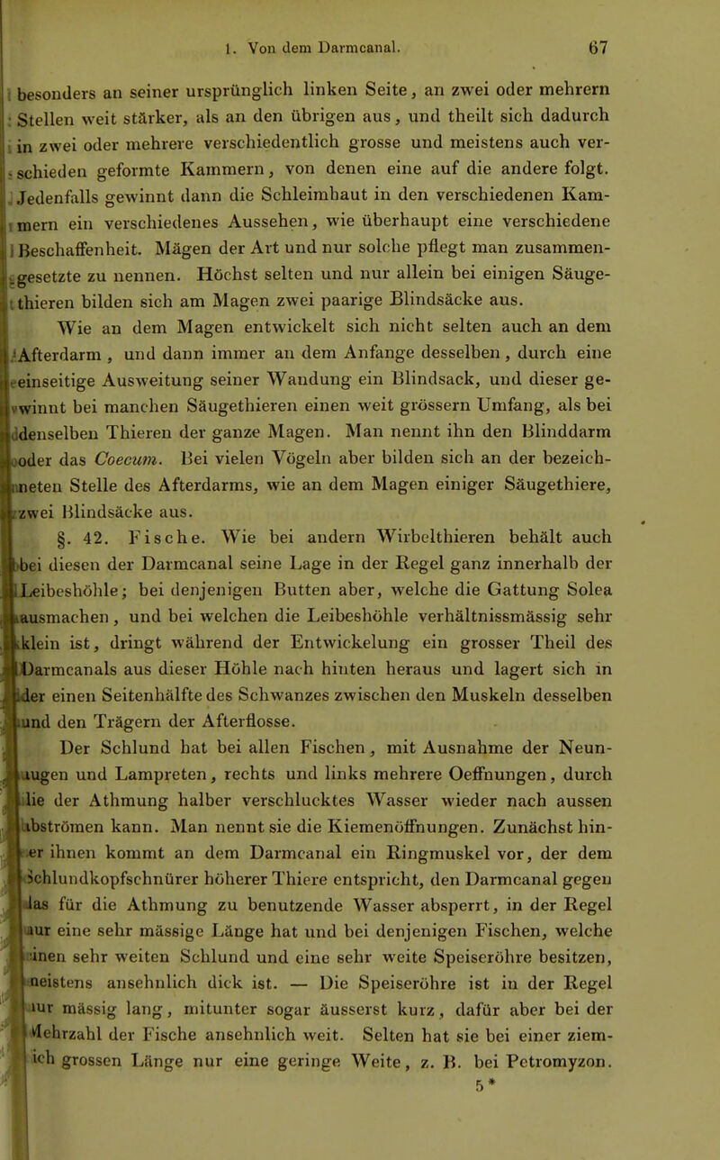 ! besonders an seiner ursprünglich linken Seite, an zwei oder mehrern : Stellen weit stärker, als an den übrigen aus, und theilt sich dadurch 1 in zwei oder mehrere verschiedentlich grosse und meistens auch ver- • schieden geformte Kammern, von denen eine auf die andere folgt. ^Jedenfalls gewinnt dann die Schleimhaut in den verschiedenen Kam- rmern ein verschiedenes Aussehen, wie überhaupt eine verschiedene j Beschaffenheit. Mägen der Art und nur solche pflegt man zusammen- igesetzte zu nennen. Höchst selten und nur allein bei einigen Säuge- ithieren bilden sich am Magen zwei paarige Blindsäcke aus. Wie an dem Magen entwickelt sich nicht selten auch an dem .^Afterdarm , und dann immer an dem Anfange desselben , durch eine eeinseitige Ausweitung seiner Wandung ein Elindsack, und dieser ge- vwinnt bei manchen Säugethieren einen weit grössern Umfang, als bei ^denselben Thieren der ganze Magen. Man nennt ihn den Blinddarm oder das Coecutn. Bei vielen Vögeln aber bilden sich an der bezeich- eten Stelle des Afterdarms, wie an dem Magen einiger Säugethiere, zwei Blindsäcke aus. §. 42. Fische. Wie bei andern Wirbelthieren behält auch ei diesen der Darmcanal seine Lage in der Kegel ganz innerhalb der ibeshöhle; bei denjenigen Butten aber, welche die Gattung Solea usmachen , und bei welchen die Leibeshöhle verhältnissmässig sehr lein ist, dringt während der Entwickelung ein grosser Theil des armcanals aus dieser Höhle nach hinten heraus und lagert sich in er einen Seitenhälfte des Schwanzes zwischen den Muskeln desselben nd den Trägern der Afterflosse. Der Schlund hat bei allen Fischen, mit Ausnahme der Neun- ugen und Lampreten, rechts und links mehrere Oeffnungen, durch 'ie der Athmung halber verschlucktes Wasser wieder nach aussen bströmen kann. Man nennt sie die Kiemenötfnungen. Zunächst hin- «r ihnen kommt an dem Darmcanal ein Ringmuskel vor, der dem ^chlundkopfschnürer höherer Thiere entspricht, den Darmcanal gegen as für die Athmung zu benutzende Wasser absperrt, in der Regel ur eine sehr massige Länge hat und bei denjenigen Fischen, welche nen sehr weiten Schlund und eine sehr weite Speiseröhre besitzen, Bistens ansehnlich dick ist. — Die Speiseröhre ist in der Regel ur massig lang, mitunter sogar äusserst kurz, dafür aber bei der ehrzahl der Fische ansehnlich weit. Selten hat sie bei einer ziem- ich grossen Länge nur eine geringe Weite, z. B. bei Pctromyzon. 5*