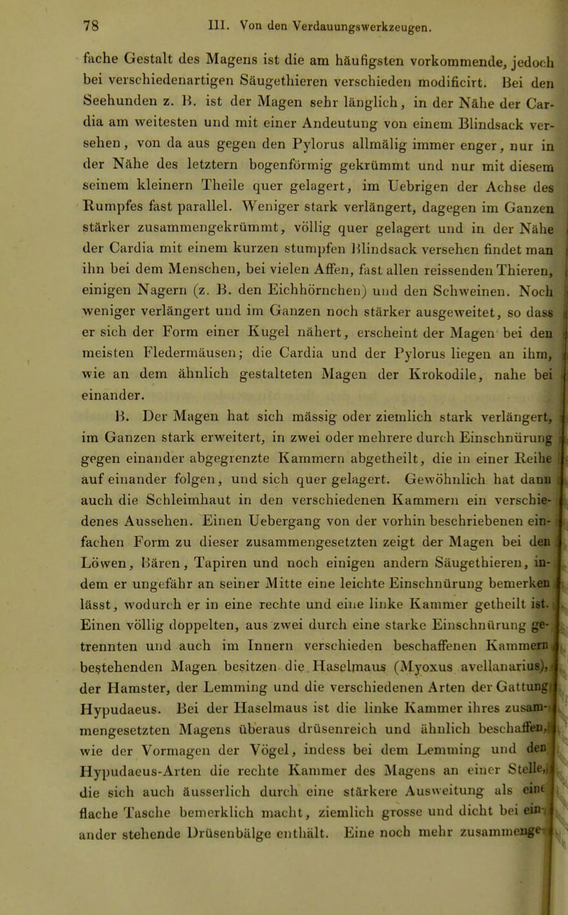 fache Gestalt des Magens ist die am häufigsten vorkommende, jedoch bei verschiedenartigen Säugethieren verschieden modificirt. Bei den Seehunden z. B. ist der Magen sehr längUch, in der Nähe der Car- dia am weitesten und mit einer Andeutung von einem Bhndsack ver- sehen, von da aus gegen den Pylorus allmälig immer enger, nur in der Nähe des letztern bogenförmig gekrümmt und nur mit diesem seinem kleinern Theile quer gelagert, im Uebrigen der Achse des Rumpfes fast parallel. Weniger stark verlängert, dagegen im Ganzen stärker zusammengekrümmt, völlig quer gelagert und in der Nähe der Cardia mit einem kurzen stumpfen l^lindsack versehen findet man ihn bei dem Menschen, bei vielen Affen, fast allen reissenden Thieren, einigen Nagern (z. B. den Eichhörnchen) und den Schweinen. Noch weniger verlängert und im Ganzen noch stärker ausgeweitet, so dass er sich der Form einer Kugel nähert, erscheint der Magen bei den meisten Fledermäusen; die Cardia und der Pylorus liegen an ihm, wie an dem ähnlich gestalteten Magen der Krokodile, nahe bei einander. B. Der Magen hat sich mässig oder ziemlich stark verlängert, im Ganzen stark erweitert, in zwei oder mehrere durch Einschnürung gegen einander abgegrenzte Kammern abgetheilt, die in einer Reihe aufeinander folgen, und sich quer gelagert. Gewöhnlich hat danu auch die Schleimhaut in den verschiedenen Kammern ein verschie- denes Aussehen. Einen Uebergang von der vorhin beschriebenen ein- c fachen Form zu dieser zusammengesetzten zeigt der Magen bei den Löwen, Bären, Tapiren und noch einigen andern Säugethieren, in- dem er ungefähr an seiner Mitte eine leichte Einschnürung bemerken; lässt, wodurch er in eine rechte und eine linke Kammer getheilt ist. Einen völlig doppelten, aus zwei durch eine starke Einschnürung ge- trennten und auch im Innern verschieden beschaffenen Kammern bestehenden Magen besitzen die. Haselmaus (Myoxus avellanarius). der Hamster, der Lemming und die verschiedenen Arten der Gattung Hypudaeus. Bei der Haselmaus ist die linke Kammer ihres zusam- mengesetzten Magens überaus drüsenreich und ähnlich beschaffen., j wie der Vormagen der Vögel, indess bei dem Lemming und den Hypudaeus-Arten die rechte Kammer des Magens an einer Stelle,/^ die sich auch äusserlich durch eine stärkere Ausweitung als eint flache Tasche bemerklich macht, ziemlich grosse und dicht bei ein-; | ander stehende Drüsenbälge enthält. Eine noch mehr zusammeuge |