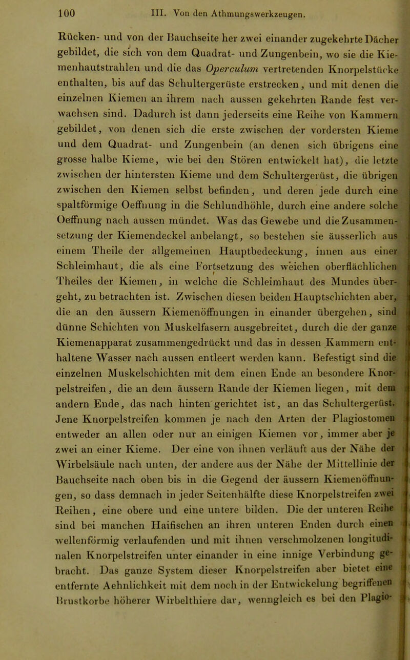 Rücken- und von der IJauchseite her zwei einander zugekehrte Dächer gebildet, die sich von dem Quadrat- und Zungenbein, wo sie die Kie- menhautstrahleu und die das Operculum vertretenden Knorpelstückc enthalten, bis auf das Schultergerüste erstrecken, und mit denen die einzelnen Kiemen au ihrem nach aussen gekehrten Rande fest ver- wachsen sind. Dadurch ist dann jederseits eine Reihe von Kammern gebildet, von denen sich die erste zwischen der vordersten Kieme und dem Quadrat- und Zungenbein (an denen sich übrigens eine grosse halbe Kieme, wie bei den Stören entwickelt hat), die letzte zwischen der hintersten Kieme und dem Schultergerüst, die übrigen zwischen den Kiemen selbst befinden, und deren jede durch eine spaltförmige Oeffuung in die Schlundhöhle, durch eine andere solche OefFnung nach aussen mündet. Was das Gewebe und die Zusammen- setzung der Kiemendeckel anbelangt, so bestehen sie äusserlich aus einem Theile der allgemeinen Hauptbedeckung, innen aus einer Schleimhaut, die als eine Fortsetzung des Aveiclien oberflächlichen Theiles der Kiemen, in welche die Schleimhaut des Mundes über- geht, zu betrachten ist. Zwischen diesen beiden Hauptschichten aber, die an den äussern Kiemenöffnungen in einander übergehen, sind dünne Schichten von Muskelfasern ausgebreitet, durch die der ganze Kiemenapparat zusammengedrückt und das in dessen Kammern ent- haltene Wasser nach aussen entleert werden kann. Befestigt sind die einzelnen Muskelschichten mit dem einen Ende an besondere Knor- pelstreifen , die an dem äussern Rande der Kiemen liegen, mit dem andern Ende, das nach hinten gerichtet ist, an das Schultergerüst. Jene Knorpelstreifen kommen je nach den Arten der Plagiostomen entweder an allen oder nur an einigen Kiemen vor, immer aber je zwei an einer Kieme. Der eine von ihnen verläuft aus der Nähe der Wirbelsäule nach unten, der andere aus der Nähe der Mittellinie der Hauchseite nach oben bis in die Gegend der äussern Kiemenöffnun- gen, so dass demnach in jeder Seitenhälfte diese Knorpelstreifen zwei Reihen, eine obere und eine untere bilden. Die der unteren Reihe sind bei manchen Haifischen an ihren unteren Enden durch einen wellenförmig verlaufenden und mit ihnen verschmolzenen longitudi- nalen Knorpelstreifen unter einander in eine innige Verbindung ge- bracht. Das ganze System dieser Knorpelstreifen aber bietet enie entfernte Aehnlichkeit mit dem noch in der Entwickelung begriffenen Brustkörbe höherer Wirbelthiere dar, wenngleich es bei den Plagio-