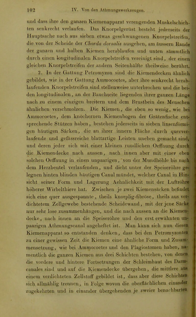 und dass ihre den ganzen Kiemenapparat verengenden Muskelschich- ten senkrecht verlaufen. Das Knorpelgcrüst besteht jederseits der Hauptsache nach aus sieben etwas geschwungenen Knorpelstreifcn, die von der Scheide der Chorda dorsalis ausgehen, am äussern Rande der ganzen und halben Kiemen herablaufen und unten sämmtlich durch einen longitudinalen Knorpelstreifcn vereinigt sind, der einen gleichen Knorpelstreifen der andern Seitenhälfte theihveise berührt. 2. In der Gattung Petromyzon sind die Kiemendecken ähnlich gebildet, wie in der Gattung Ammocoetes, aber ihre senkrecht hcrab- laufeuden Knorpelstreifen sind stellenweise unterbrochen und die bei- den longitudinalen, an der Bauchseite liegenden ihrer ganzen Länge nach zu einem einzigen breitern und dem Brustbein des Menschen ähnlichen verschmolzen. Die Kiemen, die eben so wenig, wie bei Ammocoetes, dem knöchernen Kiemenbogen der Grätenfische ent- sprechende Stützen haben, bestehen jederseits in sieben linsenförmi- gen häutigen Säcken, die an ihrer innern Fläche durch querver- laufende und gefässreiche blattartige Leisten uneben gemacht sind, und deren jeder sich mit einer kleinen rundlichen Oeffnung durch die Kiemendecke nach aussen, nach innen aber mit einer eben solchen Oeffnung in einen unpaarigen, von der Mundhöhle bis nach dem Herzbeutel verlaufenden, und dicht unter der Speiseröhre ^r- legnen hinten blinden häutigen Canal mündet, welcher Canal in Hin- sicht seiner Form und Lagerung Aehnlichkeit mit der Luftröhre höherer Wirbelthiere hat. Zwischen je zwei Kiemensäcken befindet sich eine quer ausgespannte, theils knorplig-fibröse, theils aus ver- dichtetem Zellgewebe bestehende Scheidewand, mit der jene Säcke nur sehr lose zusammenhängen, und die nach aussen an die Kiemen- decke, nach innen an die Speiseröhre und den erst erwähnten un- paarigen Athmungscanal angeheftet ist. Man kann sich nun diesen Kiemenapparat so entstanden denken, dass bei den Fetromyzonten zu einer gewissen Zeit die Kiemen eine ähnliche Form und Zusam- mensetzung, wie bei Ammocoetes und den Plagiostomen haben, na- mentlich die ganzen Kiemen aus drei Schichten bestehen, von denen die vordere und hintere Fortsetzungen der Schleimhaut des Darm- canales sind und auf die Kiemendecke übergehen, die mittlere aus einem verdichteten Zellstoff gebildet ist, dass aber diese Schichten sich allmählig trennen, in Folge wovon die oberflächlichen einander zugekehrten und in einander übergehenden je zweier benachbarten