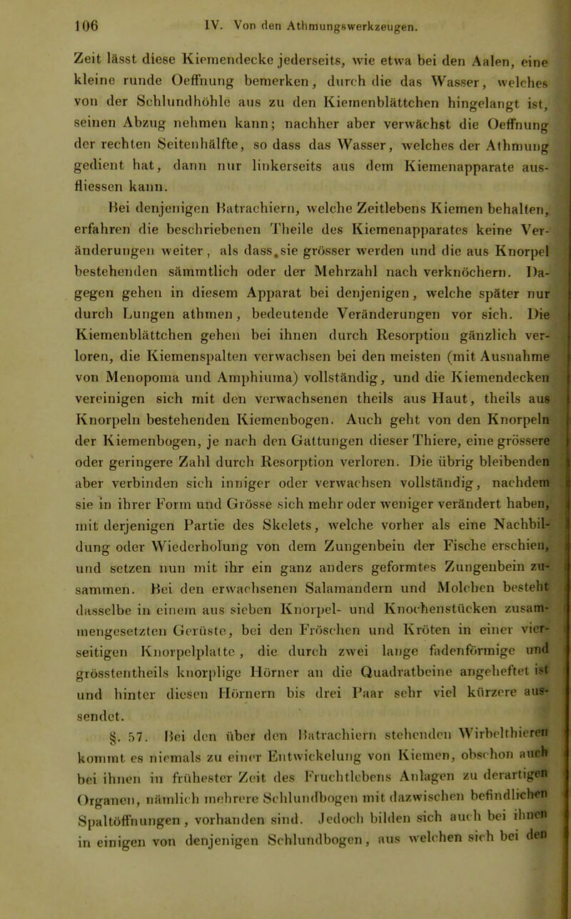 Zeit lässt diese Kiemendecke jederseits, wie etwa bei den Aalen, eine kleine runde OefFnung bemerken, durch die das Wasser, welches von der Schlundhöhle aus zu den Kiemenblättchen hingelangt ist, seinen Abzug nehmen kann; nachher aber verwächst die OefFnung der rechten Seitenhälfte, so dass das Wasser, Avelches der Alhmung gedient hat, dann nur linkerseits aus dem Kiemenapparate aus- fliessen kann. Bei denjenigen Batrachiern, welche Zeitlebens Kiemen behalten, erfahren die beschriebenen Theile des Kiemenapparates keine Ver- änderungen weiter, als dass,sie grösser werden und die aus Knorpel bestehenden sämmtlich oder der Mehrzahl nach verknöchern. Da- gegen gehen in diesem Apparat bei denjenigen, welche später nur durch Lungen athmen, bedeutende Veränderungen vor sich. Die Kiemenblättchen gehen bei ihnen durch Resorption gänzlich ver- loren, die Kiemenspalten verwachsen bei den meisten (mit Ausnahme von Menopoma und Amphiuma) vollständig, und die Kiemendecken vereinigen sich mit den verwachsenen theils aus Haut, theils aus Knorpeln bestehenden Kiemenbogen. Auch geht von den Knorpeln der Kiemenbogen, je nach den Gattungen dieser Thiere, eine grössere oder geringere Zahl durch Resorption verloren. Die übrig bleibenden aber verbinden sich inniger oder verwachsen vollständig, nachdem sie in ihrer Form und Grösse sich mehr oder weniger verändert haben, mit derjenigen Partie des Skelets, welche vorher als eine Nachbil- dung oder Wiederholung von dem Zungenbein der Fische erschien, und setzen nun mit ihr ein ganz anders geformtes Zungenbein zu- sammen. Hei den erwachsenen Salamandern und Molchen besteht dasselbe in einem aus sieben Knorpel- und Knochenstücken zusam- mengesetzten Gerüste, bei den Fröschen und Kröten in einer vier- seitigen Knorpclplatte, die durch zwei lange fadenförmige und grösstentheils knorplige Hörner an die Quadratbeine angeheftet ist und hinter diesen Hörnern bis drei Paar sehr viel kürzere aus- sendet. §. 57. Bei den über den I5atrachiern stehenden Wirbelthieren kommt es niemals zu eitier Entwickelung von Kiemen, obsrhon auch bei ihnen in frühester Zeit des Fruchtlcbcns Anlagen zu derartigen Organen, nämlich mehrere Schlundbogen mit dazwischen befindlichen Spaltöffnungen, vorhanden sind. Jedoch bilden sich auch bei ihnen in einigen von denjenigen Schlundbogen, aus welchen sich bei den