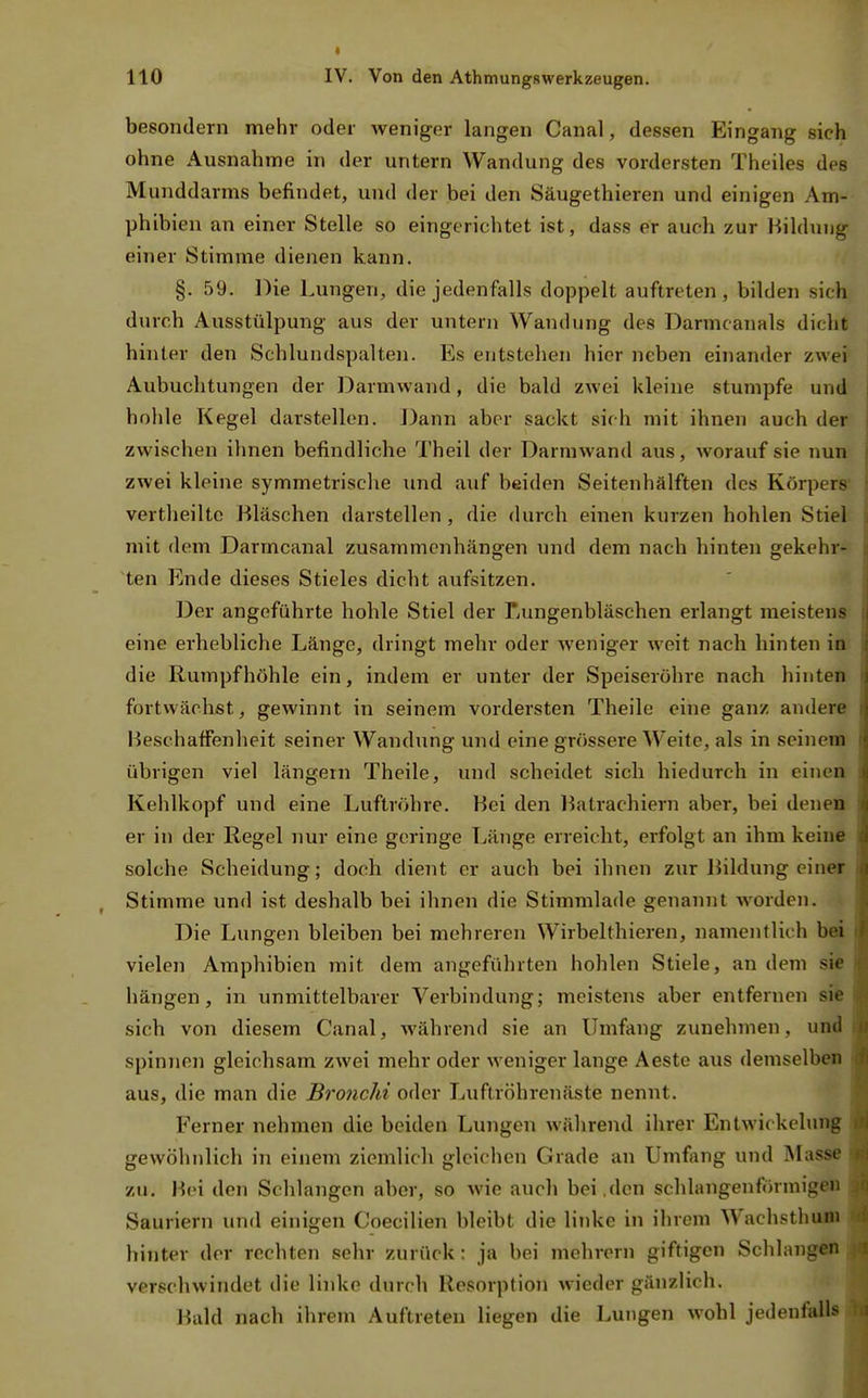 besondern mehr oder weniger langen Canal, dessen Eingang sich ohne Ausnahme in der untern Wandung des vordersten Theiles des Munddarms befindet, und der bei den Säugethieren und einigen Am- phibien an einer Stelle so eingerichtet ist, dass er auch zur Bildung einer Stimme dienen kann. §. 59. Die Lungen, die jedenfalls doppelt auftreten , bilden sich durch Ausstülpung aus der untern Wandung des Darmcanals dicht hinter den Schlundspalten. Es entstehen hier neben einander zwei Aubuchtungen der Darmwand, die bald zwei kleine stumpfe und hohle Kegel darstellen. Dann aber sackt sich mit ihnen auch der zwischen ihnen befindliche Theil der Darmwand aus, worauf sie nun zwei kleine symmetrische und auf beiden Seitenhälften des Körpers' vertlieiltc Bläschen darstellen, die durch einen kurzen hohlen Stiel mit dem Darmcanal zusammenhängen und dem nach hinten gekehr- ten Ende dieses Stieles dicht aufsitzen. Der angeführte hohle Stiel der Lungenbläschen erlangt meistens eine erhebliche Länge, dringt mehr oder weniger weit nach hinten in die Rumpf höhle ein, indem er unter der Speiseröhre nach hinten fortvvächst, gewinnt in seinein vordersten Theile eine ganz andere Beschaffenheit seiner Wandung und eine grössere Weite, als in seinem übrigen viel längern Theile, und scheidet sich hiedurch in einen Kehlkopf und eine Luftröhre. Bei den Batrachiern aber, bei denen er in der Regel nur eine geringe Länge erreicht, erfolgt an ihm keim solche Scheidung; doch dient er auch bei ihnen zur Bildung einer Stimme und ist deshalb bei ihnen die Stimmlade genannt worden. - Die Lungen bleiben bei mehreren Wirbelthieren, namentlich bffl vielen Amphibien mit dem angeführten hohlen Stiele, an dem sie hängen, in unmittelbarer Verbindung; meistens aber entfernen sife sich von diesem Canal, während sie an Umfang zunehmen, und spinnen gleichsam zwei mehr oder weniger lange Aeste aus demselben aus, die man die Bronchi oder Luftröhrenäste nennt. Ferner nehmen die beiden Lungen während ihrer Entwickelung gewöhnlich in einem ziemlich gleichen Grade an Umfang und Masse zu. Bei den Schlangen aber, so wie auch bei .den schlangenförmigeü Sauriern und einigen Coecilien bleibt die linke in ihrem Wachsthum hinter der rechten sehr zurück : ja bei mehrern giftigen Schlang«» verschwindet die linke durch Resorption wieder gänzlich. Bald nach ihrem Auftreten liegen die Lungen wohl jedenfall'^