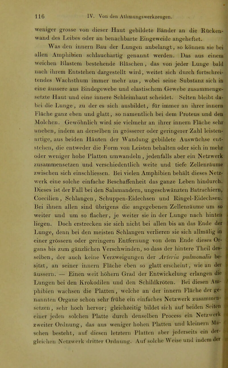 weniger grosse von dieser Haut gebildete Händer an die Rucken- wand des Leibes oder an benachbarte Eingeweide angeheftet. Was den innern Bau der Lungen anbelangt, so können sie bei allen Amphibien schlauchartig genannt werden. Das aus einen» weichen Blastem bestehende Bläschen, das von jeder Lunge bald nach ihrem Entstehen dargestellt wird, weitet sich durch fortschrei- tendes Wachsthum immer mehr aus, wobei seine Substanz sich in eine äussere aus Bindegewebe und elastischem Gewebe zusammenge- setzte Haut und eine innere Schleimhaut scheidet. Selten bleibt da- bei die Lunge, zu der es sich ausbildet, für immer an ihrer innern Fläche ganz eben und glatt, so namentlich bei dem Proteus und den Molchen. Gewöhnlich wird sie vielmehr an ihrer innern Fläche sehr uneben, indem an derselben in grösserer oder geringerer Zahl leisten- artige, aus beiden Häuten der Wandung gebildete Auswüchse ent- stehen, die entweder die Form von Leisten behalten oder sich in mehr oder weniger hohe Platten umwandeln, jedenfalls aber ein Netzwerk zusammensetzen und verschiedentlich weite und tiefe Zellenräume zwischen sich einschliessen. Bei vielen Amphibien behält dieses Netz- werk eine solche einfache Beschaffenheit das ganze Leben hindurch. Dieses ist der Fall bei den Salamandern, ungeschwänzten Batrachiern, Coecilien, Schlangen, Schuppen-Eidechsen und Ringel-Eidechsen Bei ihnen allen sind übrigens die angegebenen Zellenräume um so weiter und um so flacher, je weiter sie in der Lunge nach hinten liegen. Doch erstrecken sie sich nicht bei allen bis an das Ende der Lunge, denn bei den meisten Schlangen verlieren sie sich allmälig in einer grössern oder geringem Entfernung von dem Ende dieses Or- gans bis zum gänzlichen Verschwinden, so dass der hintere Theil des- selben, der auch keine Verzweigungen der Arteria pubnonah's be- sitzt, an seiner innern Fläche eben so glatt erscheint, wie an dör äussern. — Einen weit höhern Grad der Entwickelung erlangen die Lungen bei den Krokodilen und den Schildkröten. Bei diesen Am- phibien wachsen die Platten, welche an der innern Fläche der ge- nannten Organe schon sehr frühe ein einfaches Netzwerk zusaninicn- sefzen, sehr hoch hervor; gleichzeitig bildet sich auf beiden Seiten einer jeden solchen Platte durch denselben Process ein Netzwel% zweiter Ordnung, das aus weniger hohen Platten und kleinern Ma- schen besteht, auf diesen letztem Platten aber jederseits ein de*- gleidu-n N<>tzwerk dritter Ordnung. Auf solche Weise und indem der