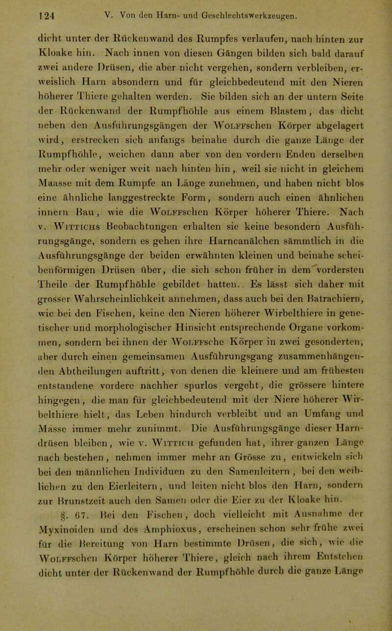 dicht unter der Rückenwand des Rumpfes verlaufen, nach hinten zur Kloake hin. Nach innen von diesen Gängen bilden sich bald darauf zwei andere Drüsen, die aber nicht vergehen, sondern verbleiben, er- weislich Harn absondern und für gleichbedeutend mit den Nieren höherer Thiere gehalten werden. Sie bilden sich an der untern Seite der Rückenwand der Rumpfhöhle aus einem Blastem, das dicht neben den Ausfulirungsgängen der WoLFFschen Körper abgelagert wird, erstrecken sieh anfangs beinahe durch die ganze Länge der Rumpf höhle, weichen dann aber von den vordem Enden derselben mehr oder weniger weit nach hinten hin , weil sie nicht in gleichem Maasse mit dem Rumpfe an Länge zunehmen, und haben nicht blos eine ähnliche langgestreckte Form, sondern auch einen ähnlichen innern Bau, wie die WoLFFSchen Körper höherer Thiere. Nach v. Wittichs Beobachtungen erhalten sie keine besondern Ausfüh- rungsgänge, sondern es gehen ihre Harncanälchen sämmtlich in die Ausführungsgänge der beiden erwähnten kleinen und beinahe schei- benförmigen Drüsen über, die sich schon früher in dem ^vordersten Theile der Rumpf höhle gebildet hatten. Es lässt sich daher mit grosser Wahrscheinlichkeit annehmen, dass auch bei den Batrachiern, wie bei den Fischen, keine den Nieren höherer Wirbelthiere in gene- tischer und morphologischer Hinsicht entsprechende Organe vorkom- men, sondern bei ihnen der WoLFFsche Körper in zwei gesonderten, aber durch einen gemeinsamen Ausführungsgang zusammenhängen- den Abtheilungen auftritt, von denen die kleinere und am frühesten entstandene vordere nachher spurlos vergeht, die grössere hintere hingegen, die man für gleichbedeutend mit der Niere höherer Wir- belthiere hielt, das Leben hindurch verbleibt und an Umfang und Masse immer mehr zunimmt. Die Ausführungsgänge dieser Harn- drüsen bleiben, wie v. Wittich gefunden hat, ihrer ganzen Länge nach bestehen, nehmen immer mehr an Grösse zu, entwickeln sich bei den männlichen Individuen zu den Samenleitern , bei den weib- lichen zu den Eierleitern, und leiten nicht blos den Harn, sondern zur Brunstzeit auch den Samen oder die Eier zu der Kloake hin. §. ()7. Bei den Fischen, doch vielleicht mit Ausnahme der Myxinoidcn und des Amphioxus, erscheinen schon sehr frühe zwei für die l^ercitung von Harn bestimmte Drüsen, die sich, wie die WoLFFSchen Körper höherer Thiere, gleich nach ihrem Entstehen dicht unter der Rüekenwand der Rumpfhöhle durch die ganze Länge