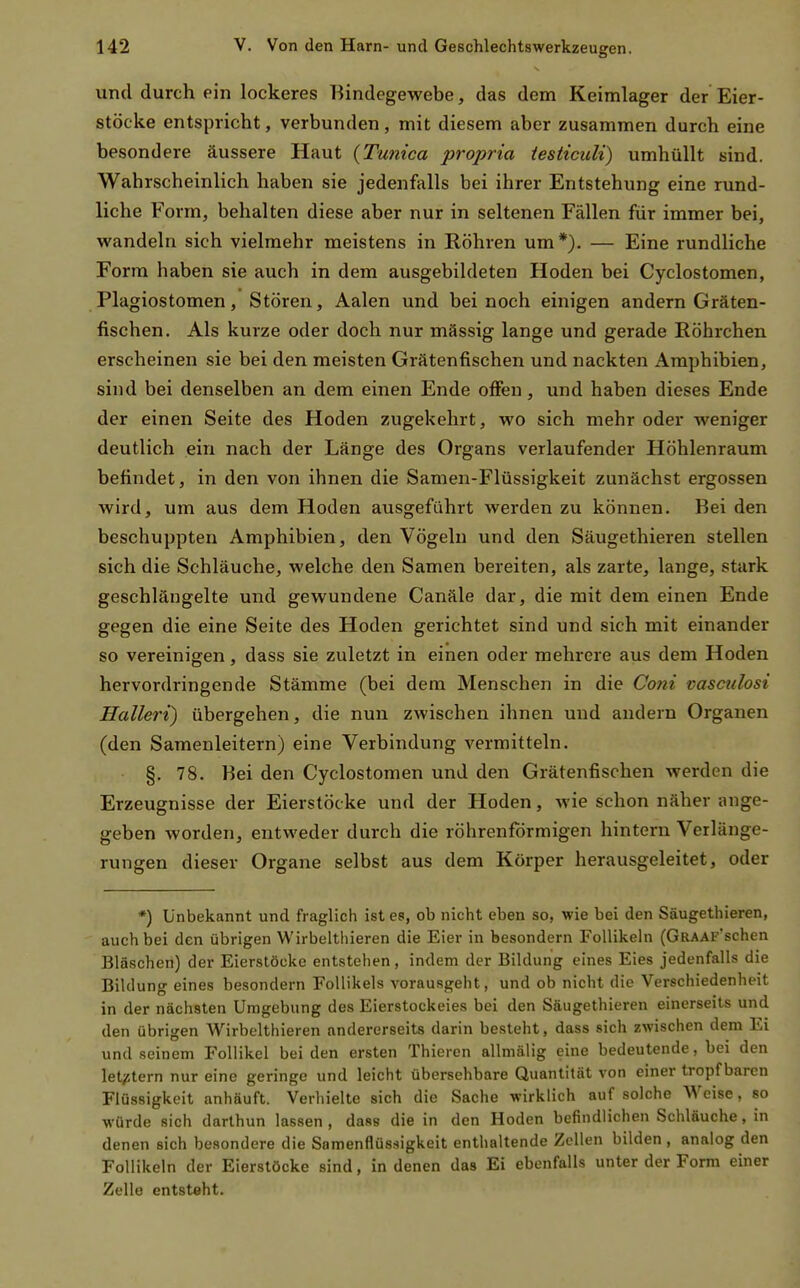 und durch ein lockeres Bindegewebe, das dem Keimlager der Eier- stöcke entspricht, verbunden, mit diesem aber zusammen durch eine besondere äussere Haut {Tunica propria testicitli) umhüllt sind. Wahrscheinlich haben sie jedenfalls bei ihrer Entstehung eine rund- liche Form, behalten diese aber nur in seltenen Fällen für immer bei, wandeln sich vielmehr meistens in Röhren um*). — Eine rundliche Form haben sie auch in dem ausgebildeten Hoden bei Cyclostomen, Plagiostomen, Stören, Aalen und bei noch einigen andern Gräten- fischen. Als kurze oder doch nur mässig lange und gerade Röhrchen erscheinen sie bei den meisten Grätenfischen und nackten Amphibien, sind bei denselben an dem einen Ende offen, und haben dieses Ende der einen Seite des Hoden zugekehrt, wo sich mehr oder weniger deutlich ein nach der Länge des Organs verlaufender Höhlenraum befindet, in den von ihnen die Samen-Flüssigkeit zunächst ergossen wird, um aus dem Hoden ausgeführt werden zu können. Bei den beschuppten Amphibien, den Vögeln und den Säugethieren stellen sich die Schläuche, welche den Samen bereiten, als zarte, lange, stark geschlängelte und gewundene Canäle dar, die mit dem einen Ende gegen die eine Seite des Hoden gerichtet sind und sich mit einander so vereinigen, dass sie zuletzt in einen oder mehrere aus dem Hoden hervordringende Stämme (bei dem Menschen in die Coni vasculosi Halleri) übergehen, die nun zwischen ihnen und andern Organen (den Samenleitern) eine Verbindung vermitteln. §. 78. Bei den Cyclostomen und den Grätenfischen werden die Erzeugnisse der Eierstöcke und der Hoden, wie schon näher ange- geben worden, entweder durch die röhrenförmigen hintern Verlänge- rungen dieser Organe selbst aus dem Körper herausgeleitet, oder *) Unbekannt und fraglich ist es, ob nicht eben so, wie bei den Säugethieren, auch bei den übrigen Wirbelthieren die Eier in besondern Follikeln (GRAAF'schen Bläschen) der Eierstöcke entstehen, indem der Bildung eines Eies jedenfalls die Bildung eines besondern Follikels vorausgeht, und ob nicht die Verschiedenheit in der nächsten Umgebung des Eierstockeies bei den Säugethieren einerseits und den übrigen Wirbelthieren andererseits darin besteht, dass sich zwischen dem Ei und seinem Follikel bei den ersten Thieren allmälig eine bedeutende, bei den let^^tern nur eine geringe und leicht übersehbare Quantität von einer tropfbaren Flüssigkeit anhäuft. Verhielte sich die Sache wirklich auf solche Weise, so würde sich darlhun lassen , dass die in den Hoden befindlichen Schläuche, in denen sich besondere die Samenflüssigkeit enthaltende Zellen bilden , analog den Follikeln der Eierstöcke sind, in denen das Ei ebenfalls unter der Form einer Zelle entsteht.