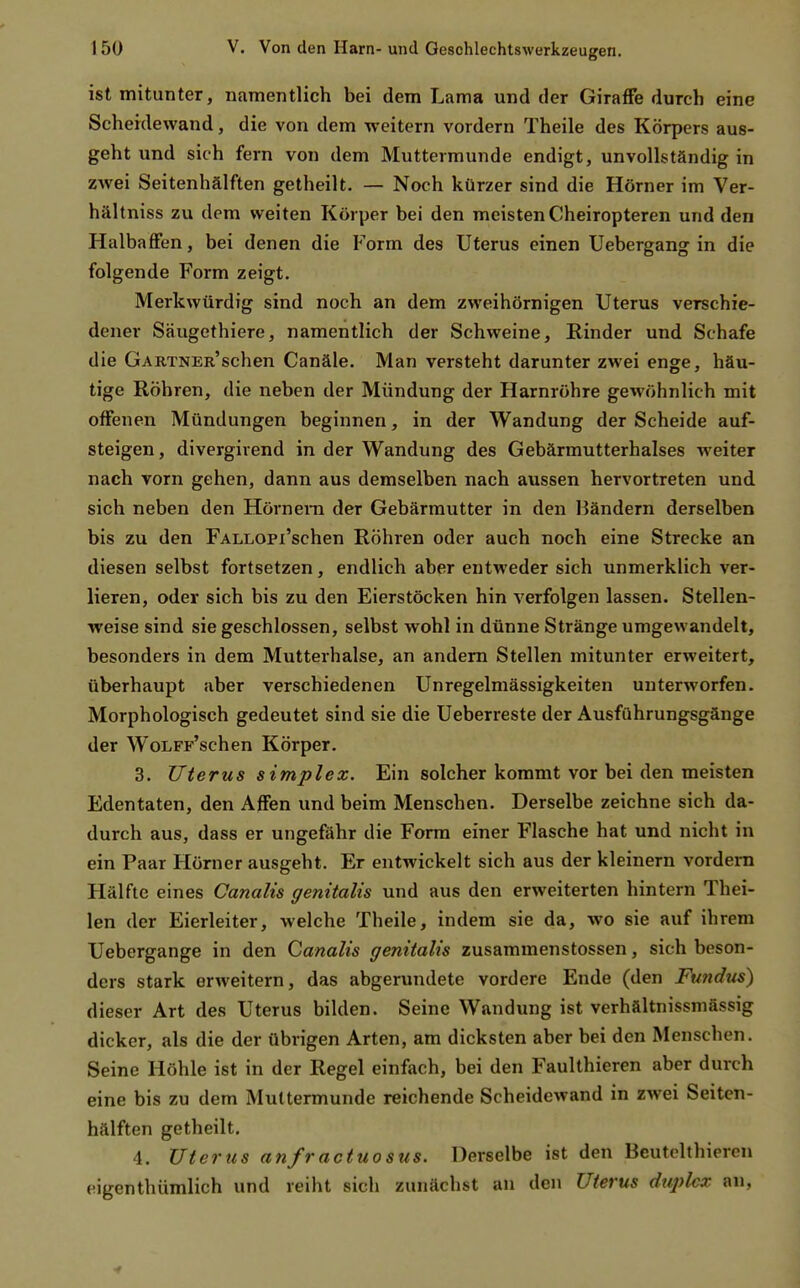 ist mitunter, namentlich bei dem Lama und der Giraffe durch eine Scheidewand, die von dem weitern vordem Theile des Körpers aus- geht und sich fern von dem Muttermunde endigt, unvollständig in zwei Seitenhälften getheilt. — Noch kürzer sind die Hörner im Ver- hältniss zu dem weiten Körper bei den meisten Cheiropteren und den Halbaffen, bei denen die Form des Uterus einen Uebergang in die folgende Form zeigt. Merkwürdig sind noch an dem ZM'eihörnigen Uterus verschie- dener Säugethiere, namentlich der Schweine, Rinder und Schafe die GARTNER'schen Canäle. Man versteht darunter zwei enge, häu- tige Röhren, die neben der Mündung der Harnröhre gewöhnlich mit offenen Mündungen beginnen, in der Wandung der Scheide auf- steigen, divergivend in der Wandung des Gebärmutterhalses weiter nach vorn gehen, dann aus demselben nach aussen hervortreten und sich neben den Hörnera der Gebärmutter in den Händern derselben bis zu den FALLOPi'schen Röhren oder auch noch eine Strecke an diesen selbst fortsetzen, endlich aber entweder sich unmerklich ver- lieren, oder sich bis zu den Eierstöcken hin verfolgen lassen. Stellen- weise sind sie geschlossen, selbst wohl in dünne Stränge umgewandelt, besonders in dem Mutterhalse, an andern Stellen mitunter erweitert, überhaupt aber verschiedenen Unregelmässigkeiten unterworfen. Morphologisch gedeutet sind sie die Ueberreste der Ausführungsgänge der WoLFF'schen Körper. 3. Uterus simplez. Ein solcher kommt vor bei den meisten Edentaten, den Affen und beim Menschen. Derselbe zeichne sich da- durch aus, dass er ungefähr die Form einer Flasche hat und nicht in ein Paar Hörner ausgeht. Er entwickelt sich aus der kleinern vordem Hälfte eines Ganalis genitalis und aus den erweiterten hintern Thei- len der Eierleiter, welche Theile, indem sie da, wo sie auf ihrem Uebergange in den Canalis genitalis zusammenstossen, sich beson- ders stark erweitern, das abgerundete vordere Ende (den Fundus) dieser Art des Uterus bilden. Seine Wandung ist verhältnissmässig dicker, als die der übrigen Arten, am dicksten aber bei den Menschen. Seine Höhle ist in der Regel einfach, bei den Faulthieren aber durch eine bis zu dem Muttermunde reichende Scheidewand in zwei Seiten- hälften getheilt. 4. Uterus anfractuosus. Derselbe ist den Beutolthiercn eigenthümlich und reiht sich zunächst an den Uterus dtiplcx an,