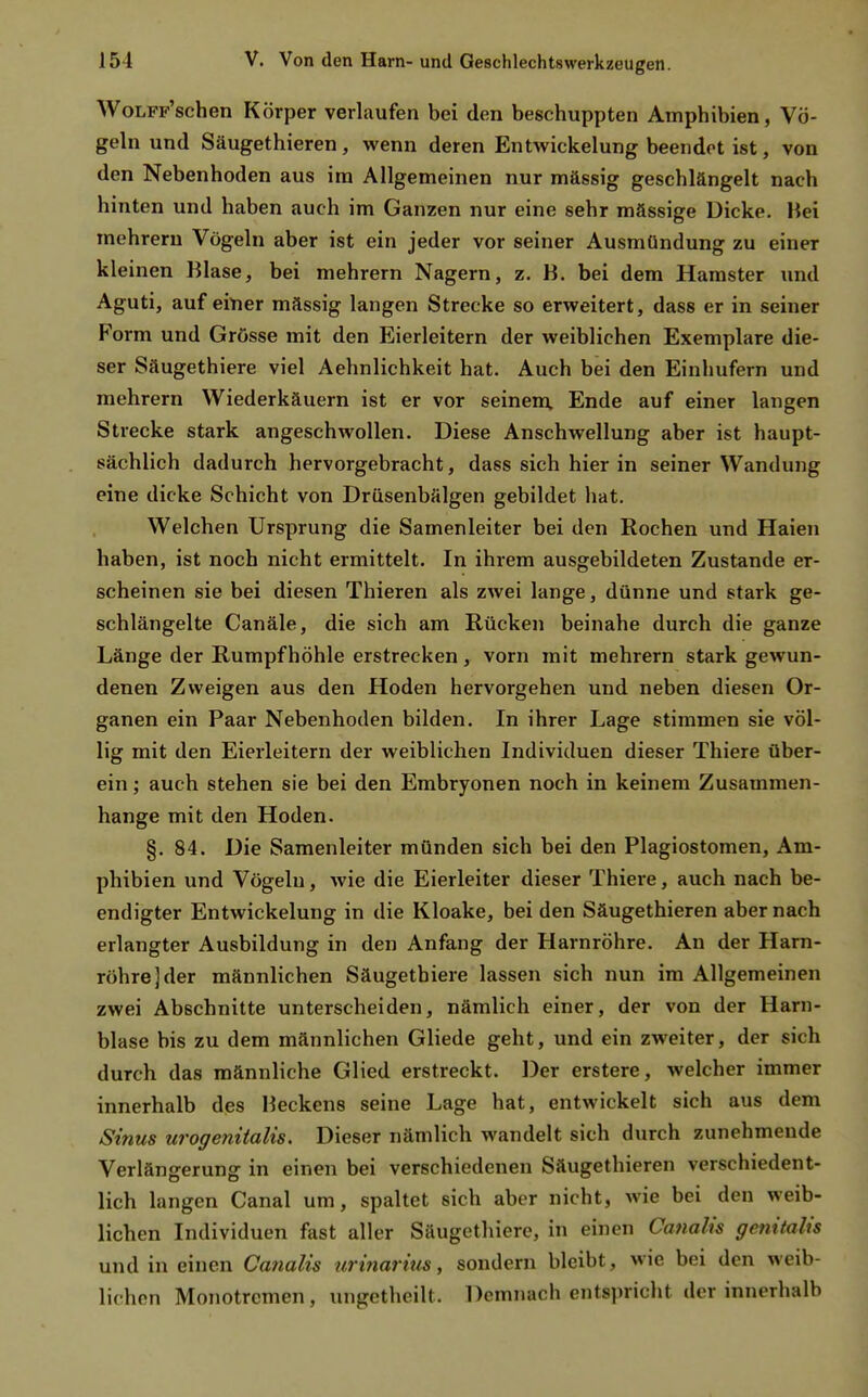 WoLFF'schen Körper verlaufen bei den beschuppten Amphibien, Vö- geln und Säugethieren, wenn deren Entwickelung beendet ist, von den Nebenhoden aus im Allgemeinen nur mässig geschlängelt nach hinten und haben auch im Ganzen nur eine sehr mässige Dicke. Hei mehreru Vögeln aber ist ein jeder vor seiner Ausmündung zu einer kleinen Blase, bei mehrern Nagern, z. B. bei dem Hamster und Aguti, auf einer mässig langen Strecke so erweitert, dass er in seiner Form und Grösse mit den Eierleitern der weiblichen Exemplare die- ser Säugethiere viel Aehnlichkeit hat. Auch bei den Einhufern und mehrern Wiederkäuern ist er vor seinem, Ende auf einer langen Strecke stark angeschwollen. Diese Anschwellung aber ist haupt- sächlich dadurch hervorgebracht, dass sich hier in seiner Wandung eine dicke Schicht von Drüsenbälgen gebildet hat. Welchen Ursprung die Samenleiter bei den Rochen und Haien haben, ist noch nicht ermittelt. In ihrem ausgebildeten Zustande er- scheinen sie bei diesen Thieren als zwei lange, dünne und stark ge- schlängelte Canäle, die sich am Rücken beinahe durch die ganze Länge der Rumpf höhle erstrecken, vorn mit mehrern stark gewun- denen Zweigen aus den Hoden hervorgehen und neben diesen Or- ganen ein Paar Nebenhoden bilden. In ihrer Lage stimmen sie völ- lig mit den Eierleitern der weiblichen Individuen dieser Thiere über- ein ; auch stehen sie bei den Embryonen noch in keinem Zusammen- hange mit den Hoden. §. 84. Die Samenleiter münden sich bei den Plagiostomen, Am- phibien und Vögeln, wie die Eierleiter dieser Thiei'e, auch nach be- endigter Entwickelung in die Kloake, bei den Säugethieren aber nach erlangter Ausbildung in den Anfang der Harnröhre. An der Harn- röhre] der männlichen Säugethiere lassen sich nun im Allgemeinen zwei Abschnitte unterscheiden, nämlich einer, der von der Harn- blase bis zu dem männlichen Gliede geht, und ein zweiter, der sich durch das männliche Glied erstreckt. Der erstere, welcher immer innerhalb des Heckens seine Lage hat, entwickelt sich aus dem Sinus urogenitalis. Dieser nämlich wandelt sich durch zunehmende Verlängerung in einen bei verschiedenen Säugethieren verschiedent- lich langen Canal um, spaltet sich aber nicht, wie bei den weib- lichen Individuen fast aller Säugethiere, in einen Canalis genitalis und in einen Canalis nrinarius, sondern bleibt, wie bei den weib- lichen Monotrcmen, ungetheilt. Demnach entspricht der innerhalb