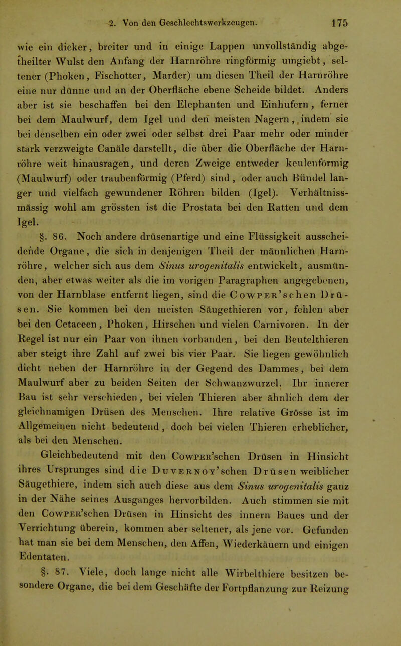 wie ein dicker, breiter und in einige Lappen unvollständig abge- theilter Wulst den Anfang der Harnröhre ringförmig umgiebt, sel- tener (Phoken, Fischotter, Marder) um diesen Theil der Harnröhre eine nur dünne und an der Oberfläche ebene Scheide bildet. Anders aber ist sie beschaflfen bei den Elephanten und Einhufern, ferner bei dem Maulwurf, dem Igel und den meisten Nagern, indem sie bei denselben ein oder zwei oder selbst drei Paar mehr oder minder stark verzweigte Canäle darstellt, die über die Oberfläche der Harn- röhre weit hinausragen, und deren Zweige entweder keulenförmig (Maulwurf) oder traubenförmig (Pferd) sind, oder auch Bündel lan- ger und vielfach gewundener Röhren bilden (Igel). Verhältniss- mässig wohl am grössten ist die Prostata bei den Ratten und dem Igel. §. 86. Noch andere drüsenartige und eine Flüssigkeit ausschei- dende Organe, die sich in denjenigen Theil der männlichen Harn- röhre, welcher sich aus dem Sinus urogenitalis entwickelt, ausmün- den, aber etwas weiter als die im vorigen Paragraphen angegebenen, von der Harnblase entfernt liegen, sind die C owPER'schen Drü- sen. Sie kommen bei den meisten Säugethieren vor, fehlen aber bei den Cetaceen, Phoken, Hirschen und vielen Carnivoren. In der Regel ist nur ein Paar von ihnen vorhanden, bei den Heutelthieren aber steigt ihre Zahl auf zwei bis vier Paar. Sie liegen gewöhnlich dicht neben der Harnröhre in der Gegend des Dammes, bei dem Maulwurf aber zu beiden Seiten der Schwanzwurzel. Ihr innerer Bau ist sehr verschieden, bei vielen Thieren aber ähnlich dem der gleichnamigen Drüsen des Menschen. Ihre relative Grösse ist im Allgemeinen nicht bedeutend, doch bei vielen Thieren erheblicher, als bei den Menschen. Gleichbedeutend mit den CowPER'schen Drüsen in Hinsicht ihres Ursprunges sind die Duvernoy'sehen Drüsen weiblicher Säugethiere, indem sich auch diese aus dem Sinus urogenitalis ganz in der Nähe seines Ausganges hervorbilden. Auch stimmen sie mit den CowPER'schen Drüsen in Hinsicht des Innern Baues und der Verrichtung überein, kommen aber seltener, als jene vor. Gefunden hat man sie bei dem Menschen, den Affen, Wiederkäuern und einigen Eden taten. §.87. Viele, doch lange nicht alle Wirbelthiere besitzen be- sondere Organe, die bei dem Geschäfte der Fortpflanzung zur Reizung