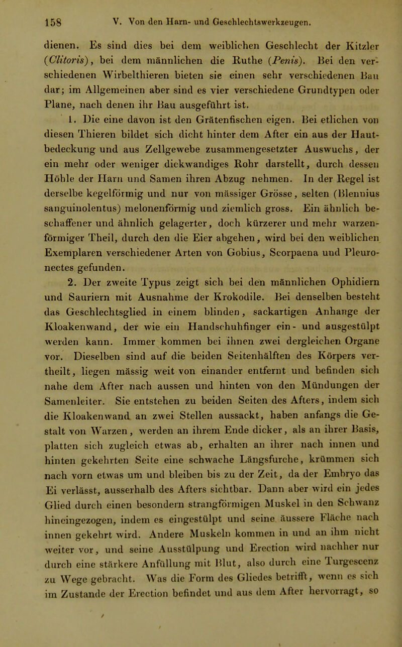 dienen. Es sind dies bei dem weiblichen Geschlecht der Kitzler (Clitorts), bei dem männlichen die Ruthe (Penis). Bei den ver- schiedenen Wirbelthieren bieten sie einen sehr verschiedenen Bau dar; im Allgemeinen aber sind es vier verschiedene Grundtypen oder Plane, nach denen ihr Bau ausgeführt ist. 1. üie eine davon ist den Grätenfischen eigen. Bei etlichen von diesen Thieren bildet sich dicht hinter dem After ein aus der Haut- bedeckung und aus Zellgewebe zusammengesetzter Auswuchs, der ein mehr oder weniger dickwandiges Rohr darstellt, durch dessen Höhle der Harn und Samen ihren Abzug nehmen. In der Regel ist derselbe kegelförmig und nur von massiger Grösse, selten (Blennius sanguinolentus) melonenförmig und ziemlich gross. Ein ähnlich be- schaffener und ähnlich gelagerter, doch kürzerer und mehr warzen- förmiger Theil, durch den die Eier abgehen, wird bei den weiblichen Exemplaren verschiedener Arten von Gobius, Scorpaena und Pleuro- nectes gefunden. 2. Der zweite Typus zeigt sich bei den männlichen Ophidiern und Sauriern mit Ausnahme der Krokodile. Bei denselben besteht das Geschlechtsglied in einem blinden, sackartigen Anhange der Kloakenwand, der wie ein Handschuhfinger ein- und ausgestülpt werden kann. Immer kommen bei ihnen zwei dergleichen Organe vor. Dieselben sind auf die beiden Seitenhälfteu des Körpers ver- theilt, liegen mässig weit von einander entfernt und befinden sich nahe dem After nach aussen und hinten von den Mündungen der Samenleiter. Sie entstehen zu beiden Seiten des Afters, indem sich die Kloakenwand an zwei Stellen aussackt, haben anfangs die Ge- stalt von Warzen, werden an ihrem Ende dicker, als an ihrer Basis, platten sich zugleich etwas ab, erhalten an ihrer nach innen und hinten gekehrten Seite eine schwache Längsfurche, krümmen sich nach vorn etwas um und bleiben bis zu der Zeit, da der Embryo das Ei verlässt, ausserhalb des Afters sichtbar. Dann aber wird ein jedes Glied durch einen besondern strangförmigen Muskel in den Schwanz hineingezogen, indem es eingestülpt und seine äussere Fläche nach innen gekehrt wird. Andere Muskeln kommen in und an ihm nicht weiter vor, und seine Ausstülpung und Erection wird nachher nur durch eine stärkere Anfüllung mit Blut, also durch eine Turgescenz zu Wege gebracht. Was die Form des Gliedes betrifft, wenn es sich im Zustande der Erection befindet und aus dem After hervorragt, so I