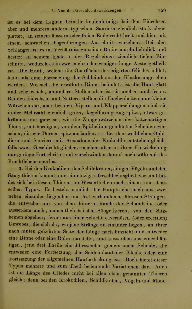 ist es bei dem Leguan beinahe keulenförmig, bei den Eidechsen aber und mehrern andern typischen Sauriern ziemlich stark abge- plattet, an seinem äussern oder freien Ende recht breit und hier mit einem schwachen bogenförmigen Ausschnitt versehen, liei den Schlangen ist es im Verhältniss zu seiner Hreite ansehnlich dick und besitzt an seinem Ende in der Regel einen ziemlich tiefen Ein- schnitt , wodurch es in zwei mehr oder weniger lange Aeste getheilt ist. Die Haut, welche die Oberfläche des erigirten Gliedes bildet, kann als eine Fortsetzung der Schleimhaut der Kloake angesehen werden. Wo sich die erwähnte Rinne befindet, ist die Haut glatt und sehr weich, an andern Stellen aber ist sie uneben und fester. Bei den Eidechsen und Nattern stellen die Unebenheiten nur kleine Wärzchen dar, aber bei den Vipern und Klapperschlangen sind sie in der Mehrzahl ziemlich gross, kegelförmig zugespitzt, etwas ge- krümmt und ganz so, wie die Zungenwärzchen der katzenartigen Thierc, mit hornigen, von dem Epithelium gebildeten Scheiden ver- sehen, die wie Dornen spitz auslaufen. — Bei den weiblichen Ophi- diern und Sauriern mit Ausnahme der Krokodile entstehen gleich- falls zwei Geschlechtsglieder, machen aber in ihrer Entwickelung nur geringe Fortschritte und verschwinden darauf noch während des Fruchtlebens spurlos. 3. Bei den Krokodilen, den Schildkröten, einigen Vögeln und den Säugethieren kommt nur ein einziges Geschlechtsglied vor und bil- det sich bei diesen Thieren im Wesentlichen nach einem und dem- selben Typus. Es besteht nämlich der Hauptsache nach aus zwei neben einander liegenden und fest verbundenen fibrösen Strängen, die entweder nur von dem hintern Rande der Schambeine oder ausserdem auch, namentlich bei den Säugethieren, von den Sitz- beinen abgehen; ferner aus einer Schicht cavernösen (oder erectilen) Gewebes, die sich da, wo jene Stränge an einander liegen, an ihrer nach hinten gekehrten Seite der Länge nach hinzieht und entweder eine Rinne oder eine Röhre darstellt, und ausserdem aus einer häu- tigen, jene drei Theile einschliessenden gemeinsamen Scheide, die entweder eine Fortsetzung der Schleimhaut der Kloake oder eine Fortsetzung der allgemeinen Hautbedeckung ist. Doch bietet dieser Typus mehrere und zum Theil bedeutende Variationen dar. Auch ist die Länge des Gliedes nicht bei allen oben genannten Thieren gleich; denn bei den Krokodilen, Schildkröten, Vögeln und Mono-