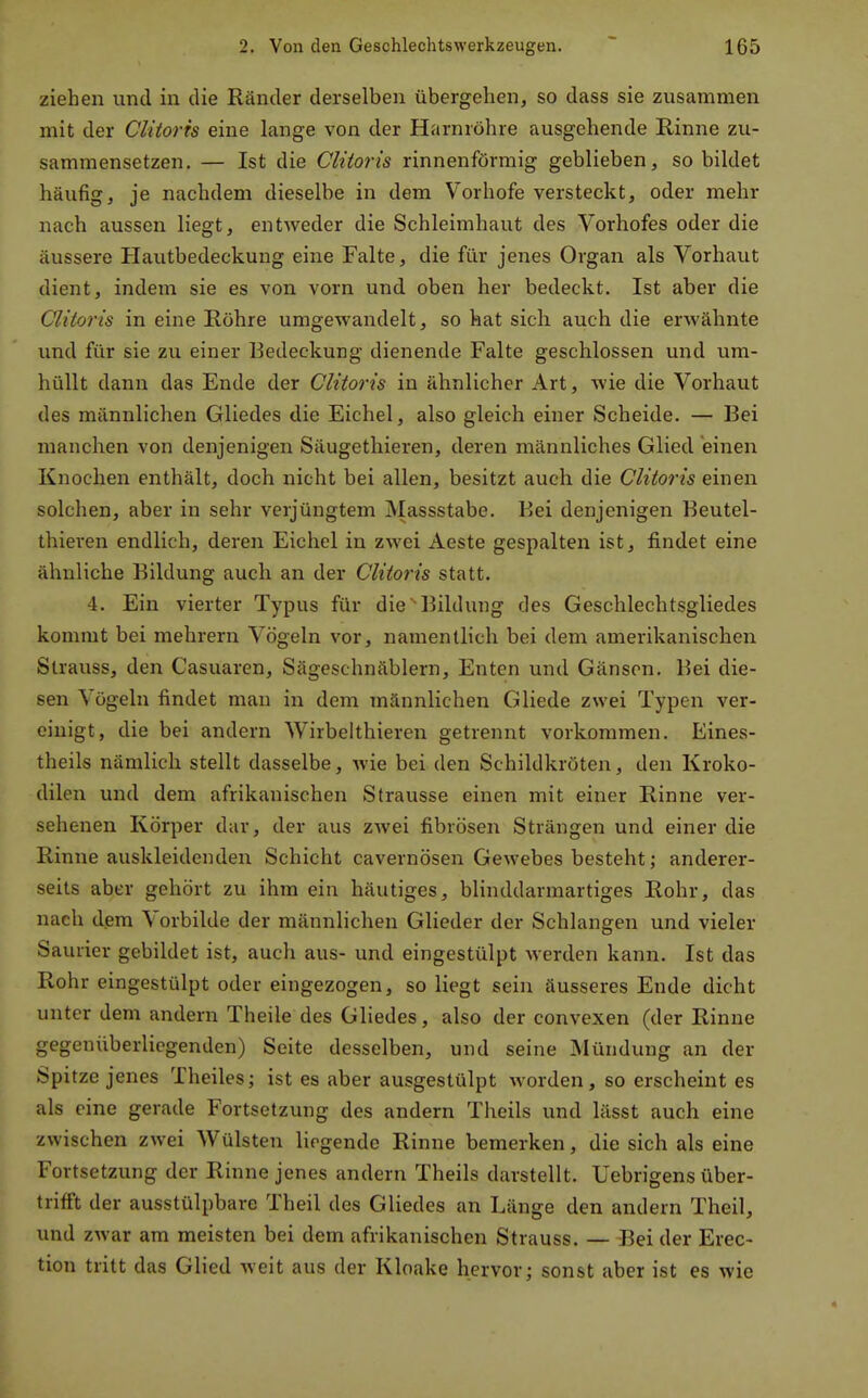 ziehen und in die Ränder derselben übergehen, so dass sie zusammen mit der Clitoris eine lange von der Harnröhre ausgehende Rinne zu- sammensetzen. — Ist die Clitoris rinnenförmig geblieben, so bildet häufig, je nachdem dieselbe in dem Vorhofe versteckt, oder mehr nach aussen liegt, entweder die Schleimhaut des Vorhofes oder die äussere Hautbedeckung eine Falte, die für jenes Organ als Vorhaut dient, indem sie es von vorn und oben her bedeckt. Ist aber die Clitoris in eine Röhre umgewandelt, so hat sich auch die erwähnte und für sie zu einer Bedeckung dienende Falte geschlossen und um- hüllt dann das Ende der Clitoris in ähnlicher Art, wie die Vorhaut des männlichen Gliedes die Eichel, also gleich einer Scheide. — Bei manchen von denjenigen Säugethieren, deren männliches Glied einen Knochen enthält, doch nicht bei allen, besitzt auch die Clitoris einen solchen, aber in sehr verjüngtem Massstabe. Bei denjenigen Beutel- thieven endlich, deren Eichel in zwei Aeste gespalten ist, findet eine ähnliche Bildung auch an der Clitoris statt. 4. Ein vierter Typus für die -Bildung des Geschlechtsgliedes kommt bei mehrern Vögeln vor, namentlich bei dem amerikanischen Slrauss, den Casuaren, Sägeschnäblern, Enten und Gänsen. Bei die- sen Vögeln findet man in dem männlichen Gliede zwei Typen ver- einigt, die bei andern Wirbelthieren getrennt vorkommen. Eines- theils nämlich stellt dasselbe, wie bei den Schildkröten, den Kroko- dilen und dem afrikanischen Strausse einen mit einer Rinne ver- selienen Körper dar, der aus zwei fibrösen Strängen und einer die Rinne auskleidenden Schicht cavernösen Gewebes besteht; anderer- seits aber gehört zu ihm ein häutiges, blinddarmartiges Rohr, das nach dem Vorbilde der männlichen Glieder der Schlangen und vieler Saurier gebildet ist, auch aus- und eingestülpt Averden kann. Ist das Rohr eingestülpt oder eingezogen, so liegt sein äusseres Ende dicht unter dem andern Theile des Gliedes, also der convexen (der Rinne gegenüberliegenden) Seite desselben, und seine Mündung an der Spitze jenes Theiles; ist es aber ausgestülpt worden, so erscheint es als eine gerade Fortsetzung des andern Theils und lässt auch eine zwischen zwei Wülsten liegende Rinne bemerken, die sich als eine Fortsetzung der Rinne jenes andern Theils darstellt. Uebrigens über- trifft der ausstülpbare Theil des Gliedes an Länge den andern Theil, und zwar am meisten bei dem afrikanischen Strauss. — Bei der Erec- tion tritt das Glied weit aus der Kloake hervor; sonst aber ist es wie