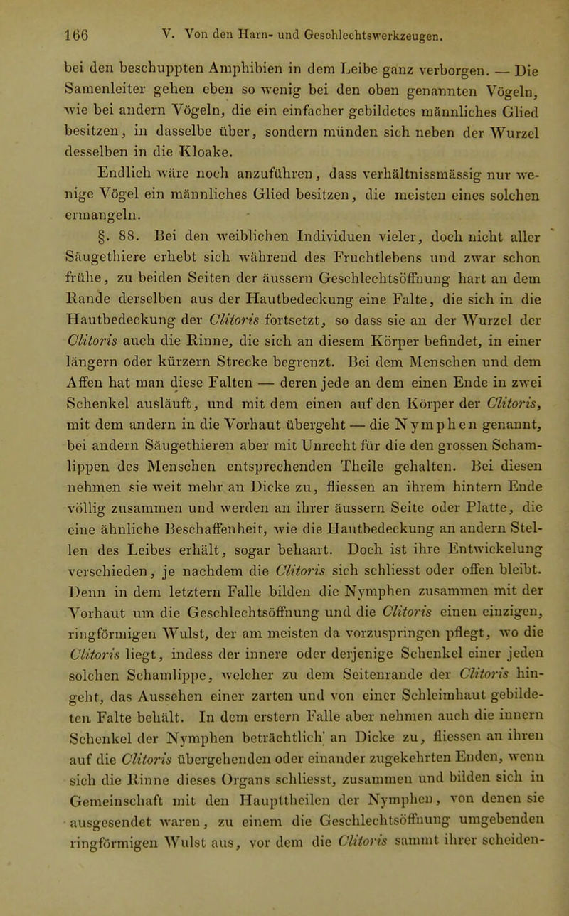 bei den beschuppten Amphibien in dem Leibe ganz verborgen. — Die Samenleiter gehen eben so wenig bei den oben genannten Vögeln, wie bei andern Vögeln, die ein einfacher gebildetes männliches Glied besitzen, in dasselbe über, sondern münden sich neben der Wurzel desselben in die Kloake. Endlich wäre noch anzuführen, dass verhältnissmässig nur we- nige Vögel ein männliches Glied besitzen, die meisten eines solchen ermangeln. §. 88. Bei den weiblichen Individuen vieler, doch nicht aller Säugethiere erhebt sich während des Fruchtlebens und zwar schon frühe, zu beiden Seiten der äussern Geschlechtsöffnung hart an dem Rande derselben aus der Hautbedeckung eine Falte, die sich in die Hautbedeckung der Cliioris fortsetzt, so dass sie an der Wurzel der Clitoris auch die Rinne, die sich an diesem Körper befindet, in einer längern oder kürzern Strecke begrenzt. Bei dem Menschen und dem Affen hat man diese Falten — deren jede an dem einen Ende in zwei Schenkel ausläuft, und mit dem einen auf den Körper der Clitoris, mit dem andern in die Vorhaut übergeht — die Nymphen genannt, bei andern Säugethieren aber mit Unrecht für die den grossen Scham- lippen des Menschen entsprechenden Theile gehalten. Bei diesen nehmen sie weit mehr an Dicke zu, fliessen an ihrem hintern Ende völlig zusammen und werden an ihrer äussern Seite oder Platte, die eine ähnliche Beschaffenheit, Avie die Hautbedeckung an andern Stel- len des Leibes erhält, sogar behaart. Doch ist ihre Entwickelung verschieden, je nachdem die Clitoris sich schliesst oder offen bleibt. Denn in dem letztern Falle bilden die Nymphen zusammen mit der Vorhaut um die Geschlechtsöffnung und die Clitoris einen einzigen, ringförmigen Wulst, der am meisten da vorzuspringen pflegt, wo die Clitoris liegt, indess der innere oder derjenige Schenkel einer jeden solchen Schamlippe, welcher zu dem Seitenrande der Clitoi-is hin- geht, das Aussehen einer zarten und von einer Schleimhaut gebilde- ten Falte behält. In dem erstem Falle aber nehmen auch die innern Schenkel der Nymphen beträchtlich'an Dicke zu, fliessen an ihren auf die Clitoris übergehenden oder einander zugekehrten Enden, wenn sich die Rinne dieses Organs schliesst, zusammen und bilden sich in Gemeinschaft mit den Haupttheilcn der Nymplicn, von denen sie ausgesendet waren, zu einem die Geschlechtsöffnung umgebenden ringförmigen Wulst aus, vor dem die Clitoris sammt ihrer scheiden-