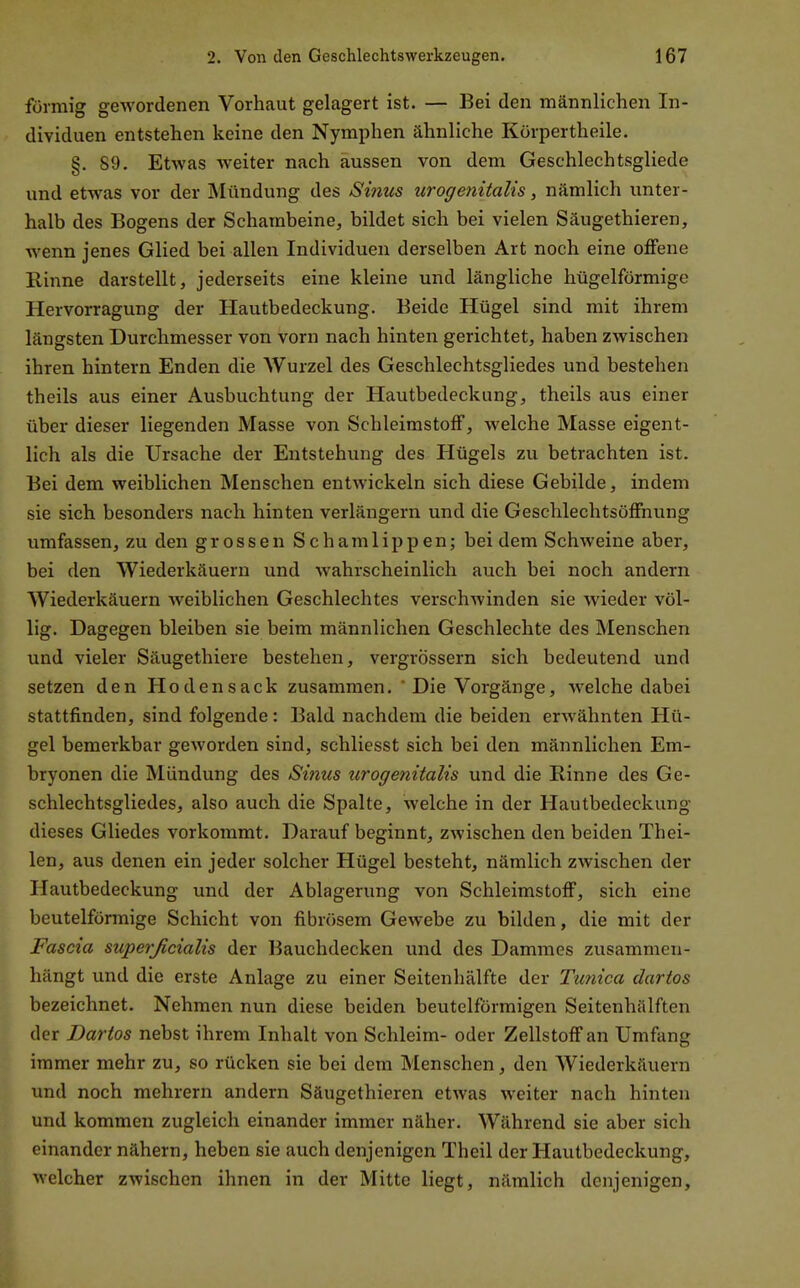 förmig gewordenen Vorhaut gelagert ist. — Bei den männlichen In- dividuen entstehen keine den Nymphen ähnliche Kürpertheile. §. 89. Etwas weiter nach aussen von dem Geschlechtsgliede und etwas vor der Mündung des Sinus urogenitalis, nämlich unter- halb des Bogens der Schambeine, bildet sich bei vielen Säugethieren, wenn jenes Glied bei allen Individuen derselben Art noch eine offene Rinne darstellt, jederseits eine kleine und längliche hügelförmige Hervorragung der Hautbedeckung. Beide Hügel sind mit ihrem längsten Durchmesser von vorn nach hinten gerichtet, haben zwischen ihren hintern Enden die Wurzel des Geschlechtsgliedes und bestehen theils aus einer Ausbuchtung der Hautbedeckung, theils aus einer über dieser liegenden Masse von Schleimstoff, welche Masse eigent- lich als die Ursache der Entstehung des Hügels zu betrachten ist. Bei dem weiblichen Menschen entwickeln sich diese Gebilde, indem sie sich besonders nach hinten verlängern und die Geschlechtsöffnung umfassen, zu den grossen Schamlippen; bei dem Schweine aber, bei den Wiederkäuern und wahrscheinlich auch bei noch andern Wiederkäuern weiblichen Geschlechtes verschwinden sie wieder völ- lig. Dagegen bleiben sie beim männlichen Geschleclite des Menschen und vieler Säugethiere bestehen, vergrÖssern sich bedeutend und setzen den Hodensack zusammen. ' Die Vorgänge, welche dabei stattfinden, sind folgende: Bald nachdem die beiden erwähnten Hü- gel bemerkbar geworden sind, schliesst sich bei den männlichen Em- bryonen die Mündung des Sinus urogenitalis und die Rinne des Ge- schlechtsgliedes, also auch die Spalte, welche in der Hautbedeckung dieses Gliedes vorkommt. Darauf beginnt, zwischen den beiden Thei- len, aus denen ein jeder solcher Hügel besteht, nämlich zwischen der Hautbedeckung und der Ablagerung von Schleimstoff, sich eine beuteiförmige Schicht von fibrösem Gewebe zu bilden, die mit der Fascia superßcialis der Bauchdecken und des Dammes zusammen- hängt und die erste Anlage zu einer Seitenhälfte der Ttinica dartos bezeichnet. Nehmen nun diese beiden beutelförmigen Seitenhälften der Dartos nebst ihrem Inhalt von Schleim- oder Zellstoff an Umfang immer mehr zu, so rücken sie bei dem Menschen, den AViederkäuern und noch mehrern andern Säugethieren etwas weiter nach hinten und kommen zugleich einander immer näher. Während sie aber sich einander nähern, heben sie auch denjenigen Theil der Plautbedeckung, welcher zwischen ihnen in der Mitte liegt, nämlich denjenigen.