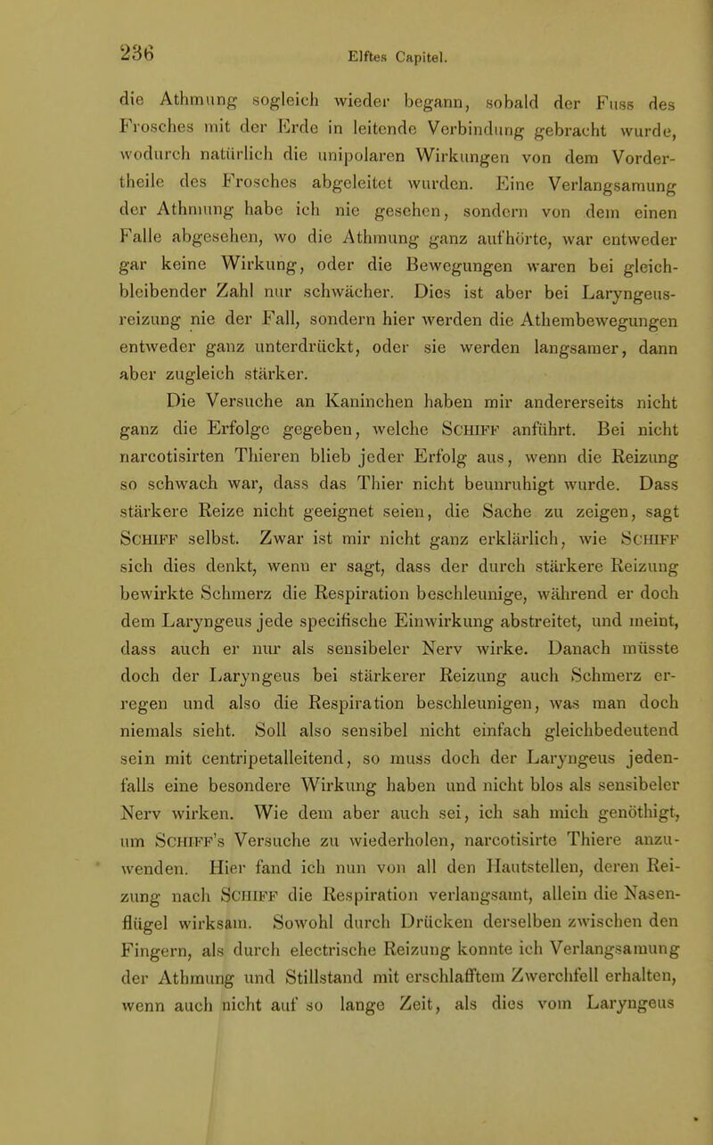 die Athmung sogleich wieder begann, sobald der Fuss des Frosches mit der Erde in leitende Verbindung gebracht wurde, wodurch natürlich die unipolaren Wirkungen von dem Vorder- theile des Frosches abgeleitet wurden. Eine Verlangsamung der Athmung habe ich nie gesehen, sondern von dem einen Falle abgesehen, wo die Athmung ganz aufhörte, war entweder gar keine Wirkung, oder die Bewegungen waren bei gleich- bleibender Zahl nur schwächer. Dies ist aber bei Laryngeus- reizung nie der Fall, sondern hier werden die Athembewegungen entweder ganz unterdrückt, oder sie werden langsamer, dann aber zugleich stärker. Die Versuche an Kaninchen haben mir andererseits nicht ganz die Erfolge gegeben, welche Schiff anführt. Bei nicht narcotisirten Thieren blieb jeder Erfolg aus, wenn die Reizung so schwach war, dass das Thier nicht beunruhigt wurde. Dass stärkere Reize nicht geeignet seien, die Sache zu zeigen, sagt Schiff selbst. Zwar ist mir nicht ganz erklärlich, wie Schiff sich dies denkt, wenn er sagt, dass der durch stärkere Reizung bewirkte Schmerz die Respiration beschleunige, während er doch dem Laryngeus jede speeifische Einwirkung abstreitet, und meint, dass auch er nur als sensibeler Nerv wirke. Danach müsste doch der Laryngeus bei stärkerer Reizung auch Schmerz er- regen und also die Respiration beschleunigen, was man doch niemals sieht. Soll also sensibel nicht einfach gleichbedeutend sein mit centripetalleitend, so muss doch der Laryngeus jeden- falls eine besondere Wirkung haben und nicht blos als sensibeler Nerv wirken. Wie dem aber auch sei, ich sah mich genöthigt, um Schiff's Versuche zu wiederholen, narcotisirte Thiere anzu- wenden. Hier fand ich nun von all den Hautstellen, deren Rei- zung nach Schiff die Respiration verlangsamt, allein die Nasen- flügel wirksam. Sowohl durch Drücken derselben zwischen den Fingern, als durch electrische Reizung konnte ich Verlangsamung der Athmung und Stillstand mit erschlafftem Zwerchfell erhalten, wenn auch nicht auf so lange Zeit, als dies vom Laryngeus