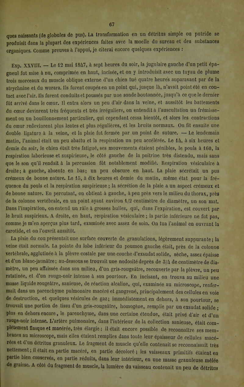 ques naissants (de globules de pus). La transformation en un détritus simple ou putride se produisit dans la plupart des expériences faites avec la moelle du sureau et des substances organiques. Comme preuves à l'appui, je citerai encore quelques expériences : Exp. XXVlir. — Le 12 mai 1847, à sept heures du soir, la jugulaire gauche d'un petit épa- gneul fut mise à nu, comprimée en haut, incisée, et on y introduisit avec un tuyau de plume trois morceaux du muscle oblique externe d'un chien tué quatre heures auparavant par de la strychnine et du worara. Ils furent coupés en un point qui, jusque là, n'avait point été en con- tact avec l'air. Ils furent conduits et poussés par une sonde boutonnée, jusqu'à ce que le dernier fût arrivé dans le cœur. Il entra alors un peu d'air dans la veine, et aussitôt les battements du cœur devinrent très fréquents et très irréguliers, on entendit à l'auscultation un frémisse- ment ou un bouillonnement particulier, qui cependant cessa bientôt, et alors les contractions du cœur redevinrent plus lentes et plus régulières, et les bruits normaux. On fit ensuite une double ligature à la veine, et la plaie fut fermée par un point de suture. — Le lendemain matin, l'animal était un peu abattu et la respiration un peu accélérée. Le 14, à six heures et demie du soir, le chien était très fatigué, ses mouvements étaient pénibles, le pouls à 160, la respiration laborieuse et suspirieuse, le côté gauche de la poitrine très distendu, mais sans que le son qu'il rendait à la percussion fût notablement modifié. Respiration vésiculaire à droite; à gauche, absents en bas; un peu obscure en haut. La plaie sécrétait un pus crémeux de bonne nature. Le 15, à dix heures et demie du malin, même état pour la fré- quence du pouls et la respiration suspirieuse ; la sécrétion de la plaie a un aspect crémeux et de bonne nature. En percutant, on obtient à gauche, à peu près vers le milieu du thorax, près de la colonne vertébrale, en un point ayant environ 1/2 centimètre de diamètre, un son mat. Dans l'inspiration, on entend un râle à grosses bulles, qui, dans l'expiration, est couvert par le bruit suspirieux. A droite, en haut, respiration vésiculaire ; la parlie inférieure ne fut pas, comme je m'en aperçus plus tard, examinée avec assez de soin. On tua l'animal en ouvrant la carotide, et on l'ouvrit aussitôt. La plaie du cou présentait une surface couverte de granulations, légèrement suppurante; la veine était normale. La pointe du lobe inférieur du poumon gauche était, près de la colonne vertébrale, agglutinée à la plèvre costale par une couche d'exsudat solide, sèche, assez épaisse et d'un blanc-jaunâtre; au-dessous se trouvait une nodosité deprès de 3/4 de centimètre de dia- mètre, un peu affaissée dans son milieu, d'un gris-rougeàtre, recouverte par la plèvre, un peu ratatinée, et d'un rouge-noir intense à son pourtour. En incisant, on trouva au milieu une masse liquide rougeâlro, sanieuse, de réaction alcaline, qui, examinée au microscope, renfer- mait dans un parenchyme pulmonaire macéré et gangrené, principalement des cellules en voie de destruction, et quelques vésicules de gaz; immédiatement en dehors, à son pourtour, se trouvait une portion de tissu d'un gris-rougeàtre, homogène, remplie par un exsudât solide ; plus en dehors encore, le parenchyme, dans une certaine étendue, était privé d'air et d'un rouge-noir intense. L'artère pulmonaire, dans l'intérieur de la collection sanieuse, était com- plètement flasque et macérée, très élargie ; il était encore possible de reconnaître ses mem- branes au microscope, mais elles étaient remplies dans toute leur épaisseur de cellules macé- rées et d'un détritus granuleux. Le fragment de muscle qu'elle contenait se reconnaissait très nettement; il était en partie macéré, en partie décoloré; les vaisseaux primitifs étaient en partie bien conservés, en parlie réduits, dans leur intérieur, en une masse granuleuse mêlée de graisse. A côté du fragment de muscle, la lumière du vaisseau contenait un peu de détritus