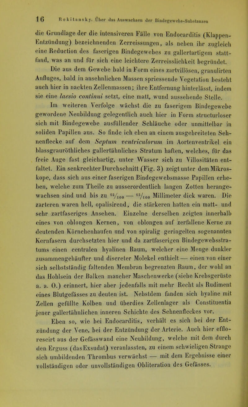 die Grundlage der die intensiveren Fälle von Endocarditis (Klappen- tintzündung) bezeichnenden Zerreissungen, als neben ihr zugleich eine Reduction des faserigen Bindegewebes zu gallertartigem statt- fand, was an und für sich eine leichtere Zerreisslicbkeit begründet. Die aus dem Gewebe bald in Form eines zartvillösen, granulirten Anfluges, bald in ansehnlichen Massen spriessende Vegetation besteht auch hier in nackten Zellenmassen; ihre Entfernung hinterlässt, indem sie eine laesio continui setzt, eine matt, wund aussehende Stelle. Im weiteren Verfolge wächst die zu faserigem Bindegewebe gewordene Neubildung gelegentlich auch hier in Form structurloser sich mit Bindegewebe ausfüllender Schläuche oder unmittelbar in soliden Papillen aus. So finde ich eben an einem ausgebreiteten Seh- nenflecke auf dem Septum ventriculorum im Aortenventrikel ein blassgrauröthliches gallertähnliches Stratum haften, welches, für das freie Auge fast gleichartig, unter Wasser sich zu Villositäten ent- faltet. Ein senkrechter Durchschnitt (Fig. 3) zeigt unter dem Mikros- kope, dass sich aus einer faserigen Bindegewebsmasse Papillen erhe- ben, welche zum Theile zu ausserordentlich langen Zotten herange- wachsen sind und bis zu i2i/i0o — 15/ioo Millimeter dick waren. Die zarteren waren hell, opalisirend, die stärkeren hatten ein matt- und sehr zartfaseriges Ansehen. Einzelne derselben zeigten innerhalb eines von oblongen Kernen, von oblongen auf zerfallene Kerne zu deutenden Körnchenhaufen und von spiralig geringelten sogenannten Kernfasern durchsetzten hier und da zartfaserigen Bindegewebsstra- tums einen centralen hyalinen Raum, welcher eine Menge dunkler zusammengehäufter und discreter Molekel enthielt — einen von einer sich selbstständig faltenden Membran begrenzten Raum, der wohl an das Hohlsein der Balken mancher Maschenwerke (siehe Krebsgerüste a. a. 0.) erinnert, hier aber jedenfalls mit mehr Recht als Rudiment eines Rlutgefässes zu deuten ist. Nebstdem fanden sich hyaline mit Zellen gefüllte Kolben und überdies Zellenlager als Constituentia jener gallertähnlichen inneren Schichte des Sehnenfleckes vor. Eben so, wie bei Endocarditis, verhält es sich bei der Ent- zündung der Vene, bei der Entzündung der Arterie. Auch hier efflo- rescirt aus der Gefässwand eine Neubildung, welche mit dem durch den Erguss (das Exsudat) veranlassten, zu einem schwieligen Strange sich umbildenden Thrombus verwächst — mit dem Ergebnisse einer vollständigen oder unvollständigen Obliteration des Gefässes.