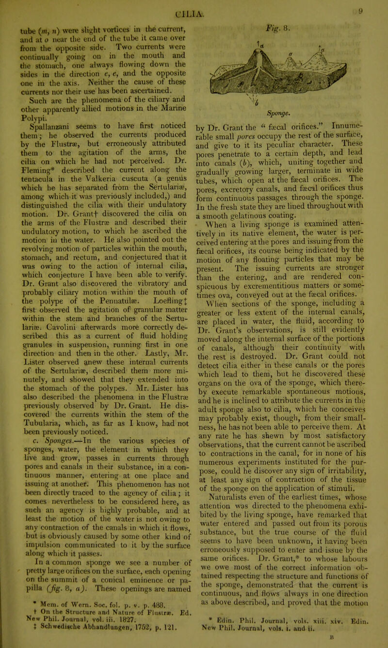 (11.1 A. tube (//i, «) were slight vortices in the current, and at o near the end of the tube it came over from the opposite side. Two currents were contiuually going on in the mouth and the stomach, one always flowing down the sides in the direction e, e, and the opposite one in the axis. Neither the cause of these currents nor their use has been ascertained. Such are the phenomena of the ciliary and other apparently allied motions in the Marine Polypi. Spallanzani seems to have first noticed them; he observed the currents produced by die Flustrae, but erroneously attributed them to the agitation of the arms, the cilia on which he had not perceived. Dr. Fleming* described the current along the tentacula in the Valkeria cuscuta (a genus which he has separated from the Sertulariae, among which it was previously included,) and distinguished the cilia with their undulatory motion. Dr. Grantf discovered the cilia on the arms of the Flustrae and described their undulatory motion, to which he ascribed the motion in the water. He also pointed out the revolving motion of particles within the mouth, stomach, and rectum, and conjectured that it was owing to the action of internal cilia, which conjecture I have been able to verify. Dr. Grant also discovered the vibratory and probably ciliary motion within the mouth of the polype of the Pennatulae. LoeflingJ first observed the agitation of granular matter within the stem and branches of the Sertu- lariae. Cavolini afterwards more correctly de- scribed this as a current of fluid holding granules in suspension, running first in one direction and then in the other. Lastly, Mr. Lister observed anew these internal currents of the Sertulariae, described them more mi- nutely, and showed that they extended into the stomach of the polypes. Mr. Lister has also described the phenomena in the Flustrae previously observed by Dr. Grant. He dis- covered the currents within the stem of the Tubularia, which, as far as I know, had not been previously noticed. c. Sponges.—In the various species of sponges, water, the element in which they live and grow, passes in currents through pores and canals in their substance, in a con- tinuous manner, entering at one place and issuing at another. This phenomenon has not been directly traced to the agency of cilia; it comes nevertheless to be considered here, as such an agency is highly probable, and at least the motion of the water is not owing to any contraction of the canals in which it flows, but is obviously caused by some other kind of impulsion communicated to it by the surface along which it passes. In a common sponge we see a number of pretty lar^e orifices on the surface, each opening on the summit of a conical eminence or pa- pilla (Jig. 8, a). These openings are named ' Mom. of Wern. Soc. fol. p. v. p. 480. t On the Structure an<l Nature of Flusira:. Ed. New Phil. Journal, vol. iii. 1827. X Schwediiche Abhandlungen, 1752, p. 121. Fig. ». Sponge. by Dr. Grant the  faecal orifices. Innume- rable small pores occupy the rest of the surface, and give to it its peculiar character. These pores penetrate to a certain depth, and lead into canals (6), which, uniting together and gradually growing larger, terminate in wide tubes, which open at the faecal orifices. The pores, excretory canals, and faecal orifices thus form continuous passages through the sponge. In the fresh state they are lined throughout with a smooth gelatinous coating. When a living sponge is examined atten- tively in its native element, the water is per- ceived entering at the pores and issuing from the faecal orifices, its course being indicated by the motion of any floating particles that may be present. The issuing currents are stronger than the entering, and are rendered con- spicuous by excrementitious matters or some- times ova, conveyed out at the faecal orifices. When sections of the sponge, including a greater or less extent of the internal canals, are placed in water, the fluid, according to Dr. Grant's observations, is still evidently moved along the internal surface of the portions of canals, although their continuity with the rest is destroyed. Dr. Grant could not detect cilia either in these canals or the pores which lead to them, but he discovered these organs on the ova of the sponge, which there- by execute remarkable spontaneous motions, and he is inclined to attribute the currents in the adult sponge also to cilia, which he conceives may probably exist, though, from their small- ness, he has not been able to perceive them. At any rate he has shewn by most satisfactory observations, that the current cannot be ascribed to contractions in the canal, for in none of his numerous experiments instituted for the pur- pose, could he discover any sign of irritability, at least any sign of contraction of the tissue of the sponge on the application of stimuli. Naturalists even of the earliest times, whose attention was directed to the phenomena exhi- bited by the living sponge, have remarked that water entered and passed out from its porous substance, but the true course of the fluid seems to have been unknown, it having been erroneously supposed to enter and issue by the same orifices. Dr. Grant,* to whose labours we owe most of the correct information ob- tained respecting the structure and functions of the sponge, demonstrated that the current is continuous, and flows always in one direction as above described, and proved that the motion * Edin. Phil. Journal, vols. xiii. xiv. Edin. New Phil. Journal, vols. i. and ii.