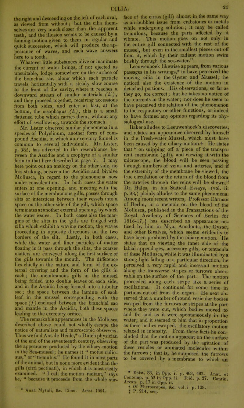 the right and descending on the left of each ovul, as viewed from without; but the cilia them- selves are very much, closer than the apparent teeth, and the illusion seems to be caused by a fanning motion given to them in regular and quick succession, which will produce the ap- pearance of waves, and each wave answers here to a tooth. Whatever little substances alive or inanimate the current of water brings, if not ejected as unsuitable, lodge somewhere on the surface of the branchial sac, along which each particle travels horizontally with a steady slow course to the front of the cavity, where it reaches a downward stream of similar materials (li) ; and they proceed together, receiving accessions from both sides, and enter at last, at the bottom, the oesophagus (h); this is a small flattened tube which carries them, without any effort of swallowing, towards the stomach. Mr. Lister observed similar phenomena in a species of Polyclinum, another form of com- pound Ascidia, in which an excretory funnel is common to several individuals. Mr. Lister, p. 385, has adverted to the resemblance be- tween the Ascidiae and a zoophyte of a similar form to that here described at page 7. I may here point out an analogy on the other side, no less striking, between the Ascidiae and bivalve Mollusca, in regard to the phenomena now under consideration. In both cases the water enters at one opening, and meeting with the surface of the membranous gills, passes through slits or interstices between their vessels into a space on the other side of the gill, which space terminates at another external opening, by which the water issues. In both cases also the mar- gins of the slits in the gills are fringed with cilia which exhibit a waving motion, the waves proceeding in opposite directions on the two borders of the slit. Lastly, in both cases, while the water and finer particles of matter floating in it pass through the slits, the coarser matters are conveyed along the first surface of the gills towards the mouth. The difference lies chiefly in the nature and form of the ex- ternal covering and the form of the gills in each; the membranous gills in the mussel being folded into double leaves on each side, and in the Ascidia being formed into a tubular sac; the space between the laminae of each leaf in the mussel corresponding with the space (f) enclosed between the branchial sac and mantle in the Ascidia, both these spaces leading to the excretory orifice. The remarkable appearances in the Mollusca described above could not wholly escape the notice of naturalists and microscopic observers. Thus we find Ant.de Heide,* a Dutch physician of the end of the seventeenth century, observing the appearance produced by the ciliary motion in the Sea-mussel; he names it  motus radio- sus, or  tremulus. He found it in most parts of the animal, but in none more evident than the gills (cirri pectinati), in which it is most easily examined.  I call the motion radiant, says he,  because it proceeds from the whole sur- • Anat. Mytuli, 8cc. l2mo. Atnst. 1684. face of the cirrus (gill) almost in the same way as air-bubbles issue from crabstones or metals while undergoing solution ; it may be called tremulous, because the parts affected by it vibrate. This motion goes on not only in the entire gill connected with the rest of the mussel, but even in the smallest pieces cut off' from it, which by their radiant motion swim briskly through the sea-water. Leeuwenhoek likewise appears, from various passages in his writings,* to have perceived the moving cilia in the Oyster and Mussel; he noticed also the existence of the motion in detached portions. His observations, so far as they go, are correct; but he takes no notice of the currents in the water; nor does he seem to have perceived the relation of the phenomenon to the respiratory or other functions, or indeed to have formed any opinion regarding its phy- siological use. Baker alludes to Leeuwenhoek's discoveries, and relates an appearance observed by himself in the l;resh-water Mussel, which must have been caused by the ciliary motion.f He states that  on snipping off a piece of the transpa- rent membrane (gdl), and viewing it with the microscope, the blood will be seen passing through numbers of veins and arteries, and if the extremity of the membrane be viewed, the true circulation or the return of the blood from the arteries through the veins will be shewn. Dr. Hales, in his Statical Essays, (vol. ii. p. 93,) plainly alludes to the same phenomena. Among more recent writers, Professor Ehrman of Berlin, in a memoir on the blood of the Mollusca, published in the Transactions of the Royal Academy of Sciences of Berlin for 1816-17,]; has described an appearance. no- ticed by him in Mya, Anodonta, the Oyster, and other Bivalves, which seems evidently to have been produced by the ciliary motion. He states that on viewing the inner side of the labial appendages, accessory gills, or tentacula of these Mollusca, while it was illuminated by a strong light falling in a particular direction, he perceived a very rapid and incessant motion along the transverse stripes or furrows obser- vable on the surface of the part. The motion proceeded along each stripe like a series of oscillations. It continued for some time in portions cut off from the organ. He next ob- served that a number of round vesicular bodies escaped from the furrows or stripes at the part where they were cut, which bodies moved to and fro and as it were spontaneously in the water; and it seemed to him that in proportion as these bodies escaped, the oscillatory motion relaxed in intensity. From these facts he con- cluded that the motion apparent on the surface of the part was produced by the agitation of these vesicles or animated molecules within the furrows ; that is, he supposed the furrows to be covered by a membrane to which an • Epist. 83, in Opp. i. p. 463, 482. Anat. ct Contcmp. p. 52 in Opp. ii. Ibid. p. 27. Contiu. Arcan. p. 17 in Opp. ii. t Of Microscopes, &c. vol. i p. 128. t P. 214, sen.