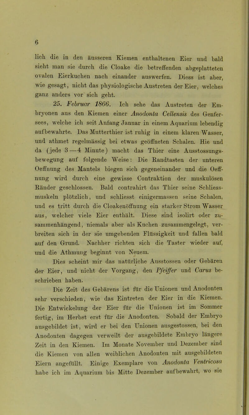 licli die in den ausseren Kiemen entlialtenen Eier und bald sieht man sie durch die Cloake die betreffenden abgeplatteten ovalen Eierkuchen nach einander auswerfen. Diess ist aber, wie gesagt, nicht das pbysiologiscbe Austreten derEier, welches ganz anders vor sich gebt. 25. Feh uar 1866. Icli sehe das Austreten der Em- bryonen ans den Kiemen einer Anodonta Cellensis des Genfer- sees, welche icli seit Aufang Januar in einem Aquarium lebendig auf bewahrte. Das Mutterthier ist rubig in einem klareu Wasser, und athmet regelmassig bei etwas geôffneten Schalen. Hie und da (jede 3—4 Minute) macht das TMer eine Ausstossungs- bewegung auf folgende Weise : Die Eandtasten der unteren OefFuung des Mantels biegen sich gegeneinander und die Oeff- nung wird durch eine gewisse Contraktion der muskulosen Rander geschlossen. Bald contrabirt das Thier seine Schliess- muskeln plotzlicb, und scbliesst einigermassen seine Schalen, und es tritt durch die Cloakenijffnung ein starker Strom Wasser aus, welcher viele Eier enthâlt. Dièse sind isolirt oder zu- samraenhàngend, niemals aber als Kuchen zusammengelegt, ver- breiten sich in der sie umgebenden Fliissigkeit uud fallen bald auf den Grund. Nachher richten sich die Taster wieder auf, und die Athmuug beginnt von Neuem. Dies scheint mir das natilrliche Ausstossen oder Gebareu der Eier, und nicht der Vorgang, den Pfeiffer und Carus be- schrieben haben. Die Zeit des Gebarens ist filr die Unionen und Anodonten sehr verschieden, wie das Eintreten der Eier in die Kiemen. Die Entwickelung der Eier fUr die Unionen ist im Sommer fertig, im Herbst erst fttr die Anodonten. Sobald der Embryo ausgebildet ist, wird er bei den Unionen ausgestossen, bei den Anodonten dagegen verweilt der ausgebildete Embryo langere Zeit in den Kiemen. Im Monate November und Dezember sind die Kiemen von allen weiblichen Anodonten mit ausgebildeten Eiern angeftlllt. Einige Exemplare von Anodonta Ventricosa habe ich im Aquarium bis Mitte Dezember aufbewahrt, wo sie