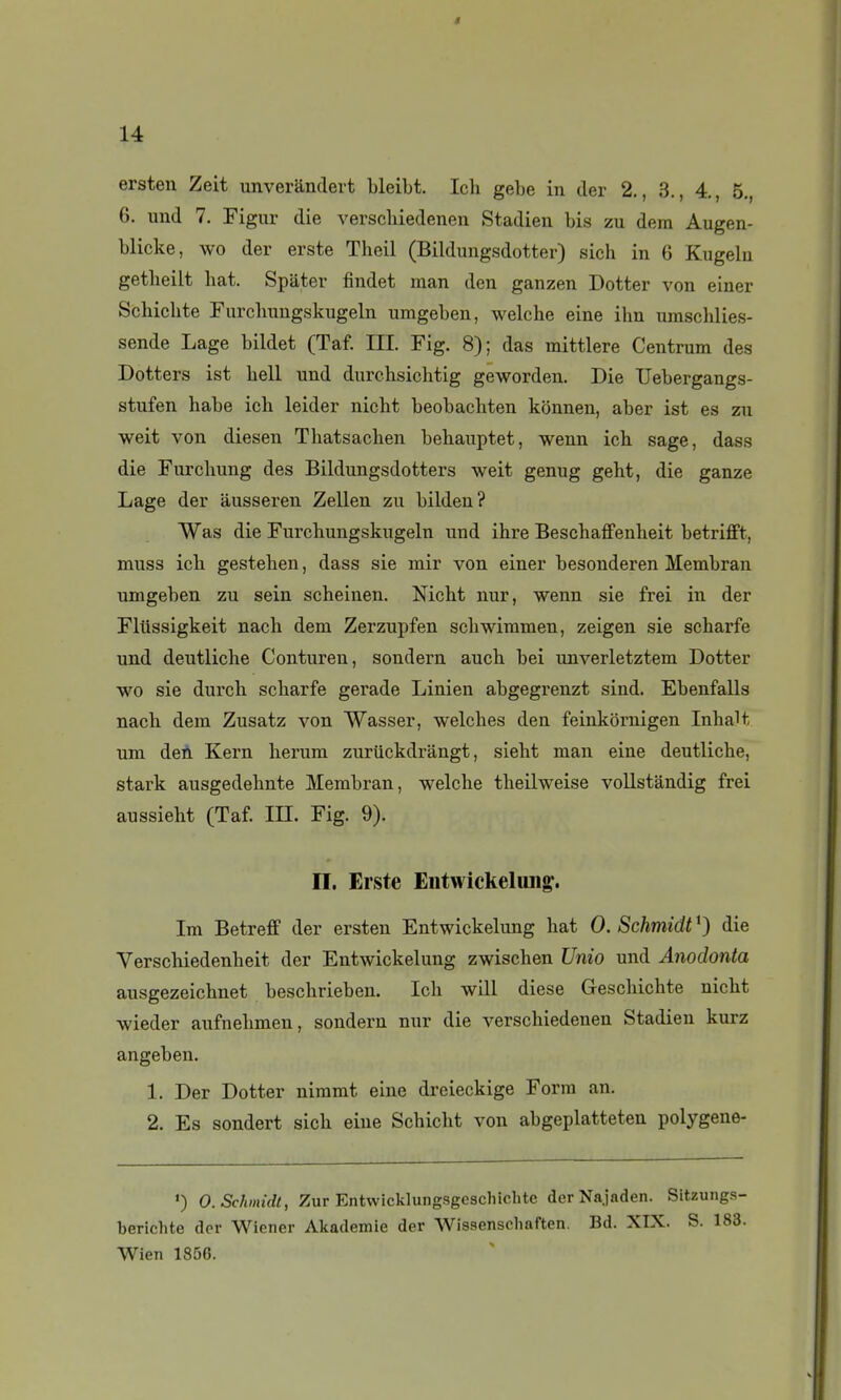 ersten Zeit unverandert bleibt. Icli gebe in der 2., 3., 4., 5. 6. und 7. Figiu- die verscbiedenen Stadien bis zu dem Augen- blicke, wo der erste Theil (Bildungsdotter) sich in 6 Kugelu getheilt hat. Spiitev findet man den ganzen Dotter von einer Schiclite Purchuugskugeln umgeben, welche eine ihn umschlies- sende Lage bildet (Taf. III. Fig. 8); das mittlere Centrum des Dotters ist bell und durcbsicbtig geworden. Die Uebergangs- stufen habe ich leider nicht beobachten konnen, aber ist es zu weit von diesen Thatsachen behauptet, wenn icb sage, dass die Furcliung des Bildungsdotters weit genug geht, die ganze Lage der ausseren Zellen zu bilden? Was die Furchungskugeln und ihre Bescbaffenheit betrifft, muss icb gesteben, dass sie mir von einer besonderen Membran umgeben zu sein scheinen. Nicht nur, wenn sie frei in der Fliissigkeit nach dem Zerzupfen scbwimmen, zeigen sie scharfe und deutliche Conturen, sondern aucb bei imverletztem Dotter wo sie durch scharfe gerade Linien abgegi'enzt sind. Ebenfalls nach dem Zusatz von Wasser, welches den feinkornigen Inhalt um deù Kern herum zuriickdrangt, sieht man eine deutliche, stark ausgedehnte Membran, welche theilweise vollstandig frei aussieht (Taf. in. Fig. 9). II. Erste Entwickelung. Im Betreff der ersten Entwickelung hat O.Schmidt^) die Verschiedenheit der Entwickelung zwischen Unio und Anodonta ausgezeichnet beschrieben. Ich will dièse Geschichte nicht wieder aufnehmen, sondern nur die verscbiedenen Stadien kurz angeben. 1. Der Dotter nimmt eine di-eieckige Form an. 2. Es sondert sich eine Schicht von abgeplatteten polygene- ») O.Schmidt, Zur Entwicklungsgcschichte der Najaden. Sitzungs- berichte der Wiener Akademie der Wissenscliaften. Bd. XIX. S. 183. Wien 1850.