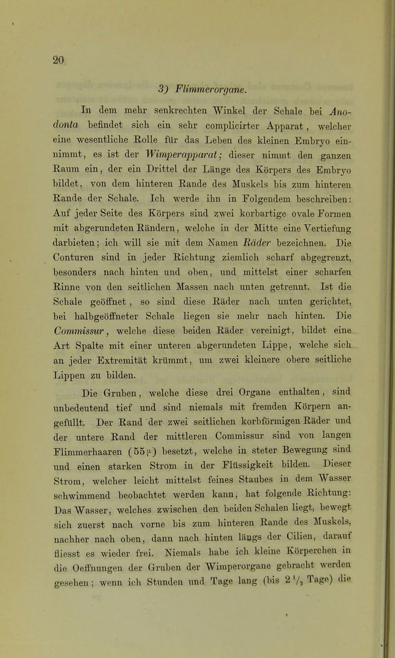 3) Flimmerorgane. In dem mehr senkrechten Winkel der Schale bei Ano- donta befindet sich ein sehr complicirter Apparat, welcher eine wesentliche Rolle ftir das Leben des kleinen Embryo ein- nirarat, es ist der Wimperapparat ; dieser nimmt den ganzen Raum ein, der ein Drittel der Lange des Korpers des Embryo bildet, von dem hinteren Rande des Muskels bis zum binteren Rande der Schale. Ich werde ihn in Folgendem beschreiben : Auf jeder Seite des Korpers sind zwei korbartige ovale Formen mit abgerundeten Rândern, welche in der Mitte eine Vertiefung darbieten; icli will sie mit dem Namen Rcider bezeichnen. Die Conturen sind in jeder Ricbtung ziemlicli scharf abgegrenzt, besonders nacb. hinten und oben, und mittelst einer scbarfen Rinne von den seitlicben Massen nach unten getrennt. Ist die Schale geofFnet , so sind dièse Râder nach unten gerichtet, bei halbgeoffneter Schale liegen sie mehr nach hinten. Die Commissur, welche dièse beiden Rader vereinigt, bildet eine Art Spalte mit einer unteren abgerundeten Lippe, welche sich an jeder Extremitat krllmmt, uni zwei kleinere obère seitliche Lippen zu bilden. Die Grruben, welche dièse drei Organe enthalten, sind unbedeutend tief und sind niemals mit fremden Korpern an- gefullt. Der Rand der zwei seitlichen korbfôrmigen Rader und der untere Rand der mittleren Commissur sind von langen Flimmerhaaren (55f^) besetzt, welche in steter Bewegung sind und einen starken Strom in der Fliissigkeit bilden. Dieser Strom, welcher leicht mittelst feines Staubes in dem Wasser schwimmend beobachtet werden kann, bat folgende Ricbtung: Das Wasser, welches zwischen den beiden Schalen liegt, bewegt sich zuerst nach vorne bis zum hinteren Rande des Muskels, nachher nach oben, dann nach hinten lâugs der Cilien, darauf fliesst es wieder frei. Niemals habe ich kleine Kôrperchen in die OefFnungen der Gruben der Wimperorgane gebracht werden gesehen ; wenn ich Stunden und Tage lang (bis 2 Tage) die