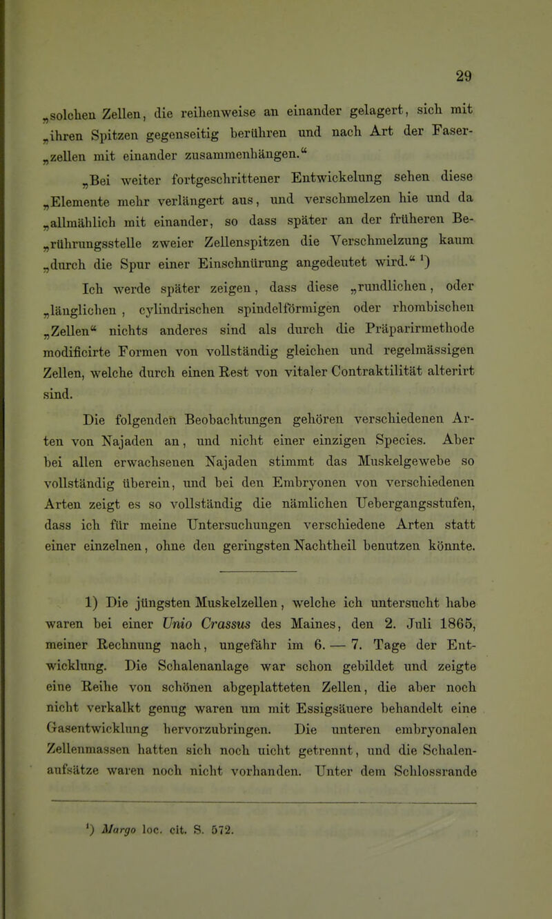 „solchen Zellen, die reiliemveise an einander gelagert, sich mit „ihren Spitzen gegenseitig berUhren und nach Art der Faser- „zellen mit einander zusammenlmngen. „Bei weiter fortgeschrittener Entwickelung sehen dièse „Elemente melir verlangert ans, und verschmelzen hie nnd da „allraahlich mit einander, so dass spater an der frttheren Be- „rUhrungsstelle zweier Zellenspitzen die Verschmelzung kaum „durch die Spur einer Einschnilrung angedeutet wird. 0 Ich werde spater zeigen, dass dièse „rundliclien, oder „lânglichen , cylindrischen spindelfôrmigen oder rhorabischen „Zellen nichts anderes sind als dnrch die Praparirraethode modificirte Formen von vollstàndig gleichen und regelmassigen Zellen, welche durch einen Rest von vitaler Contraktilitât alterirt sind. Die folgenden Beobachtungen geboren verscMedenen Ar- ten von Najaden an, und nicht einer einzigen Species. Aber bei allen erwachsenen Najaden stimmt das Miiskelgewebe so vollstàndig uberein, und bei den Embryonen von verscbiedenen Arten zeigt es so vollstàndig die namlichen Uebergangsstufen, dass ich fUr meine TJntersucliungen verschiedene Arten statt einer einzelnen, ohne den geringsten Naclitlieil benutzen konnte. 1) Die jtingsten Muskelzellen, welche ich untersucht habe waren bei einer Unio Crassus des Maines, den 2. Juli 1865, meiner Rechnung nach, ungefàhr im 6. — 7. Tage der Ent- wicklung. Die Schalenanlage war schon gebildet und zeigte eine Reihe von schonen abgeplatteten Zellen, die aber noch nicht verkalkt genug waren um mit Essigsâuere behandelt eine (TRsentwicklung hervorzubringen. Die unteren embryonalen Zellenmassen hatten sich noch nicht getrennt, und die Schalen- aufsiitze waren noch niclit vorhanden. TJnter dem Schlossrande ') Margo loc. cit. R. 572.