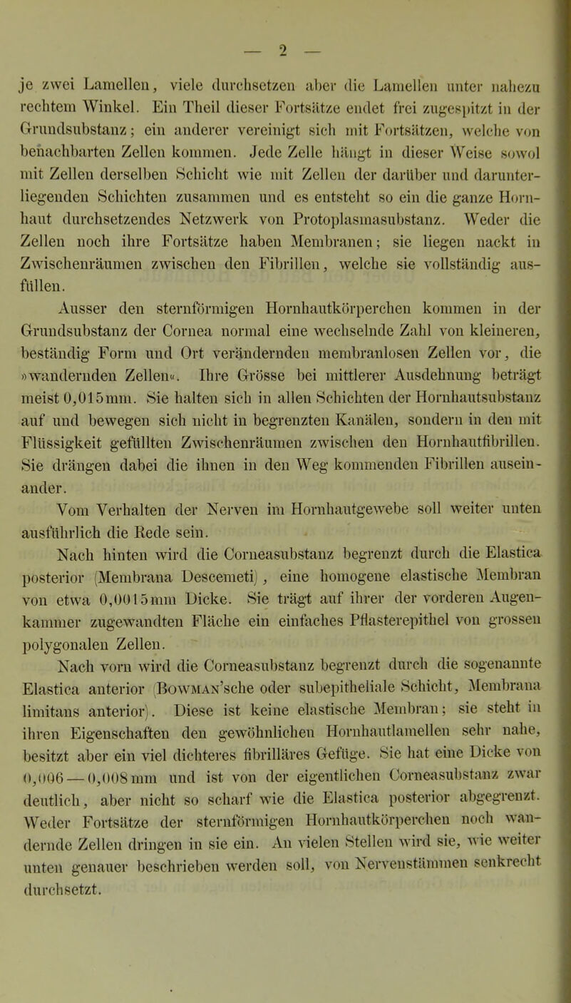 je zwei Lamellen, viele durchsetzen aber die Lamellen unter nahezu rechtem Winkel. Ein Theil dieser Fortsätze endet frei zugesi)itzt in der Grundsubstanz; ein anderer vereinigt sich mit Fortsätzen, welche von benachbarten Zellen konnnen. Jede Zelle hängt in dieser Weise sowol mit Zellen derselben Schicht wie mit Zellen der darüber und darunter- liegenden Schichten zusammen und es entsteht so ein die ganze Horn- haut durchsetzendes Netzwerk von Protoplasmasubstanz. Weder die Zellen noch ihre Fortsätze haben Membranen; sie liegen nackt in Zwischenräumen zwischen den Fibrillen, welche sie vollständig aus- füllen. Ausser den sternförmigen Hornhautkörperchen kommen in der Grundsubstanz der Cornea normal eine wechselnde Zahl von kleineren, beständig Form und Ort verändernden membranlosen Zellen vor, die »wandernden Zellen«. Ihre Grösse bei mittlerer Ausdehnung beträgt meist 0,015mm. Sie halten sich in allen Schichten der Hornhautsubstanz auf und bewegen sich nicht in begrenzten Kanälen, sondern in den mit Flüssigkeit gefttllten Zwischenräumen zwischen den Horuhautfibrillen. Sie drängen dabei die ihnen in den Weg kommenden Fibrillen ausein- ander. Vom Verhalten der Nerven im Hornhautgewebe soll weiter unten ausführlich die Rede sein. Nach hinten wird die Corneasubstauz begrenzt durch die Elastica posterior (Membrana Descemetij, eine homogene elastische Membran von etwa 0,0015mm Dicke. Sie trägt auf ihrer der vorderen Augen- kanmier zugewandten Fläche ein einfaches Pflasterepithel von grossen polygonalen Zellen. Nach vorn wird die Corneasul)Stanz begrenzt durch die sogenannte Elastica anterior (BowMAN'sche oder subepitheliale Schicht, Membrana limitans anterior). Diese ist keine elastische Membran; sie steht in ihren Eigenschaften den gewöhnlichen Hornhautlamellen sehr nahe, besitzt aber ein viel dichteres fibrilläres Gefüge. Sie hat eine Dicke von (1^006_0^008mm und ist von der eigentlichen Corneasubstanz zwar deutlich, aber nicht so scharf wie die Elastica posterior abgegrenzt. Weder Fortsätze der sternförmigen Hornhautkörperchen noch wan- dernde Zellen dringen in sie ein. An vielen Stelleu wird sie, wie weiter unten genauer beschrieben werden soll, von Nervenstännnen senkrecht durchsetzt.