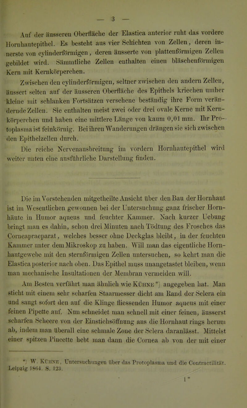 Auf der äusseren Oberfläche der Elastiea anterior ruht das vordere Hornhautepithel. Es besteht aus vier Schichten von Zellen, deren in- nerste von cylindert()rmigen, deren äusserte von plattenfdrmigen Zellen gebildet wird. Säninitliche Zellen enthalten einen bläschenförmigen Kern mit Kernkörperchen. Zwischen den cylinderförmigen, seltner zwischen den andern Zellen, äussert selten auf der äusseren Oberfläche des Epithels kriechen umher kleine mit schlanken Fortsätzen versehene beständig ihre Form verän- dernde Zellen. Sie enthalten meist zwei oder drei ovale Kerne mit Kern- körperchen und haben eine mittlere Länge von kaum 0,01 mm. Ihr Pro- toplasma ist feinkörnig. Bei ihren Wanderungen drängen sie sich zwischen den E}>ithelzellen durch. Die reiche Nervenausbreitung im vordem Hornhautepithel wird weiter unten eine ausführliche Darstellung finden. Die im Vorstehenden mitg-etheilte Ansicht über den Bau der Hornhaut ist im Wesentlichen gewonnen bei der Untersuchung ganz frischer Horn- häute in Humor aqueus und feuchter Kammer. Nach kurzer Uebuug bringt man es dahin, schon drei Minuten nach Tödtung des Frosches das Corneapraeparat, welches besser ohne Deckglas bleibt, in der feuchten Kammer unter dem Mikroskop zu haben. Will mau das eigentliche Horn- hautgewebe mit den sternförmigen Zellen untersuchen, so kehrt man die Elastiea posterior nach oben. Das Epithel muss unangetastet bleiben, wenn man mechanische Insultationen der Membran vermeiden will. Am Besten verfährt man ähnlich wie Kühne*) angegeben hat. Man sticht mit einem sehr scharfen Staarmesser dicht am Rand der Sclera ein und saugt sofort den auf die Klinge fliessenden Humor aqueus mit einer feinen Pipette auf Nun schneidet man schnell mit einer feinen, äusserst scharfen Scheere von der Einstichsöflfhung aus die Horahaut rings herum ab, indem man Uberall eine schmale Zone der Sclera daranlässt. Mittelst einer spitzen Piucette hebt man dann die Cornea ab von der mit einer *, W. KüiiXE, Untcrsuchiingeti über das Protoplasniii und die Contractilitiit. Leipzig iM-l. S. 123. 1*