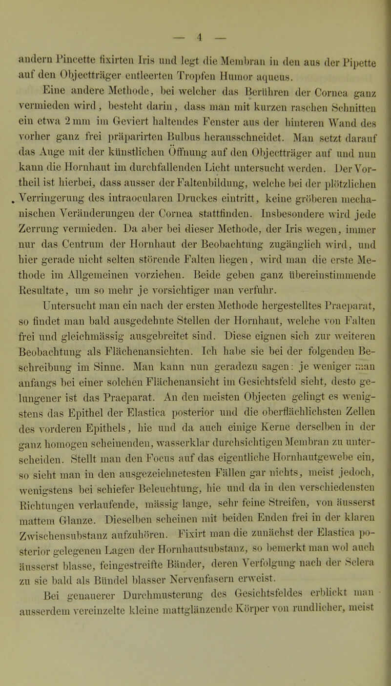andern Pincette fixirten Iris und legt die Membran in den aus der Pipette auf den Objeetträger entleerten Tropfen Humor aqueus. Eine andere Methode, bei welcher das Berühren der Cornea ganz vermieden wird, besteht darin, dass man mit kurzen raschen Schnitten ein etwa 2 mm im Geviert haltendes Fenster aus der hinteren Wand des vorher ganz frei präi)arirten Bulbus herausschneidet. Man setzt darauf das Auge mit der künstlichen Öffnung auf den Objectträger auf und nun kann die Hornhaut im durchfallenden Licht untersucht werden. Der Vor- theil ist hierbei, dass ausser der Faltenbildung, welche bei der plötzlichen , Verringerung des intraocularen Druckes eintritt, keine gröberen mecha- nischen Veränderungen der Cornea stattfinden. Insbesondere wird jede Zerrung vermieden. Da aber bei dieser Methode, der Iris wegen, immer nur das Centrum der Hornhaut der Beobachtung zugänglich wird, und hier gerade nicht selten störende Falten liegen, wird man die erste Me- thode im Allgemeinen vorziehen. Beide geben ganz übereinstimmende Resultate, um so mehr je vorsichtiger man verfuhr. Untersucht man ein nach der ersten Methode hergestelltes Praeparat, so findet man bald ausgedehnte Stellen der Hornhaut, welche von Falten frei und gleichmässig ausgebreitet sind. Diese eignen sich zur weiteren Beobachtung als Flächenansichten. Ich habe sie bei der folgenden Be- schreibung im Sinne. Mau kann mm geradezu sagen: je weniger ir.au anfangs bei einer solchen Flächenansicht im Gesichtsfeld sieht, desto ge- lungener ist das Praeparat. An den meisten Objecten gelingt es wenig- stens das Epithel der Elastica posterior und die oberflächlichsten Zellen des vorderen Epithels, hie und da auch einige Kerne derselben in der ganz homogen scheinenden, wasserklar durchsichtigen Membran zu unter- scheiden. Stellt man den Focus auf das eigentliche Hornhautgewebe ein, so sieht man in den ausgezeichnetesten Fällen gar nichts, meist jedoch, wenigstens bei schiefer Beleuchtung, hie und da in den verschiedensten Richtungen verlaufende, mässig lange, sehr feine Streifen, von äusserst mattem Glänze. Dieselben scheinen mit beiden Enden frei in der klaren Zwischensubstanz aufzuhören. Fixirt man die zunächst der Elastica po- sterior gelegenen Lagen der Hornhautsubstanz, so l)emerkt man wol auch äusserst blasse, feingestreifte Bänder, deren Verfolgung nach der Sclera zu sie bald als Bündel blasser Nervenfasern erweist. Bei genauerer Durchmusterung des Gesichtsfeldes erl)lickt man • ausserdem vereinzelte kleine mattglänzende Körper von rundlicher, meist