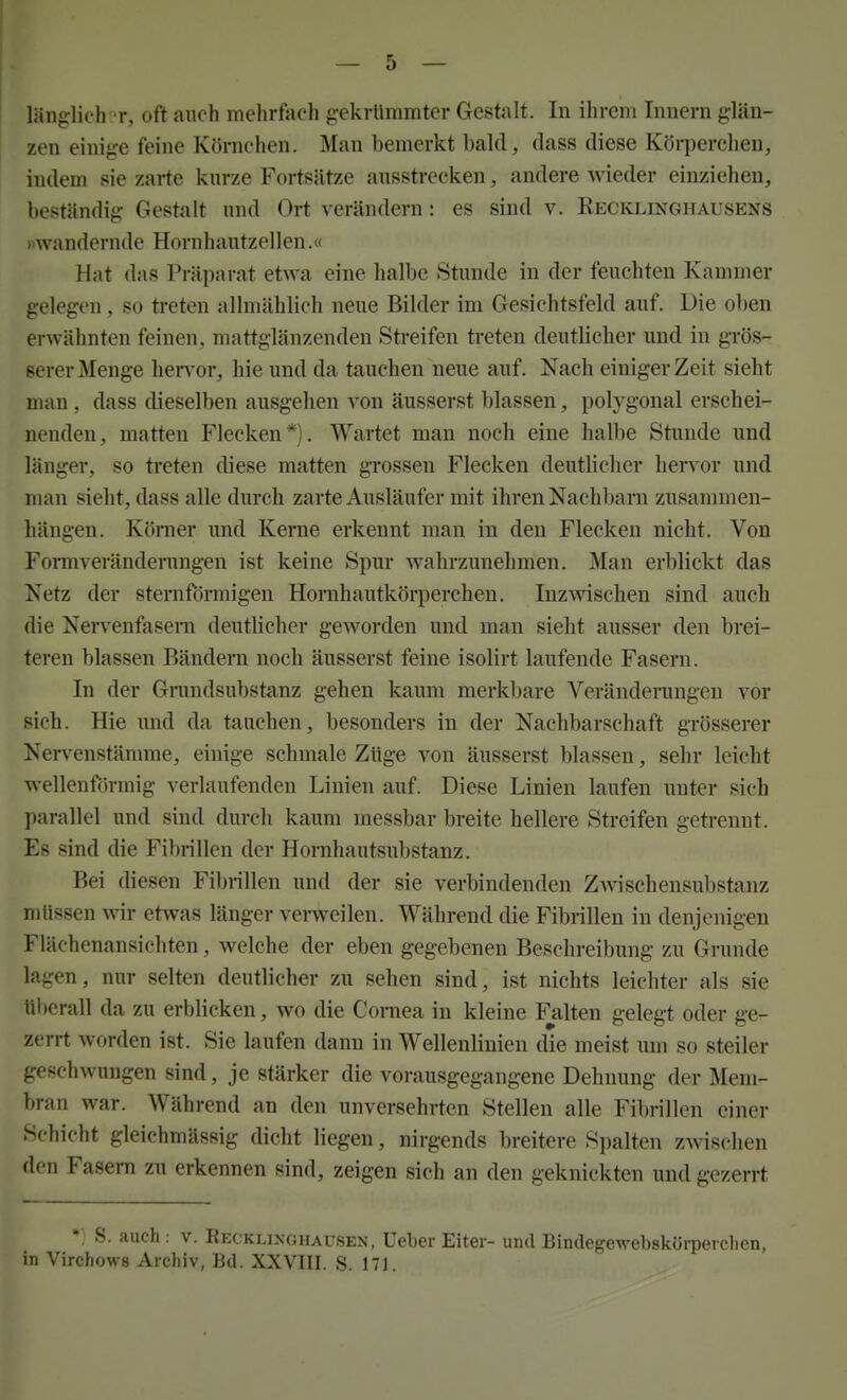 läng:lichr, oft auch mclirfach g-ekrUmmter Gestalt. In ihrem Innern glän- zen einige feine Körnchen. Man bemerkt bald, dass diese Körperclien, indem sie zarte kurze Fortsätze ausstrecken, andere wieder einziehen, beständig Gestalt und Ort verändern: es sind v. Recklinghausens «wandernde Hornhautzellen.« Hat das Präparat etwa eine halbe Stunde in der feuchten Kammer gelegen, so treten allmählich neue Bilder im Gesichtsfeld auf. Die oben erwähnten feinen, mattglänzenden Streifen treten deutlicher und in grös- serer Menge heiTor, hie und da tauchen neue auf. Nach einiger Zeit sieht man , dass dieselben ausgehen von äusserst blassen, polygonal erschei- nenden, matten Flecken*). Wartet man noch eine halbe Stunde und länger, so treten diese matten grossen Flecken deutlicher hervor und man sieht, dass alle durch zarte Ausläufer mit ihren Nachbarn zusammen- hängen. Körner und Kerne erkennt man in den Flecken nicht. Von Formveränderungen ist keine Spur wahrzunehmen. Man erblickt das Netz der sternförmigen Hornhautkörperchen. Inzwischen sind auch die Nervenfasern deutlicher geworden und man sieht ausser den brei- teren blassen Bändern noch äusserst feine isolirt laufende Fasern. In der Gnindsubstanz gehen kaum merkbare Veränderungen vor sich. Hie und da tauchen, besonders in der Nachbarschaft grösserer Nervenstämme, einige schmale Züge von äusserst blassen, sehr leicht wellenförmig verlaufenden Linien auf. Diese Linien laufen unter sich parallel und sind durch kaum messbar breite hellere Streifen geti-ennt. Es sind die Fibrillen der Hornhautsubstanz. Bei diesen Fibrillen und der sie verbindenden ZAvischensubstanz müssen ^vir etwas länger vemeilen. Während die Fibrillen in denjenigen Flächenansichten, welche der eben gegebenen Beschreibung zu Grunde lagen, nur selten deutlicher zu sehen sind, ist nichts leichter als sie überall da zu erblicken, wo die Coniea in kleine Falten gelegt oder ge- zerrt worden ist. Sie laufen dann in Wellenlinien die meist um so steiler geschwungen sind, je stärker die vorausgegangene Dehnung der Mem- bran war. Während an den unversehrten Stellen alle Fibrillen einer Schicht gleichmässig dicht liegen, nirgends breitere Spalten zwischen den Fasern zu erkennen sind, zeigen sich an den geknickten und gezerrt *; S. auch : v. Recklixghausen, Ueber Eiter- und Bindegewebskürpei clicn, in Virchows Archiv, Bd. XXVIII. S. 171.