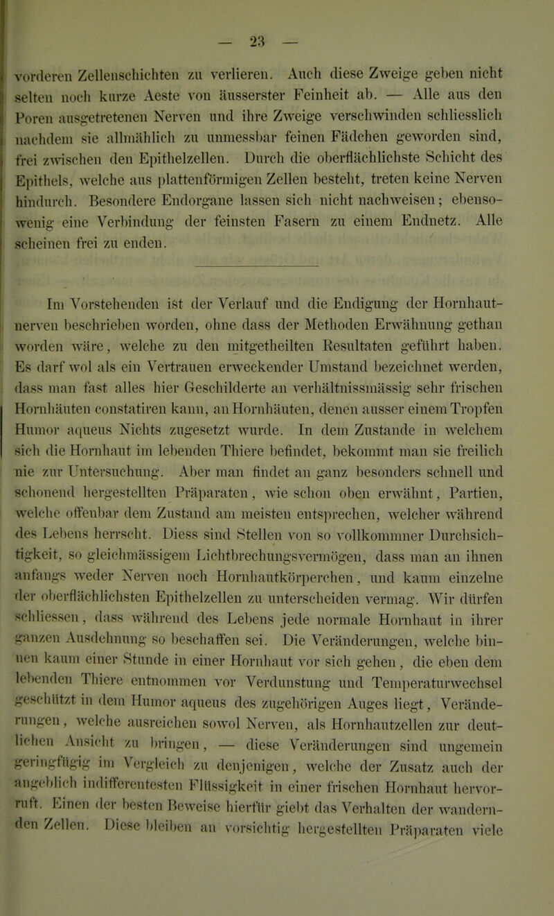 vorderen Zellensehicliten zu verlieren. Auch diese Zweige gehen nicht selten noch kurze Aeste von äusserster Feinheit ab. — Alle aus den Poren ausg:etretenen Nerven und ihre Zweige verschwinden schliesslich nachdem sie allmälilich zu unmessbar feinen Fädchen geworden sind, frei zwischen den Epithelzellen. Durch die oberflächlichste Schicht des Epithels, welche aus plattenförniigen Zellen besteht, treten keine Nerven hindurch. Besondere Endorgane lassen sich nicht nachweisen; ebenso- wenig eine Ver])indung der feinsten Fasern zu einem Endnetz. Alle scheinen frei zu enden. Im Vorstehenden ist der Verlauf und die Endigung der Hornhaut- nerven beschrieben worden, ohne dass der Methoden Erwähnung gethan worden wäre, welche zu den mitgetheilten Resultaten geführt haben. Es darf wol als ein Vertrauen erweckender Umstand bezeichnet werden, dass man fast alles hier Geschilderte an verhältnissmässig sehr frischen Hornhäuten constatiren kann, an Hornhäuten, denen ausser einem Tropfen Humor aqueus Nichts zugesetzt wurde. In dem Zustande in welchem sich die Homhaut im lebenden Thiere befindet, bekommt man sie freilich nie zur Untersuchung. Aber man findet an ganz besonders schnell und schonend hergestellten Präparaten, wie schon oben erwähnt, Partien, welche offenbar dem Zustand am meisten entsprechen, welcher während des Lebens herrscht. Diess sind Stellen von so vollkommner Durchsich- tigkeit, so gleichmässigein Lichtbrechungsvermögen, dass man an ihnen anfangs weder Nerven noch Hornhautkör])erchen, und kaum einzelne rler oberflächlichsten Epithelzellen zu unterscheiden vermag. Wir dürfen schliessen, dass während des Lebens jede normale Hornhaut in ihrer ganzen Ausdehnung so beschaffen sei. Die Veränderungen, welche bin- nen kaum einer Stunde in einer Hornhaut vor sich gehen, die eben dem lel)enden Thiere entnommen vor Verdunstung und Temperaturwechsel geschlitzt in dem Humor aqueus des zugehörigen Auges liegt, Verände- rungen , welche ausreichen sowol Nerven, als Hornhautzellen zur deut- lichen Ansicht zu biingen, — diese Veränderungen sind ungemein geringfügig im Vergleicli zu denjenigen, welche der Zusatz auch der angeblich indiff'erentcsten Flüssigkeit in einer frischen Hornhaut hervor- ruft. Einen der besten Beweise hierfür giebt das Verhalten der wandern- den Zellen. Diese bleiben an vorsichtig hergestellten Präparaten viele