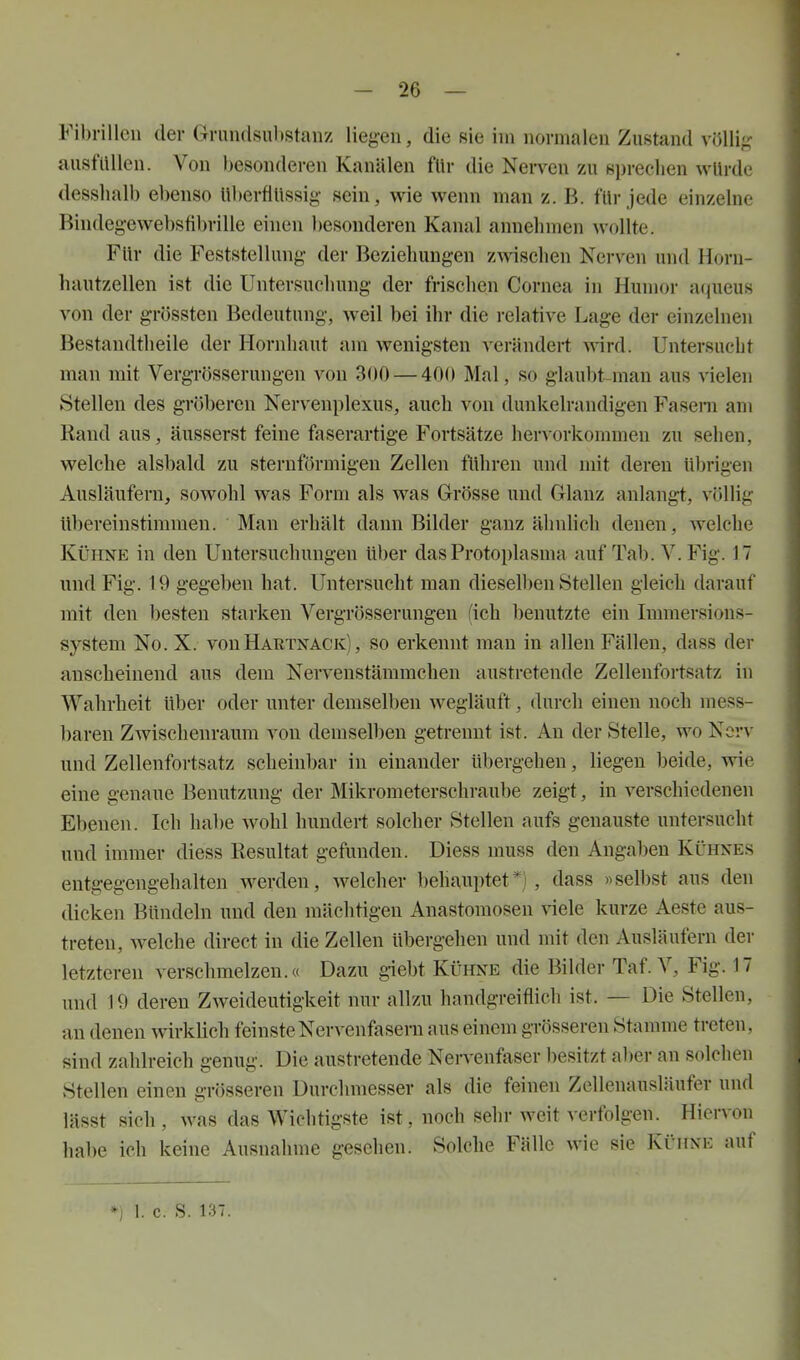 Fibrillen der Grundsubstcanz liegen, die sie im normalen Zustand vöUi- ausfüllen. Von besonderen Kanälen für die Nerven zu spreclien wUrde desshalb ebenso Überflüssig sein, wie wenn man z. B. für jede einzelne Bindeg-ewebsfibrille einen besonderen Kanal annehmen wollte. Für die Feststellung der Beziehungen zwischen Nerven und Horu- hautzellen ist die Untersuchung der frischen Cornea in Humor acjueus von der grössten Bedeutung, weil bei ihr die relative Lage der einzelnen Bestandtheile der Hornhaut am wenigsten verändert ^vird. Untersucht man mit Vergrösserungen von 300 — 400 Mal, so glaubt man aus vielen Stellen des gröberen Nervenplexus, auch von dunkelrandigen Fasern am Rand aus, äusserst feine faserartige Fortsätze hervorkommen zu sehen, welche alsbald zu sternförmigen Zellen führen und mit deren übrigen Ausläufern, sowohl was Form als was Grösse und Glanz anlangt, völlig übereinstimmen. Man erhält dann Bilder ganz ähnlich denen, welche Kühne in den Untersuchungen ühev das Protoplasma auf Tab. V. Fig. 17 und Fig. 19 gegeben hat. Untersucht man dieselben Stellen gleich darauf mit den besten starken Vergrösserungen (ich benutzte ein Immersions- system No. X. von Hartnack) , so erkennt man in allen Fällen, dass der anscheinend aus dem Nervenstämmchen austretende Zellenfortsatz in Wahrheit über oder unter demselben wegläuft, durch einen noch mess- l)aren Zwischenraum von demselben getrennt ist. Au der Stelle, wo Nerv und Zellenfortsatz scheinbar in einander übergehen, liegen beide, wie eine genaue Benutzung der Mikrometerschraube zeigt, in verschiedenen Ebenen. Ich habe wohl hundert solcher Stellen aufs genauste untersucht und immer diess Resultat gefunden. Diess muss den Angaben Kühnes entgegengehalten werden, welcher behauptet*), dass »selbst aus den dicken Bündeln und den mächtigen Anastomosen viele kurze Aeste aus- treten, welche direct in die Zellen übergehen und mit den Ausläufern der letzteren verschmelzen.« Dazu giebt Kühne die Bilder Taf. V, Fig. 17 und 19 deren Zweideutigkeit nur allzu handgreiflich ist. — Die Stellen, an denen wirklich feinste Nervenfasern aus einem grösseren Stamme treten, sind zahlreich genug. Die austretende Nervenfaser besitzt aher an solchen Stellen einen grösseren Durchmesser als die feinen Zellenausläufer und lässt sich, was das Wichtigste ist, noch sehr weit verfolgen. Hiervon habe ich keine Ausnahme gesehen. Solche Fälle wie sie Kühne auf *) 1. c. S. 137.